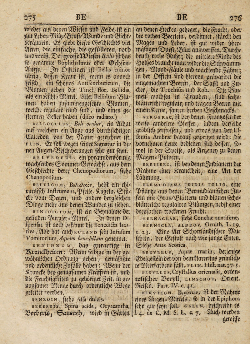 wieber auf Denen <3Biefen unb $elbe, t(l ein gut Sebev'WtihiiSrufcTißunbiunb @id)t# Äräutfcin. @3 giebt biefeö ©efchlechtö Diel Sitten, Die einfache, Die gcfullcten, roti> »riß wei)?. Set gvo|fe IDtefcst Mlil ifl Das fo genannte Buphthalmus ober ©chfen# Singe. 3!n üfftetnen tjl Bellis minor übrig, beffen Äraut ifl', wenn eö annod) fri*d), ein fd)oncö Antifcorburieum, Die Blumen geben Die Tin£t. flor. Beliidis, als ein Äühl# Mittel. Silier Bellidum \ß(u# men ijaben jfuftmmengefe|ie SBlumcn, welche rcgulalr runb fmb, unb einen ge# flernten Seiler haben (difco radiato.) seiloculus, Beli oculus, ein 2ld)at auf welchem ein Singe au? burd)ftd>Hgeu €alceÖon v»n Der ylatm gejeidtnet ifl. p l i n. Sr foll wegen feiner Signatur in De# nen Slugen#55efd)wernngen fehr gut fepn. e e l v e de M K, ein ppramtbenformig toachfenbeö ©ommer#@ewächfe, aus Dem @efd)fechte Derer cheuopodiomm, fiel)e Chenopodium. belulcum, Β?λϊλκ:ΐί, l)ei(l ein cl)t# trurgifcf) inftrument,Pfeile, Äugeln, ©tu# de »tun ©egen, uttb anDere Dergleidjcn ©inge mehr aus DenenlßunDen ju jiel)en. benedictum, t|l ein^et>nal)meDer gelinDen purgier#‘üJiittef. 3n Denen Di- fpenfar. ijl nod) befiWttt Die Benedi&a laxa¬ tiva; Sllfo hat auch rul and fein infufum Vomitorium, Aquam benedictam genennet. B e n 1 g n u m , Das gutartige in Bxamfhetrm: flßenn felbige in Der ge# wohnlichen ÖrDnung gehen, gemaftgte tmb orbentlichegufälle haben: 38cnu Der Äranife bet)- genugfamen lÄtafpen ifl, unb Die 'Aeucbiigfeiten jit gehöriger geit, in ge# »ugfdmer Stenge Durd) orDentlic|e 3Bege geleitet werben. Benzoin, ftehe Ada dulcis. Berberis, Spina acida, Oxyaeantha, Werbet#, €5«tMmci» wirb in (Bälden an Denen Rechen geheget, bie§rud)f, oDer Die rothen ^eerlein, petbtnnet, flätcrt Den Silagen tmD Seber, ift gut wiDer über# mäßigen ©utji, SBiut auöwerffm, ©urdf# brud), rothe Sta|f; Die mittlere SRinbe Des •Do!|eS braud)t mau wiDer Die ©d)wämm# gen, SllunDfjäuleunb wacfienDegähne; in Der Officin fttiD hieroon präpariret Die eingemachten iBeeren, Der ©afft tmD gu# der, Die Trochifci unD Rob. ©ieiBlu# men wad)fen in Ertauben, finD fedyj# blätterid)t regufatr, unD tragen 'Beeren mit einem Äerne, fauren herben ©efd)macf£. b e r g e r a c, ift bei) Denen Sranfeofcn Der wetfe ambrirte ))>feffer, inDetn Derfelbc gröblich jcrflofen, unb etwas pon Der Ei- fentia Ambra: Darauf gcfprtijei wirb: Die pornehmen £eute bebienen fiel) bcjfen, fo# wol in Der ©peife, als Slrbenet) ju Denen Klagen # fPttipern, beriberi, i|l bet) DenenSnDianern Der SRaitme einer Äranct'hcit, eine Slrt Der tahmung. BERMUDIANä JRIDIS FOLIO, titti dlflanhe aus Denen Q3ecmubianifd)en 3n# fein mit @ras#iBlätta-n unD blauen feefs# blättericht regulatren Blutngcn, nebji einer Dreifachen trockenen grucht. bernaclae, fteheConchse anatifera?. bernicla, aldrov, Orrrith. L.19, c. 23. ©ine Slrt ©d)ottfänDifd)er SDlu# fd)dn, Der ©efralt nach junge Unten, ©tel)e Anas Scotica, beryllis, Aqute marin, Derjenige UDelgefleinDeroon Demflareninl grünlich# te Sötcerfarbene fällt, plin. Hift. nat. 37.5·. beryllüS)Cryitallus orientalis, oticit# tah|H)er Beryll, linschot. Orient, fKeifetl. Part. IV. c. 41. EEKYtion, bίξύτιον, »fl Derahme , eine« Singen # Dlittetö, fo in Der Epiphora fcl)r gut fepn foll. gaeen. befebreibt cd 1.4. de c, M. Sl L·. C. 7, Slud) werben gewiffe