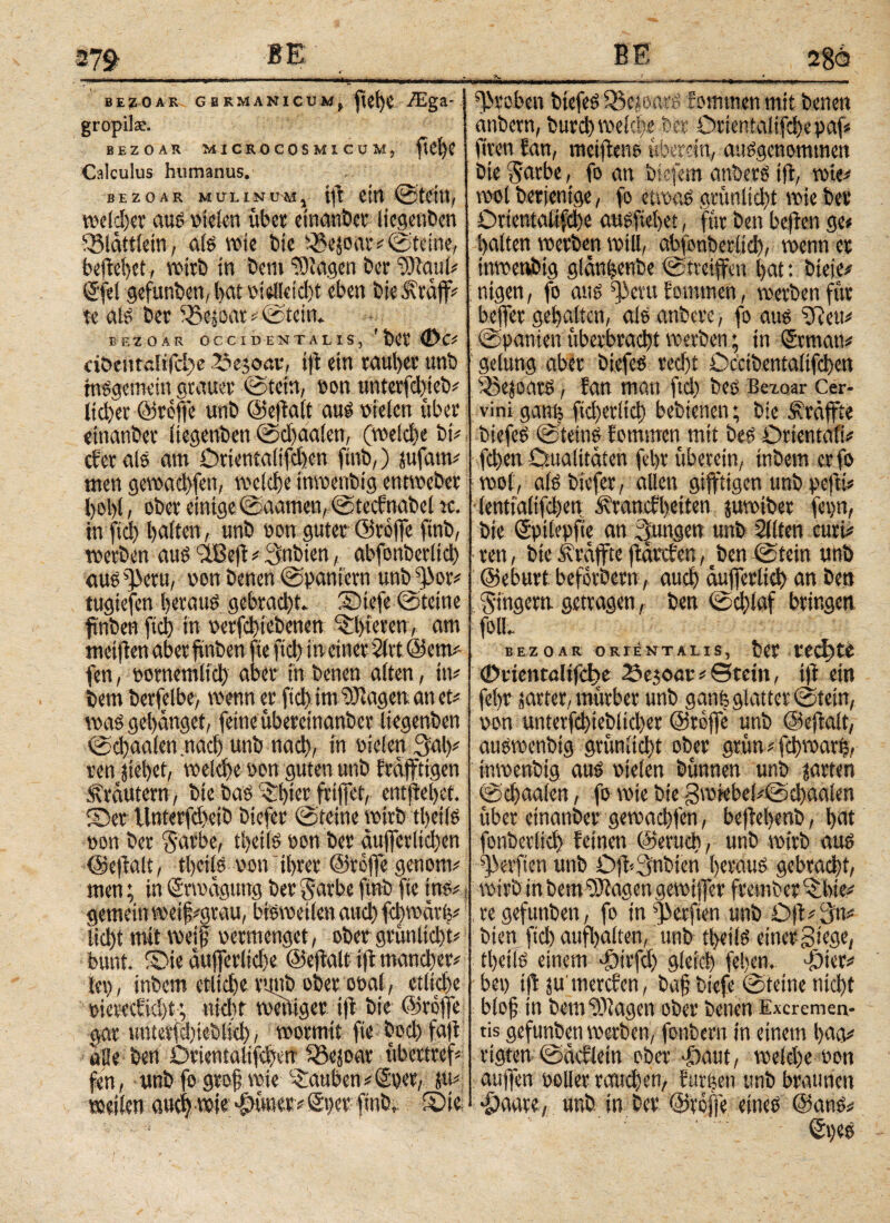BEZOAR GERMANICUM, |tCi)C /Ega- gropila.'. bezoar microcosmicum, ftd)C Calculus humanus. bezoar mulinum, iff dtt ©teilt/ welcher aus sielen übet einander liegenden ^Bldttfcin, als wie tue s-Be5oar#©teine, beffeffet, wirb in bem Ziagen ber 'Diauli ©fei gefunben, bat sielleidff eben bieivräjf# tc als ber SBejbar # ©tein. BEZOAR OCCIDENTALIS, ' bet <DC# döentalifeffe 2?e$oar, iff ein raul>et unb insgemein grauer ©tetn, son itnterfd)ieb# lieber ©reffe unb ©effalt aus sielen über «inanber liegenben ©diaalen, (welche bi# efer als am Drientalifcben finb,) sufarn# men gewaehfen, welche tnwenbig entweber bohl, ober einige ©aamen, ©tecbnabel ic. in fiel) halten, unb sott guter ©reffe finb, werben aus 'ißeff # 3'itbien, abfonberlid) aus ^eru, son benen ©paniern unb ^or# tugtefen heraus gebracht. SMefe ©teitie fmben fleh in serfchiebenen ^bieten, am metffen aber finben fie fiel) in einer 2lvt ©etn# fen, sotnemlich aber in benen alten, in# bem berjelbe> wenn er ftchimDlagenan et* waSgehanget, feine überetnanber liegenben ©chaalen nach unb nach, tu sielen 3al)# ren stehet, weld)e son guten unb fräffttgen Krautern/ bie bas '^hter friffet, entffehet. S)er tlnterfd>eib biefer ©feine wirb tl)eifs son ber ($arbe, thetls son ber aufferlichen ©effalt, thetls son ihrer ©reffe genom# men; in Erwägung ber Satbe finb fie ins#, gemein wetfffgrau, bisweilen auch febwürfe# licht mit weiff sermenget, ober grünlicht# bunt. £>te äufferlid)e ©effalt iff mancher# lei), tnbem etlidjerunb ober osal, etliche siereefid)t; «id)t weniger iff bie ©reffe gar t!tiiecfd)icblteh, wortnit fte boch faff alle ben Örienialifd)vn SBejoar übertreff fen, unb fogroff wie cDmben#©per, w »eilen auch wie Ί>ή«Ρ# Sper finb, Sie groben biefeS iBejioarS f ommen mit benen anbern, burch welche ber Orientaltfchepaff ffren fan, meiffene «herein, ausgenommen bie $arbe, fo an biefem atibers iff, wie·# wol berjenige, fo etwas grünlicht wie ber Drtentaltfche ausftehet, für ben beffen ge* halten werben will, abfonberlid), roenn er itiwenbig glänbenbe ©treiffen hat: bteie# ntgen, fo aus ^evu fommen, werben für beffer gehalten, als atibere, fo aus ?Reu# ©panien überbracht werben; in Srman# gelung aber biefeS recht Occibentalifchen iBe^OarS , fan man ftd) bes Bezoar Cer¬ vini ganfe fid)erltd) bebienen; bie Är äffte biefeS ©tettis fornmen mit bes Orientali# fd>en Dualitäten fehrüberein, tnbem er fo wol, a(S biefer, allen gifftigen unb pefti# (entialifchen Ärancfbeiten juwiber fepn, bie ©pilepfie an jungen unb 2llten curi# ren, bie straffte ffärefen, ben ©tein unb ©ebnet beferbern, auch äufferlid) an ben Ringern getragen, ben ©ebiaf bringen foll. BEZOAR ORIENT ALIS, beP Ι'ίφίί (Deicntaltfcffe öetoor # Btcin, iff ein fei» satter, mürber unb ganfc glatter ©fern, son unterfchtebiicher ©reffe unb ©effalt, auswenbtg grünlicht ober grün # fchwarp, tnwenbig aus sielen bünnen unb jarten ©chaalen, fo wie bte gwiebe!#©chaalen über etnanber gewaehfen, beffehenb, bat fonberlich feinen ©eruch, unb wirb aus Werften unb Off=3nbien heraus gebracht, wirb mbemDfagengewtffer frember^hle# re gefunben, fo in Werften unb Off#3n# bien ftd) aufl)alten, unb tl>eils etnergiege, thetls einem £>irfct) gleich (eben. $ter# bei) iff ju'mercfen, baff biefe ©feine nicht bloff in bem ©lagen ober bctien Excremen¬ tis gefunben werben, fonbern in einem baa# rigten ©äcfletn ober hhatit, tseld)e son auffen soller raud)en, furzen unb braunen £>aare, unb in ber ©reffe eines ©ans# Speo