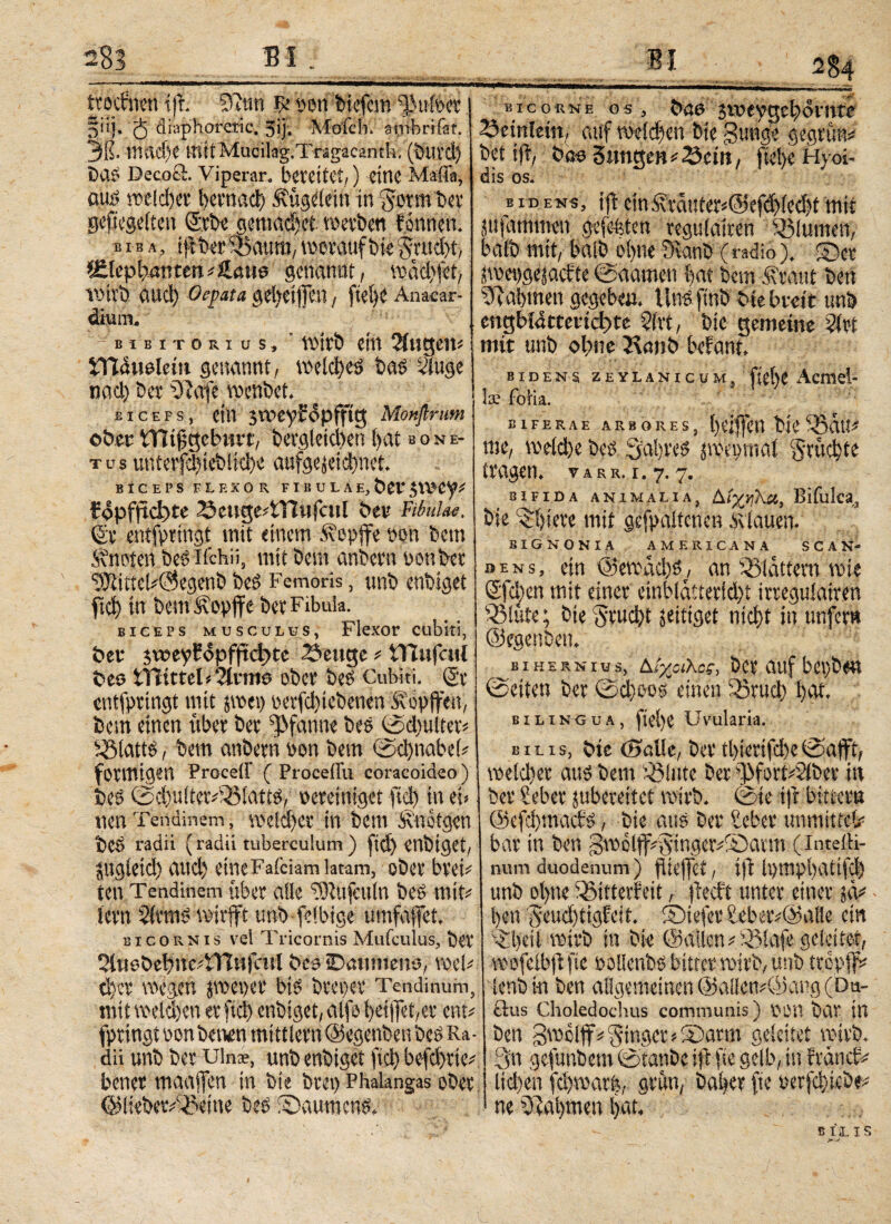 283 Bf . itoefnen iti. 9iim ^ Den tiefem ü)u#er i §nj. 5 tliaphoretic. 3ij. Molch, anxhrifat. jjg. macf)e mHMucilag.Tragacanth; (m$ Da$ DecoS. Viperar, bereitet,) eine Mafia, eto meld)er fyemacl) Äügelein in gotm&er geflegelten ©rbe gemacht werben f onnen* b ib a, SBaum, meraufbte ^$xu$)t, äMeplimiten * iam genannt, machet, vom ααφ Oepata geteilten , ftelje Anacar- dkm, ' - bibitori u sj ’ t\>itö ein ^ugeit* iTi:4uelem genannt, \x>eict>e^ Das $uge nad) Der iuife menbet. biceps, ein $tneyf<5pfftg Monftrum ober* tTii^geburt, Dergleichen i>at bone- tus uuterpieDlid)e aufgejeid)net BICEPS FLEXOR FIBULAE, DCV* $11^^ fopfftebte Seuge'tUufcuI Per Fibulae. Sv entfprtngt mit einem Svepffe vum bem kneten bebifchii, mit Dem anbern von bet ^JiitieKSegenb beb Femoris, unb enbiget ftd) in bem Sbopffe ber Fibula. biceps musculus, Flexor cubiti, Per jweyCopfjtcbtc 25euge * tTIufcttt Pes SHittel < Qirme ober beb Cubiti, ©· entfprtngt mit pep perfd)iebenen &opjfeu, bem einen über ber Pfanne beb ©dtulter* Q3lattb, bem anbern non bem ©dpiabel· förmigen ProceiF ( Proceiru coracoideo) beb ©d)uiteivQ3!attb, vereiniget fiel) tn et» nen Tendinem, tt>elcf>ct’ in bem Änotgen beb radii (radii tuberculum ) fid) enbiget, jugieid) and) etneFafciam latam, ober brel· ten Tendinem über alle ?)tuf:uln beb mit# fern 2Wtnb rnirfft unbfclbige umfajfet. bicornis vel Tricornis Mufculus, bei' OiitePefmcATUtfcuI Pes IDatmieno, roeU d)er wegen peper bib breper Tendinum, mit voeld)cn er ftd) enbiget, alfo f>eiflet,er ent* fpringt vonbetvn mittlern ©egenben beb Ra¬ dii unb ber uin®, unb enbiget fid) befd)rte* bener maajfen in bie brep Phalangas ober ©{überfeine beb ©aurnenb. Bi 284 bicorne os , Poe 3iveygcl)0uxre Seinlein, auf melden bte gungp gegrünt bet sfr, Poe StmgeR*ISem, fie!)e Hyoi- dis os. bidens, tfbein.i\vmtteri@efd)(ed)tmit pt farmneu gefegten regufdtren QMurnen, bafb mit, balb ol)tte f)ianb (radio). ©er pepgejaefte ©aamen l)at bem .Staut ben Rahmen gegeben. linbftnb Pie breit unb cngbhkteridytc 2irt, bie gemeine Sir-t mit unb ofme 2\onP befant. BIDENS ZEYLANICUM. ftet>C Acmel- k foiia. BIFERAE ARBORES, fyeiflett DlC ^3CUf* me, me(d)e beb Saljreb jtpjepmaf gtücfte tragen, varr. i. 7.7. BIFIDA ANIMALIA, Blfulc^ Die ^l)iere mit gehaltenen flauem EIGNONXA AMERICANA SCAN- dens, ein @eroad)bc, an QMatfem wie Sgfd)en mit einer einblatierid)t irreguiairen QMute; bie grud)t jeitiget ntd)t in unfern ©egenben. BIHERNIUS, Δίχαλοζ, bei auf bepbeu ©eiten ber ©d)oob einen Q5rud) i)Ot. bilingua, ftef)e Uvularia. eilis, Pie (Bolle, bet tl)iertfd)e ©afft, voe!d)er aub bem QMute ber sJ>fort^2iber in ber Seber jubereitet wirb, ©ie tft bittere @efd)utacfb, bie aub ber Seber uti mittel· bar in ben gmolff^inger^Sarm (imeiH- num duodenum ) diejfet, i|t Ipmpbatif;!) unb o(>ne Q?itterf'eit, fieeft unter einer w l>en '5eud)ttgEeit. ©iefer £ebeiv@afle ein ^l)eti mirb in bie ©allen * Q31afe geleitet, roefelbft fie »oilenbb bitter wirb, unb tropft ienbtn ben allgemeinen @al!em©ang(Du- öus Choledochus communis) Vü!t bar in ben gvoölffi‘ginger»©arm geleitet wirb. 3n gefunbem ©taube ift fie gelb, in fraticf# lid)en fdjmatfe, grün, baber fie perf^icb^ ne Q3ai)men ifat. B TL X S