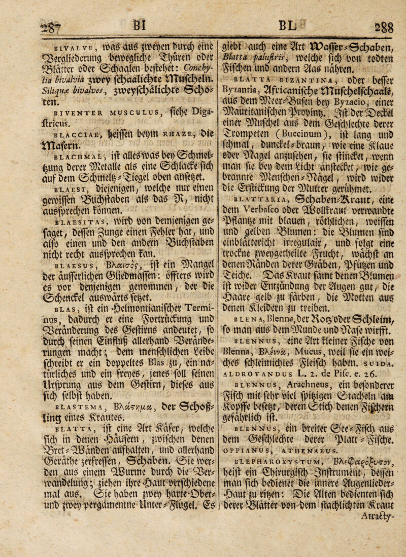 ■■Vi··». BivALve, was aus pepen burd) eine Q5ergliebcumg bewegliche S?:t>uvert ober f&tcttter ober ©thaalett befielet: Conchy¬ lia bivalviä $wey jH)ßßl»cbte tlTufcheln. Siliqua bivalves, 3Weyfd)ßUcl)te Θφθ# tcn. biventer musculus, Diga- ilricus. blacciae, leiflen beytn rhaze, t>ie tTlßfem. blachmal, ijt allesroaöbet)©chmel# (jung berev Metalle als eine @d)lacfe ftd) auf bem ©djmeti?# Riegel oben anfefeet. blaesi, btejentgen, voetdje nur einen gewtffen ^udjltaben als bas 9Ϊ, nid)t öU5fpred)en tonnen. blaesitas, wirb pon bemjenigen ge# fdget, befien gütige einen fehler bat, unb alifo einen unb ben anbern iöud)ftaben nicht reci)t augfpredicn fatt. BLAESUS, Βλα/σΟΓί i|t ein Mangel ber auflerlictjen ©licbmaffen: öfters wirb es por benjenigen genommen, ber bie ©chencfet auswärts fcöet. blas, ift ein £eltnomianifd)cr Termi¬ nus, baburd) er eine ‘gortruefung unb fSeranberung bes @e|tiws anbeutet , fo bureb feinen ©nftuf allerbanb iSeränbe» tungen mad)t; bem menfd)ltd)en Serbe fd)veibt er ein boppelteS Blas ju, ein na# iutlid)eS unb ein frcpeS, jettet foll feinen Urfprung aus bem ©eftirn, biefeS aus ftcf> felb'jt haben. blastema, BΧάςημΆ, ber Qcl)Ofj# fing eines .Krautes. blatta, i)t dne 2(rt .‘Safer, we(d)e ftd) in benen Raufern, ptfeben betten Sßret # ^Banben aufbaften, unb allerbanb ©ercithe jetfrefen, Schaben, ©iewer# ben aus einem ilBurme burd) bie ci8er# tpanbelung; sieben ihre ^aut petfd)iebene mal aus. ©te haben pep harte-Ober# unb pep pergamentne Unter #givtge{, <£s i. i· inilOi· ii - giebt auch dne 5(rt VDaffec* θφαί'εη, Blatta paluftris, tPC[d)C ftd) POtt tobten Sifdjen unb anbern 2las nähren. BLATTA BIZ AN TINA, Ol>Ct Byzantia, ?lfrtcantfcf)e tUufct)clfcl)aale, aus bem^ceetviSufen bei) Byzacio, einer r))iaurttanifd)en φνορίηρ. 3)1 ber ©edel einer 9)iufd)e( aus bem ©efcblecbte berer «trompeten (Buccinum), ift lang unb fcbmal, bunefei # braun, wie eine Klaue ober waget anjufehen, fte findet, wenn man fte bei) bem Std)t anfeefet, wie ge# brannte t0»enfd)en # ?Ragei, wirb wiber bie vSrfictung ber $)lutter gevtibmet. blattaria, ScitabemÄrant, eine bem Verbafco ober ^BollEraut perwanbte ^fanpemit blauen, rotblidjen, weifen unb gelben iSlumen: bie Blumen ftnb einblättericht trcegulair, unb folgt eine troefne pepgetheilte grud)t, voacbfi an benen Oiänben berer ©raben, f>fu|en unb Reiche. ©as Kraut fatnt benen SSlttmeu ijt wiber ©ntfunbung ber Slugen gut, bie gjaate gelb ju färben, bie Lotten aus benen Kleibern ju treiben. blena, Blenna,ber 5\ot3'ober ©φΐείηΐ, fo man aus bemidlunbe unb Olafe tPitfft. blennus, eine $!rt Heiner gifebe pon Blenna, Βλήτά, Mucus, weil fte etil Wei# d)eS fdileimichteS gieifd) haben, suida. aldrovandus L. 2. de Pifc. e. 26. blennus, Arachneus, ein befonberer gtfei) mit fehr Ptel fpiptgen ©tad)eln am Äopffe befefet, beren@tich benen §tfd)ern gefährlich tft. blennus, ein breiter ©ee#§tfd) aus bem @efd)ied)te berer QMatt # Sifche. OPPIANUS, ATHENAEUS. ELEFHA rox ys tum, B λιφαξο^υ^ον, heilt ein ©nrutgtfd) 3n)trument, beffen man ftch bebienet bie innere Slugenlieber# >Öaut ju rifeen: Sie eilten bebienten ftd) berer Blatter pon bem jtachlichten .traut Atrafty-