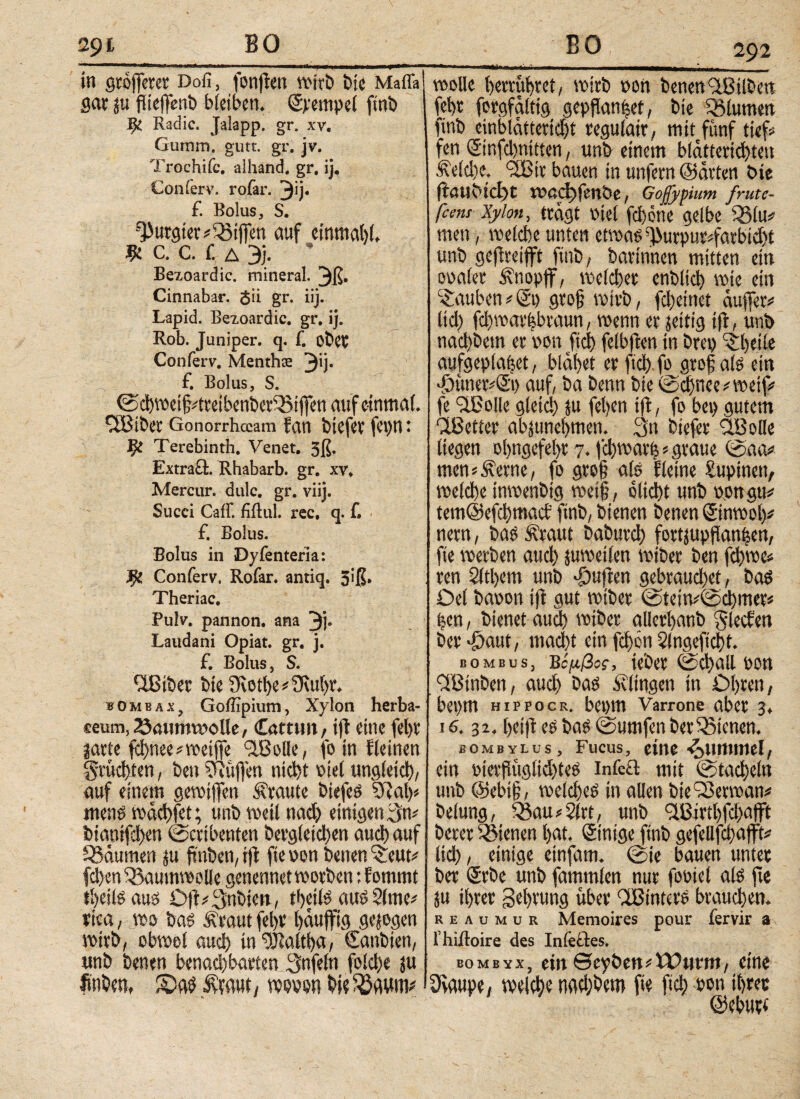 in grojferet Dofi, fonflen wirb bie Mafia gar ju flteffenb bleiben. Spempel ftnb ^ Radic. Jalapp. gr. xv. Gumm. gutt. gr. jv. Trochifc. alhahd. gr. ij. Conferv. rofar. 3U* £ Bolus, S. purgier Riffen cmf etnmahl. # c. c. r. δ 3j. * Bezoardic. mineral. 3ß. Cinnabar. $ii gr. iij. Lapid. Bezoardic. gr, ij. Rob. Juniper. q. f. otKK Conferv. Menthae 3Ü* f. Bolus, S. @d)wet§^etbent)et®ij]en auf einmal. CöJibet Gonorrhceam fan t>tCfCV fCt)H t Terebinth. Venet. 5ß· Extraä. Rhabarb. gr. xv, Mercur. dulc. gr. viij. Succi Caff. fiftul rec, q. f. f. Bolus. Bolus in Dyfenteria: Conferv. Rofar. antiq. 5·β· Theriac. Pulv. pannon. ana 3j. Laudani Opiat, gr. j. f. Bolus, S. tue 3vetf)e*9\u()C bombax, Goiiipium, Xylon herba¬ ceum, Söimwolie, £amm, ifjt eine fel>v tam fd)nee* weifte (2JBotIe, fo in fleinen gtüdjien, ben Stuften ηίφί oie( ungieid), auf einem gewiften Staute biefe^ 3Rat>^ men$wdd)fet; unb mit ηαφ einigen 3m btamfd)en ©cribenten Dergleichen and) auf Idumen ju ftnben, tfl fie v>on benen ^etm fc!>en ^Baumwolle genennetwothen: fommt tfyeiteaus Djt^Sntuen, ifyeite aus 2(me* xka, wo 6αβ Äraut fet)V fydujfig gezogen wirft, cbwel aud) in Caltha/ €anbien, unb benen benachbarten 3nfefn fold)e ju finbent SM $mt/ »ww bi? ·* 292 wolle herruhret, wirb »on benen'ÜBtlben fel>r forgfälttg gepflan|ef, bie Sölumett ftnb einblätteridjt rcgulatr, mit fünf tief# fen @nfcl)nitten, unb einem biätterid)teu ■Welche. (2Bir bauen in unfern ©arten bie |iaubicf)t wedjfmöe, Goßypium frutc- feem Xylon, trägt viel fchone gelbe 33lu# men, welche unten etwas dHivpurifatbtd)t unb geflreifft ftnb, barinnen mitten ein ooalcr Änopff, welcher enblich wie ein taubengroß wirb, fdjeinct äuffer* lid) fchwarfjbraun, wenn er jeitig tfl, unb nacl)bem er non fiel) felbftcn in bret) ^Ijeile aufgeplahet, blähet er ftch fo grof als ein döunepS'i) auf, ba benn bie@^nee#wet^ fe SlBolle gletd) $u fehen ifl, fo bei) gutem “IBetter abjunehmen. 3tt biefer 3.8 olle liegen ohngefehr 7. fchwarh * graue @aa* men sperne, fo geefj alo f leine Lupinen, welche inwenbtg weif, blicht unb oon gu# tem@efchmacf ftnb, bienen benen ©nwolp nern, bas Äraut baburd) fortjupflan^cn, fte werben auch juwetlen wiber ben fchwe* ren Zithern unb duften gebraud)et, bas Del baoon i(l gut wiber 0tetw0d)meei hen, bienet aud) wiber allerhanb Riechen ber^aut, macht ein fchpn 2lngefict)f. bombus, Βίμβος, «bet 0d)all Dött 3Bmben, auch bas ävfingen in Ohren, beprn HippocR. bepm Varrone aber 3, 16.32, i>eifl es bas 0umfen beratenen. BOMBYLUS, FUCUS, fttte ^>»»»11161, ein oierpiiglid)tes infcft mit (Stacheln unb @ebt§, welches in allen bieiSerwan# belung, Q3au#2irt, unb 9lBirthfd)afft berer dienen hat. Stntge ftnb gefellfcliatft# lid), einige einfam. 0te bauen unter ber ®rbe unb fammlen nur fobtcl als fte ju ihrer gehvung vther Clßintcvs brauchen. r e λ u m u r Memoires pour fervir a l’hiiloire des Intecles. bombyx, ein ©eyöen*Wtirtw, eine Üvdupe, welche twhbero fte ftch non ·{>Γ« ©eburc