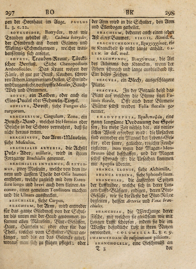 297 pen bet '£)otui)aut im Sfuge» paulus L. 5· botryoide?, Botrydcs, Wab Wie Trauben gebildet ift. Cadmia botrydes, bet Dfenbrucl) auf Denen ©almep unb Dftefitng* ©d)ttieibcrct)en, weiefet trau# benfomtig ftd) anfe|et. botrys, CvaubetnKmut, OrcEu fd)eu iöeyfuf, @iel>e Chenopodium Ambrofioides. f£)ab ÄtaUt roct)L’Ct bet’ Sdufe t i|t gut jur Äuji, Äetufien, fd)we* ren Dltbem/langwierigen^ufien, ©djwihb* unbEungenfucIjbWtliopjfteMenfes^aud)# '2.8ei) unb ©mumen. botus, ein Ztelbcn, ober aud) ein (Eteo^Pucrel ober ©cl)tneit$i£tec$el'. BovisTA, Zdouift, ftelje Fungus chi¬ rurgorum. Der 2itm wirb in bte ©dfultet, ben Slttm unb Ellenbogen getbeifet. b r a c hi u μ·,, bebeuict aud)' einen jeben 2tfi etneb iSaumeb. virgil. ZEneid. 6«. B R Ä.C H Y CH KON IÜ S rBztt%V%%CViCg, t\$ , ne ^tanefbeit fb nid)t lange anl)dlt. g a~ l e N-. in def. med. eracrtemoe,. Βυαχύτινίία, bte 2it£ bes ?(d)menö bet) Ävanetm, wenn bet 2iti)em fd)reaci) unb lange, außbieibenb ifr.. @n bofed getdjem. bractea,, ein ZMccf), aubgcfdflagene; Dpiatte. «a c t e a„ bet 55otantc feift bas $3iatt: auf welchem bie SBtume fteet Fo- Hunv florale, £)fft aud) betet iBiumeti* 33idtiet felbfl wetben, Folk floralia ge# nennet eräcberium, Cingulum., Zona, ein 23ι*οφ*23βηΟ, weldfeb bie Hernias ober S5md>e in bet ©cfoob »erwartet, baj? fte nidjt beccus treten,. BKA CHIAEUS 5 öaß 2lvm^XTiämUinif fiei>e Mufculuse- BRACHIALIS Ä R T E R I Ä r &IC 2ίφ|Η Pule t 2lÖefcy axillaris 5: VDltb 111 ίίρπΐ Fortgänge Brachialis gcnenuet* BRACHIALIS INTERNUS, & E.YTER- Nus, pep DJlufeuin, weld)ewen bem te netn unb duffem 'dd)ciie beb offis humeri entfielen, weldfe sugleid) mit bem Exten- fore longo unb brevi aud) bem fleinen All conaeo, einen gemeinen Tendinem mad)en unb bte oinam auöfftecfen, BRACHIALE,. ftCltC CärpilS,. f« r a c »ru m> bet 2irm, wirb enPeber fut bab ganfee ©liebmafj non bet ©cfut ter. bib unten, mit bet pawl· genommen/ p famtnt allen DMubfetn, iSiut^eftffen, «&aut> «ödutießt; tc, obet aber fte bab %f);eil7, wefefeeb nom ©cfultetiSBiöttan# fanget,- unb bib an bab ©eienefe gebet, worauf man fiel), p fhi|en. pflegetobev i b r a d y p e p s i a , Βξα8υ7Τίψίαeine gälte iöttgfatnc PeiDamntg Den θρφ fett, bte triebt Seit tietl)ig bat, alb nahte iid)et <28eife. etfotbett wirb ·- bieUrfadjen ftub eniwebet ein ‘DJlangei bet- £ebeBbi@ek . ftet, ober faute, galiid)ie, to|id)te§eud)^ tigfeiten , item wenn bab DJlagen « Men- ftruum übel befdfaffen, unb bet DJiagen: felbff fdtwad) ijlt blt Vltfadfea fommew mit: Apepfia fibeteiffi branca eeonis, ftebe Ä!chimilla„ branca ursina, f t e l) C S p h ο n dy 1 i um branchiae,, bte duffetfen ©pifeett; bet: fuffiröbte1, welcffe ftd); in betet £un* gettitefteBläfgen, enbigen, beten^iut^ ©efdffe,. wie fte bieDicfte bet 33(utasDwi)te begleiten,, beifjen Arteria unb bran- chiaks.. B R AN CH I A E ,· 010: <2£^C^US^. gtfd)e:, mit welcben fte. gletdffdm: wie mit öingen: Sufft fd):opfen, tnbem fte bie imi (2ßafet. befiubltcfe fuft in iften. 5fiu|ent netwenben,. c o l u m: e. e. l a e„ 8· <s 9.. sw.amsm erd.am; dfe Fefeisatiene piieium », BRANGaocELE,, ntoe; @efcb,wuifl ottt z 3; ■ · ■ ΪΚ