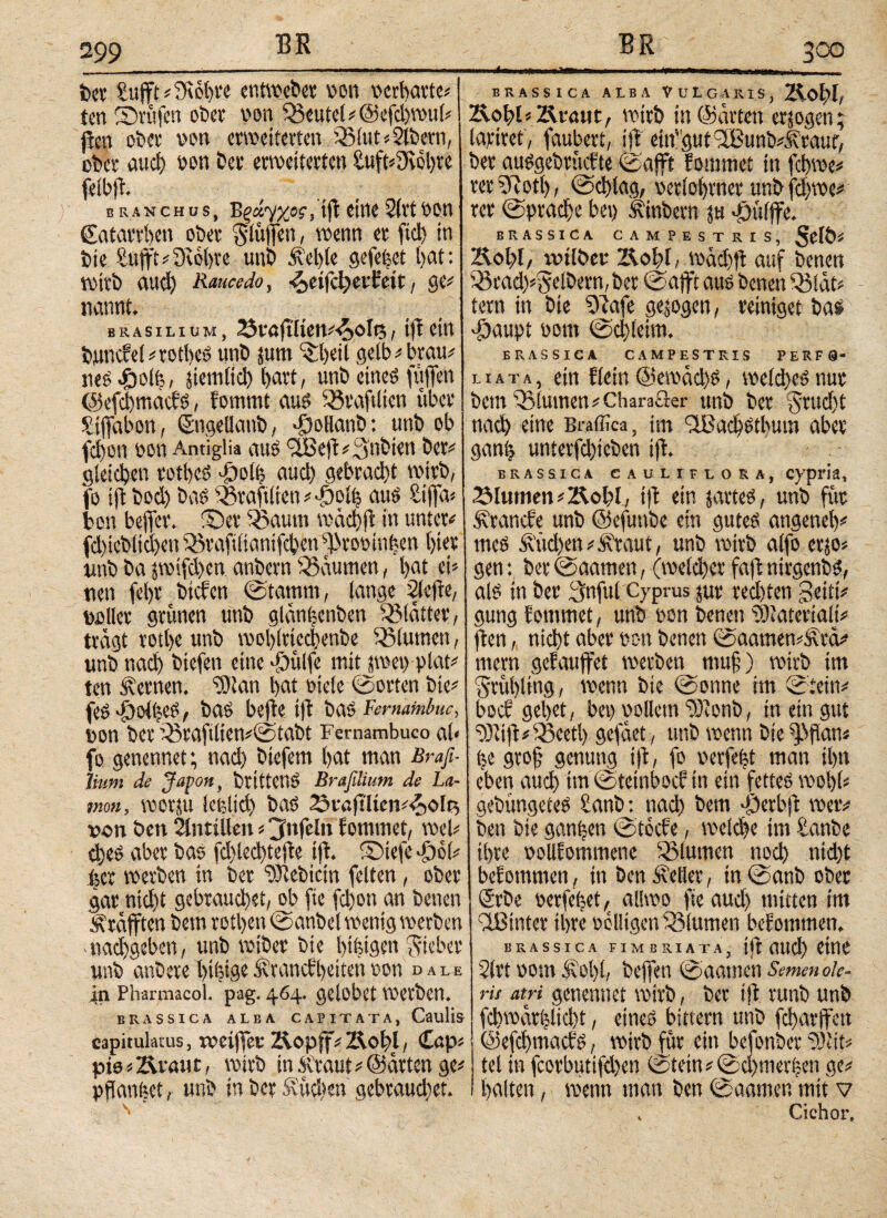 299 ber Stift* Dichte entweber von verhärte* ten ©rufen ober von deutet#@efd?w>u(? jxen ober von erweiterten 33lut*2iöern, ober aud) von ber erweiterten Suft*9\ol)te felbf. branchus, Egciyxof, ifl eine 2(rt von (Eatarrhen ober Stufen, wenn er fiel) in bte Euft* Dichte unb Seife gefefeet l>at: wirb aud) Raucedo, cfywhit / ge* nannt. brasilium, 3vafiiien^oIt5, iflein buncfel*tothes unb |um ©hdl gelb* brau* neS >f)olt5, jiemitd) hart, unb eines fufen @efd)rr.acfs, fommt aus iötaftlien über Siffabon, Sngellaitb, fooflanb: unb ob fd)en von Antigüa aus 9iBef *3nbien ber* gleichen rothes fdoli; aud) gebracht wirb, fo ift bod) bas E&taftitcti*F)oi(j aus Sifa* ben befer, ©er 35autn rnächf in unter* fd)ieblici)en 35raft(ianifcben ^rovinfeen hi« unb ba jwifd)en anbern Q3aumen, bat ei* neu fel)t biefen ©tamm, lange 2lefe, voller grünen unb glan^enben glatter, tragt rotl>e unb wolfttccbenbe Blumen, unb ηαφ biefen eine fdülfe mit pep plat* ten fernen. EDlan bat viele ©orten bte* feS>£)oiheS/ bas befle tf bas FernMuc, von ber ’23raftlien*©tabt Fernambuco ab fo genennet; nad) biefem bat man Braß- Jium de Japan, btittenS Brafilium de La- mon, wotju lefelid) baS 23vaflien*<0olty von ben Antillen * jinfelri fommet, wel* ebes aber bas fd)led)tef e tf. ©iefe -öc(* her werben in ber ‘DJiebictn feiten, ober gar nid)t gebrauchet, ob fic fchon an benen Graften bem rothen ©anbei wenig werben nachgeben, unb wiber bte Ifkigen Sieber unb anbere btfetgeÄtancfheitenvon dale ln Pharmacol. pag. 464. gelobet werben. BRASSICA ALBA CAPITATA, CaUÜS capitulatus, weifet-' Kopff* Kohl, Cap* pis* Kraut, wirb in Äraut* ©arten ge* pfianiKt, unb in ber &'üd)«n gebrauchet. 300 ^BRASSICA ALBA VULGARIS, Kof)l, Kohl* Kraut/ wirb in ©arten erlogen; lapiret, faubert, iit eifgut^Bunb^rauf, ber ausgebrüefte ©aft fommet in fchwe* rerSRotl), ©d)lag, verlohnet unb fd)we* rer ©prache bei) Ütnbetn |u >öü!ffe. BRASSICA CAMPESTRIS, $θ10* Kohl/ rvilöcr Kohl/ wadjf auf benen 23rad)*i5eiöern, ber ©aft aus benen Sölat* tern in bte Eftafe ge;ogen, reiniget bas fjaupt vom ©d)!eim. BRASSICA CAMPESTRIS PERF0- πατα, ein fiein @emad)S, nu^ öcm 5B(umen^Charaö:er unö t>er §rudjt nad) eine Braffica, im ^acl^tbum abe^ untevfd)icöen ift. BRASSICA CAULI FLORA, Cypria, ZMumen * Kohl, i|t ein javteS, unb für Branche unb ©efunbe ein gutes angeneh* meS Äüd)en*.S\raut, unb wirb alfo erjo* gen: ber ©aamen, (weld)er faf nirgenbS, als in ber 3nfu( Cyprus jur redeten Seid* gung fommet, unb von benen ^Oiateriali* feen, nicht aber von benen ©aamen*Ärd* mern gefaufet werben mu§) wirb im Frühling, wenn bie ©onne im ©dein* boef gehet, bei) vollem EDlcnb, in ein gut 2öli|l*55eetl) gefäet, unb wenn bie ffan* he grof genung tfl, fo vcrfeht man ihn eben auch iw ©tetnboef in ein fettes wohl* gebüngeteS Sanb: nad) bem «©etbf wer* ben bie ganzen ©toefe, welche im £anbe ihre vollfommene Blumen noch nid)t befotnmen, in ben Heller, in ©anb ober Srbe verfemet, aliwo fie aud) mitten im IBintet ihre völligen Blumen bef omtnen. BRASSICA FIMBRIATA, if Olld) eUIO 2lrt vom ^olf, befen ©aamen Semen ole¬ ris atri genemtet wirb, ber tf runb unb fchwarhlicht, eines bittern unb fcharfett ©efehmaefs, wirb für ein befonöer “Siit* tel in fcorbutifd)en ©tein*©d)merhen ge* halten, wenn man ben ©aamen mit v . Cichor,
