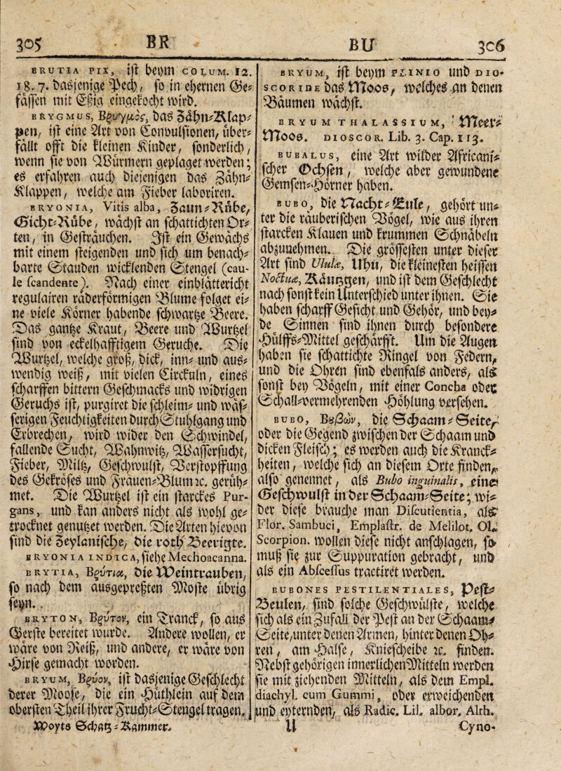 BR BRUTIA PIX, ift bei)tll C01UM. 12. 18. 7· dasjenige dkd), fo in fernen @e# fatfen mit ©fig eingefocht wirb. brygmus, Β&ημβί, baS 5(1ί)Η#&Γαρ# peu, i)l eine 2lrt pon ©ottüulftonen, über# fallt offt bie fleinen Äinber, fonberlid), wenn fte oon (JBürtttern geplaget werben; es erfaßten and) biejenigen bas gal)«# & lappen, weldje am Sieber taboriren. bryonia. Vitis alba, Saun# Kühe, önettt^übe, mäd))ian fcbatiid)tenör# ten, in ©efträuchen. (fit ein @ewad)S mit einem (teigenben unb fiel) um betiad)# barte ©tauben wicf'ienben ©tengel (cau¬ le feandente). ??αφ einer einblatteridtt regulairen raberformigen ^lume felget et# ne fiele Körner habenbe fdjwarfje SSeere. ©as ganfee M'raut, 33eere unb '2Bur|ei ftnb oon eeM)afftigetu ©eruche. ©ie dButfcl, weld)e grof?, bi cf, tnn# unb aus# wenbig weif?, mit oteien Circfuln, eines fcfyarffen bittern @efd)macfs unb wibrtgen ©erud)s ijr, purgtret bie fhleim# unb wdf# ferigen Seud)tigf eiten Ditrch©tuhigang unb ©rbred)en, wirb wtber ben ©cbwinbel, fallenbe ©ucht, (iBabnwtl, <JBajfcrjud)t, Sieber, Ώ)1ίΐ6, ©efchwuljt, (Berftopffung beS ©efrofes unb Srauen#53lum ic. geruh# met. Sie (XButhel ift ein jtarefes Pur¬ gans , unb tan anbers nid)t als wo 1)1 ge# iroefnet genubet werben, ©ieSitten bienen ftnb bie Seylöttifcfte, bie votl;'23eei'tgte. bryonia indica,fiet)?Mechoacanna. brytia, Έξύτια, bieWeintrauben, fo ηαφ bem ausgepreften ‘Stofe übrig fepn.. . ’ . . > 0; bryton, Έξΰτον, ein ©ranef, fo aus ©etjie bereitet würbe. Slnbere wollen, er wäre oon ;)u’tf?, unb anbere, er wäre Pon «Jjirfe gemad)t worben. bryum, Βξύον., ift basienige ©efcf)£ec^i berer 3)toofe, bie ein ^utbiein auf bem oberfien ©heil ihrer 5tud)i#©iengei tragen, XQoyts θφβζ - Efitmticr. ■— bryum, fft bepm rtiNio unb dio- s c o r 1 d e bas tHooo, weldjeS an betten ^Säumen )υάφ|ΐ. BRYUM THALASSIUM, ' UftstVi- moos. DioscoR. Lib. 3. Cap. i 13, bubalus, eine 2lrt wilber SlfricontV fd)er (DcBfen, we^e aber gewunbene @emfcn#>ö0rner haben, bubo, bieCTacfw#S!ule, gehörtun« ter bie vattberifeften ‘Sogei, wie aus ihren ftarefen flauen unb frummen ©djnabefn abpnehmen. ©ie groffeften unter biefer Slrt ftnb Ulula, Uhu, bie ficinefen heiffett Noäua, Ädutjgen, unb ift bem ©efcflecbi nad) fonft fein ilnterfcf)ieb unter ihnen, ©ie haben fd)arff@cftd)t unb ©ehor, unb bet)# be ©innen finb ihnen burch befonbere <£>ulp#'3)iittei gefdfarfft. Um bie Slugen haben fte fd)attid)te Ötingel Pon gebern, unb bie Ohren ftnb ebenfais anbers, als fonft bei) Sögeln, mit einer Concha ob ec ©d)all#permehrenben Kohlung oerfehen. b u bo, ^ Βαβών, bie Θφααιη# Seite/ ober bte ©egenb ptfd)en ber ©φααιη unb btcfenftletfd); es werben αηφ bte Brandt# heiten, welche ^φ an biefem Orte ftnben,, alfo'genennet, als Bubo inguinalis, eini» öjefdhwnlfi m&ev©ci>aam#0e ite; wi# ber btefe braud>e man Diicutientia, als* Flor. Sambuci, Einplailr. de Melilot, Ol« Scorpion, wollen biefe nid)t αnfφlαgen, fo muf fte jur ©uppuratton gebrad^t/ unb als ein Abfceffus tractiret werben, BUBONES PESTILENTI ALES, J?ep beulen, ftnb (οίφ? ©efdiwüifle, welche ftch* als ein gufall ber ^e|t an ber ©d)aam* ©eite,unter berten Sinnen, hinter betten ϋ|* ren, am 4)alfe, Äntefd)eibe te, ftnben. 5Jeb)l gehörigen innerltdjen'DJliöeln werben jfte mit jiel>cnben 33titteln , als bem EmpL diachyl. cum Gummi, ober erweid>enbett unb epternben, als Ra dic. ui albor, Akh. U Cjno*