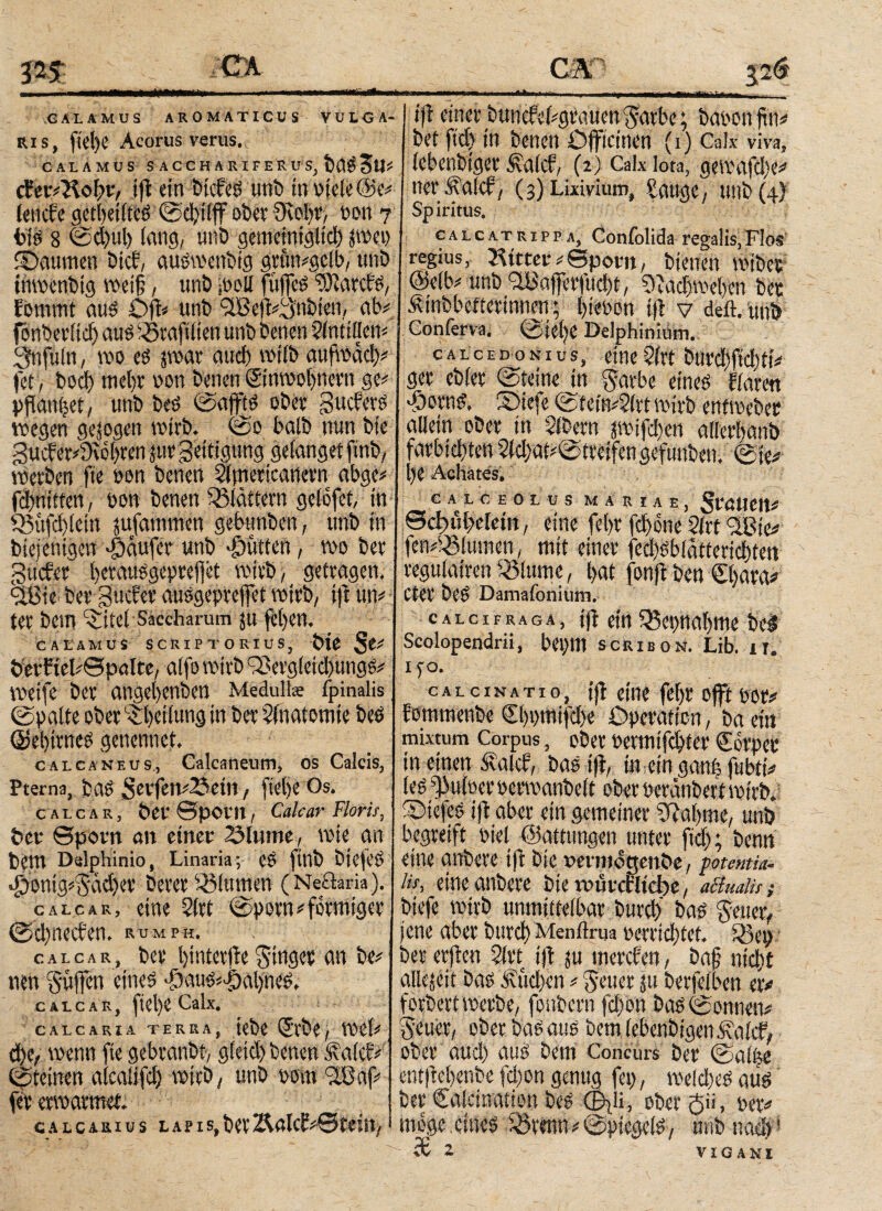 ■KM*· GALAMUS AROMATICUS VULGA¬ RIS, ftc!)C Acorus verus. CALAMUS SACCHARIF ER US, tUSStl* cfev«Hobv, ijl ein btcfeS unb in viele @e« lencfe gctbeilteö ©cftlfF ober ?Rol)r, von 7 bis 8 ©d)ul) fang, unö gemeiniglich }wcp (Daumen bicf, ausroenbig grftmgclb, unb inwcnbtg weif, unb [voll füjfeS Barels, Eommt aus Oft« unb t2Be|l«3nbien, ab« fönberlid) aus 33eafilieu unb benen Antillen« Sfnfuftt, wo es par auch wifb aufivach« fet, bod) tu ein von benen @ntvol)rtcvn ge« ppanljet, unb bes ©afjis obee gucfers wegen gezogen wirb. ©0 halb nun bte gucf er«9\%en jut* geitigung gelanget finb, werben fie von benen 2ltm>ricatievn abge« fdmtifen, von benen blättern gelöfet, in 33ufd)lein jufammen gebunben, unb in btejenigen Raufer unb Butten, wo ber guifer herausgepreffet wirb, getragen, %0ie ber gucfer ausgeprcfjet wirb/ i|f an« ter bem ^itel Saccharum ju fel>en, CALAMUS SCRIPTORIUS, Ρίβ ßt* öerfieb0palre, alfo wirb ^öergletdjungS« weife ber angehenbett Midutt« fpinalis ©palte ober 3-heifung in ber Anatomie beb ©ehirnes genennet. calcaneus, Calcaneum, os Calcis, Pterna, fcaS 3evfen«23etn , fielje Os. calcar, ÖeV θρονη, Calcar Floris, bet* θρονη an einer (ölwme, wie an brm Dalphinio, Linaria; CS ftnb biejeS njoni.g«3äd)cr berer Blumen (Neftaria). calcar, eine 2lrt ©porn« förmiger ©chnecben, rumph, calcar, ber l)inter)ie ^tttgee an be« neu Suffcn eines -fiaus^aiynes, calcar, fiel)e Calx. calcaria terra, iebe (Jrbe, wel« die, wenn fie gebranbt, gleicl) tenen ÄalcK ©feinen alcalifd) wirb, unb vom 3.0 af« fer erwärmet CALCARIUS LAPIS,bet2AttlίΕ«θίίίΠ, M“*^~^****^*^~^~~*^**~*~*~“; 7—1—1—V in— ift einer buncfebgrauen'Jarbe; bavon ftit« bet ftd? in benen Officinen (1) Calx viva, iebenbtget ^aicf/ (2) Calx Iota, gewafci)^ ner ^alcf, (3) Lixiviam, Sauge, unb (4) Spiritus, calcatrippa, Confolida regalis,Flos regius, Kitter«θρονη/ bienen wibef @eib« unb<aßaf)erfud)t, 9iad)wet)en ber ftmbbetterinnen; l)ievon ijl v deft. unb Conferva, ©ielje Delphinium. CALCEDONIUS, CitlC ?fe bllVCi)ftd)tt« ger ebler ©feine in $arbe eines Karen doorns, IDtefe ©tein«S(vt wirb entweder allein ober in Sitern pifd)en allerbanb farbichten 2ld)at«©treifen gefunben. ©ic« l)C Achates. € A 1 C E 0 L U S MARIAE, θφιφοίείη / eine fef>r fd)öne Sitt 30te« fcn«33lumcti, mit einer fed)Sblätterid)ten regtilatren 33lume, bat fonft ben £bara# Cter beS Damafonium. calcifraga, ijf ein53epnal)me bc$ Scolopendrii, bei)ttt scribon. Lib. ir. 1 fo. c a l c 1 n a t 10, {jl eine fef>r 0jft vor« fommenbe 0)i>mtfd)e Operation, ba ein mixtum Corpus, ober vermifchtev Cövpcc in einen Äalcb, bas ijl/ in ein ganb fubtt« (es pulver verwanbelt ober beraube« wirb, ©iefes ijl aber ein gemeiner Sfaihme, unö begreift viel (Sattungen unter ftd); benn eine anbere ijl bie »evmdgenöe, potentia- Ut, eine anbere bte nnivclltcbe, aßualif ; biefe wirb unmittelbar burd) bas §euer, jene aber burd) Menilma verrichtet. 33ep ber erjlen $lrt ijl ju merclcn, baf nicht alleleit bas Äud^cn«Jeuer 511 berfelben er« forbert werbe, fonbern fdjon bas ©onnen« geuer, ober bas aus bem lebenbigenivalcf, ober aud) aus bem Concurs ber ©alije entjlehenbe fd)on genug fep, welches aus ber Caleination beS φ^ΐί, ober $ü, ver« möge. eines 33wm«©ptegels, unb nad)! Φ 2 VIGΑΝΙ