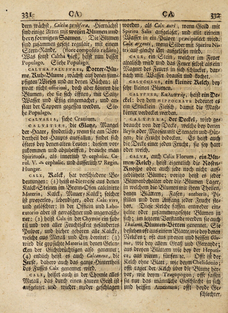351': CA i — - ■ —-■■■-■*— ■ ■■ ii‘ ·ι· r‘'~- —r* ■ ■ ■ -«■- *■* 7 - - * - Λ*·*ϊΛ.«·.. U.-·-' ·-. j- ...“· ,'lÄ.r-X n- .... - t*crr> Wäd)fl, Cdtha prvlifera. φ]βηάφ|ί finb einige Sitten mit weifen ZMtmiciumb fjereformtgin θααιηεπ. Sic Blumen finb jufammen gefegt rcgulair, mit einem tCfinfluUlbe. (flore compoiito radiato) Ü8aS fort ff Cakha S)ic|T, beifl nun beffer Populago. @icl)e Pcipulago. CALTHA PALUSTRIS, 2&Ottet*55ltt* me, Ä»l?#SIume, wad)ff auf benen füm* PÜgtettlüiefcn unb an benen Aachen: ift jwar nicht officinal, bod) aber fontien bie Blumen, e!)e fte fid) offnen/ mit ©alb* «jÜBaffet unb ®fig eingemad>et, unb m f'tatt bet Cappern gegeffen werben. ©ie* {)C Populago. calvaria, ficl)C Cranium. calvities, bic (Sletse, Mangel bet ffbaare, fonbetlid), wenn fte am Qßor* bcvtbctl beS döaupis ausfallen, ftnbel fiel) öfters bep benen alten Leuten: biefein vor* iufommen unb ab^ubclffen, brauche man Spirituali, als tmtctlid) 7· cephalic. Ca- rol. V. a cephalic. unb dufferltd) V Regin. Hungar. ca Ls, 2\ötc£, l>at vctfd)iebene $3e* Deutungen: (i) heilt es bie weife aus benen &alcf*©teinen tm O3tenn*Dfen calcinirte Materia, iuilcf, ‘töfauer* Üutlef; fold)cv ift jwet)ct(et), lebendiger, ober Cak viya, imb gelefd)ter: in bet* Dffieiu unb Labo- ratorio aber ift gewafcbner unb ungewafd)* tier: (2) Ijcift Calxin berChymie einfub* tii unb pon aller $eud)tigfeit gefauberteS pulver, unb bieder geboren alle Sohle, welche aus Metall unb (Sri; bereitet : (3) wirb bte gi)pfid)te Materia in benen (Selen* eben ber @id)tbtüd)tigcn alfo genennet; (4) enbltd) ijetfl, eS aud) Cdcaneiu, fctC Seife, babero aud) bas ganje >&intertbeil bes Suffes Caix genennet wirb. . cals, i>dfct aud) in ber €bi)mie alles Metall, bas bureb einen fauren ©eifl ift «ufgelofet unb mteber nieder gefcblagen worbenals Calx auri, wenn ©old mit Spiritu Salis aufgelofet, unb mit reinem ii'affer in. ein. pulver praecipitiret wirb. Qdx argani, Wem: Silber mit Spiritu Ni. tri auf gleid)e 2(ct aufgelofet wirb. calx, ein ©fein , meid)« im $euer alcalifcb wirb unb bas Setter felbff als ein Magnet beS geuers in fid) fcbludet, bar* nad) mit Gaffer braufet unb fod)et. c a l y c ui. u s, ein Cleiner Zielet), bei) fel)r fleinen Blumen. _ c a l y p t e r, Κάλυπτες, ()dfl ein2)e* cfel: bet) dem hipp0crate bebrütet es ein ©tücflein gleifd), damit bie $Xaff* ferner verderbet werben. , : v c.-A.l y p t r a , Der ©edel, wirb ge* braucht oon der ©eefe, welche bei) benen Bryis ober Ifloefeu mit ©tengein unb f)üt* gen, bie grud)t bebccfen. (ts beiff auch bie ©eefe einer jeden 5rud)t, fte fet) hart ober weid). calyx, attd) Calix Florum, etltZMtt* men*Äelct), betff eigentlid) bte Kofen* Äuofpe ober aud) jebe noch nid)t auf* geblutete diurne; oorifeo betfr es jeber ^tumenbebalter ober bie Blumen Säger, in weld)em bie SBlumenmit ihren ^bctlett, benen flattern, iafen, amheris, g>i* ffillen unb bem Sltffaitg jeber 5rud)t fte* ben. ©iefc üeldje faffen entweber ein* nelue ober jufammengefebte Blumen in fid) ; im lebtern Qöerftanbe werben fte auch fkaiamhToinnmvZhctun genennet. ©ie befteben oft aus,einem Platte,wie bet) benen Melden; oft aus iwepen unb beiffen Glu· m<e, pie bet) allem @va|] unb ©etrapbe; aus brepett ißlattern wie bet) ber Hepati¬ ca, aus vieren, fünften rc. Öfft fff ber Äeld) ohne iölatt, wie bepm Chelidonio f offt raget ber telcb über btefßlume her* vor, wie bepttt Tragepogon; offt faffen fte nur bas mannlid)e @efd)(ed)t in fiel) UUb hetffen Amentum; offt bepbc @e* fd) leebter,