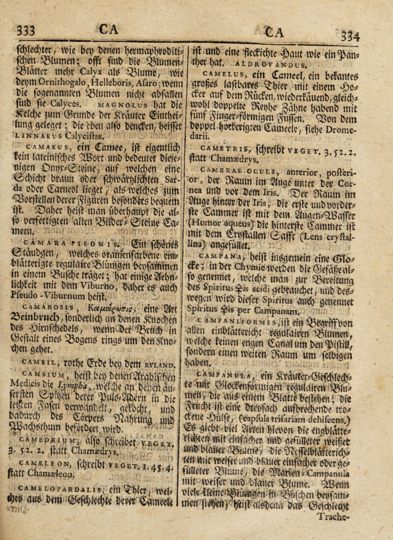 ttie beptenem bermapbrotitr f f . «nt eine flechte £aut mie ein «Bah ffhßH ♦ f>t?Y hui Ai*> ffvrtt* ί\Λ+ , ·* ■*. _ _ ^ ♦ v ALD R OV AND U 3$ Λ 4 c mehr Calyx afö töiume, ttje tei)m Ornithogalo, Helleboris, Afaro· ttientl tie ^genannten Blumen nidjt abfalfen ftnt ftc Cal yCQS, MAGNO LU S bat tie &etci>e jum ©runte bet trauter (Sintbei# iun<5 geieget; tie‘eben aifo betteten, bei ’linnälus Calyciftss. CA MAEUSj ein fein iateittifcbeö *2B.. ntgen £>n9x#@teine / auf voeidten eine, ©φίφί braun ater i^TOatHrften Saf-! «ober Cfarnd'l li '^Borjlellen i(i. ©aber i>eift tnan überhaupt b'fe ab fo öerfertigten aiten ^tfber# Bteine €a# tneett. · / if* ei„ unt beteutet tiefe#· $u.m camelus, ein Cameel, ein befanteö _ Jpeö iaftbat® ^bia' mit einem φο crer auf tem Üutcfen, mieberfauenb, αίβίφ# ***** ‘“‘i“ r|al)ne babenb mit . 93an tem j ■.-. · -., ftel)e Drome- (ll&nu TR\*> iW VEGET, 3,^,2., mit Chamsedrys, camek-ae oculi, anterior3 pofterl- or> bei* Dutum im Singe tmiee bei’ Cor¬ nea tmö üoy bem Iris. D\oum int f* ΏΊΙ CAMARA P I S Ο N I%ß Li ii mti Humor aqueusj fcf * ' * s er blatterate reguiairc SMtfigen beufammen; tn einem Q*uf>e traget * *f -a ■ ' · ^' föfeft mit tem viburno, Dabet cg F’ieudo -Viburnum bei ff. ^j| c amarosis y Καμάρυσις, eine 2lU Φίίηίη,τιφ-, fonteili# an ‘ ~ v' GA MPA N'Aj $t y in ittt efeymie metöen i>le ©efn§eai* ^ $is acidi gthmM, uni) tm vt)egcn η>ίιΦ Spirims =getr*^* Spiritus φ-is per Campanaiiiy 7 ΐ *5 -C ^ p A lf o r m i s Y! «v . Λ a V J * l ** tem RVLAN0. Φ«η gebet. CAM E1% 3 CAMEltM; l)ei|t uei; uenetm.raßttc» Med!cis>e Lj/mpba ,.,«$$« an: tehettau#} erjien ρ»φ te» m tie (e|ten Jg|rt ßentanteit, aefbφt, unt taturci) tcö * Körpers 3eabruna, «nt .^af4t|mn befertert, mirt. *”V ·-. : οψBpMiuuy aijciffibreibeAEGET, 3» f 2. 2. ftatt Ciiam^drys. ' i..*AifE tEN> ΜϊΦ(: v e g et. i. 4 5.4. ftdtt Chamäleon, C AM P a N UX Ä, . mefty t{e auf biffem Miattf bejlebeit Ανΰφ( ifl eine Βκ^αφ aufbreebente tro# wette 'fÄtlife, feiapitik-trifariam debifeens.) ■ m rm mwij t mit - meiferi -unt biatter ^iuttte. asitiia