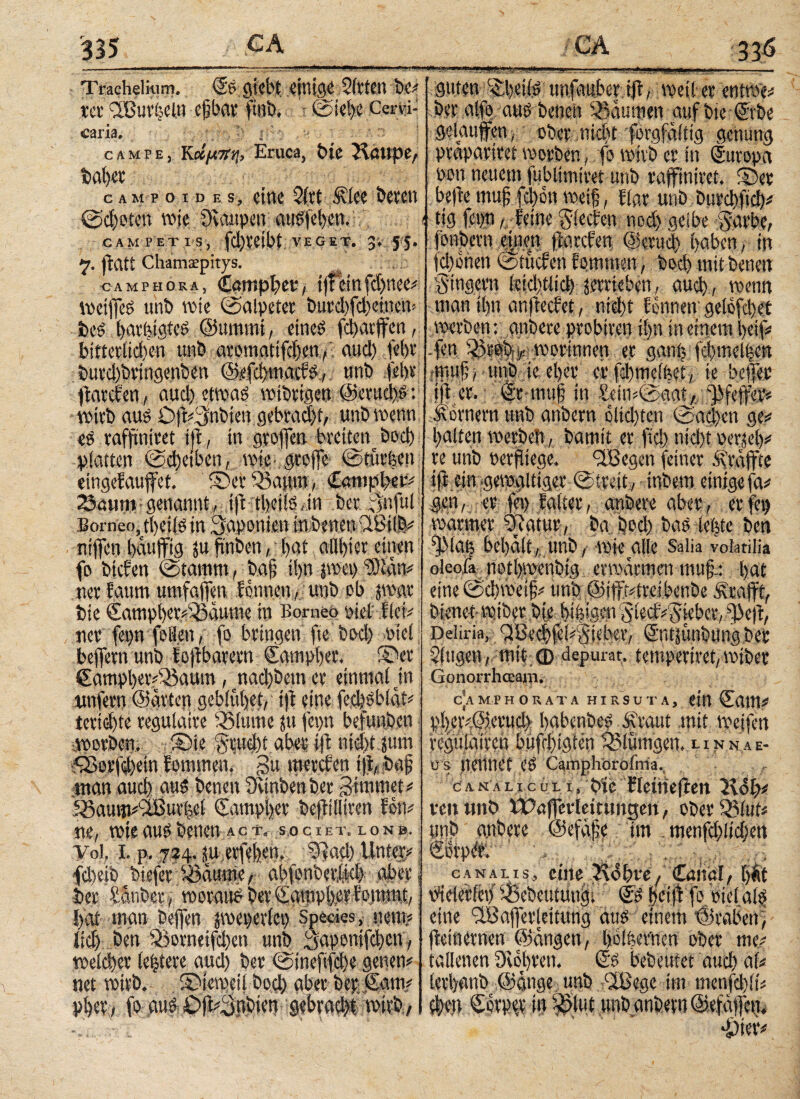 335 GA Trachelkim. ©o giebt einige Sitten De# xa ußuvfccln eßbat fitlb. (Stei)e Cer vi¬ caria. ' campe, Κοίμτί-ή, Eruca, bte Kattpe, bähet c am p o i d e s, eine 5(tt .§vlee bereu @cf)oteu wie Staupen etr^fefyen. CAMPET1S, fd)Cetbt VEGET. Jv 7. ftati Chamspitys. CAMPHORA, CötTipbet^ t roetfeö unb wie (Salpeter burd)fd)einen beS hamigtes ©«mint, eines» fd>atffen, bitterlichen unb aromatifdjen, aud) fetjr biird)brtngenben ©efdnnaiff, «nb (ehe fatefen, aud) ejtwaö rotbttgen ©mtdts: rottb aus 0f#3nbten gebracht, unb wenn es taffmitet if, in grofen breiten bod) platten (Scheiben, rote· geofe ©turnen eihgefaufet. ©er$>afun, 23eum genannt, tft tbeilsdn bet $nful Borneo,tbeils in Saponten inbenen 9ßi(b niffen baufftg ju f nben, bat alll)ier einen fo hieben (Stamm, baf; ilyn jroet) ‘rDtdn# «et fautn umfafen fonneu, unb ob par bie ©ampl)cr#33dume in Borneo oiet flci# ner fepfoHett, fo bringen fte bod) Ptel bejfern unb fofbatetn ©amphet. ©er ©ampbevSöaum, nad)bem er einmal jn unfern ©arten geblutet, if eine fechsblat# terid)te regulatre 55tmne ft fepn befunben worben, ©ie Stttd)i aber iß nid)t fum ißorfhetn fommen. gu menten tji, baf pan aud) aus benen üvinbenber gimmet# )Aaum#lil3ur(jel ©ampbet befilltren fon^ ne, rote auo benen act. societ, lonb. V'ol. L p. 724. |u,etfet)Ctt. 3*ad) Unter# \ fd)eib btefer Sjäuroe, abfenberjfd) aber! ber Sauber/ rooraub Der ©amphet iomsnt, bat man beflfen pepevlet) Spedes, «em? lief) ben SSorneifcben unb Saponifchen, roelcher (entere aud) ber ©ineftfdfe gegen# net rotrb. ©teroeii bod) aber bep Sam# pl)et, fo aub £>f#3nbten gebracht roith, «f sroetbet entröe# Der alfgaub betten Damnen aufbte ©rbe gelaufen ■, ober nicht fOrgfaitig genung prapariret roorben, fo rotvb er in ©uropa oon neuem fublimiret unb raffiniret. ©er befte muß fcl)6n roetfj, flar unb burdftd)# - tig fcpti, feine Sieden nod) gelbe Sarbc, fonbern einen ftarefen ©etud) gaben, in fd)önen (Stucfen fommen, bod) mit benen Singer« ieid)tlid)jerrieben, aud), roenn man iljn anfteefet, nid« ftnnetv gelöfdjet roerben: anbete probite« ί|η in einem feif# jen ^ribi^tworinnen er ganf fd)mel|en «muf, unb ie eher er fd)melbet, ie befer if er. ©r muf in £dn#@aat, Keffer# fernem unb anbern cltd)tcn (Sad)en ge# halten roerbeit, bamit er ftd> ntd)t perlet)# re unb petf tege. 9.8egen feiner grafte if:ein .geroaltiger (Streit, inbetn einige fa# gen, er feg falter, aribere aber , er feg roarmer Sfatur, ba t)od) bas lebte ben 'fMan bel)alt,. unb, rote alle Salia volatilia oleoia nothroenbig errodrmen muf: hat eine @d)ro'etf# unb @ift#treibenbe Äraft, bienet· ro.ibet bie ht^ggn Slecf#Swber, ^>ef, Deliria, 9ßed)fei#Si<-,ber, S'ntstmbungbec Singen,, mit;φ depurat, tempertret,rotber Gonorrhceain. c’a MP HORATA HIRSUTA, ein ©am# pl)er#©.erud) habenbes ^raut mit roeifen fegulaireh bufrhigten l^lümgen. r 1 n N A ε¬ υ s nennet CO Camphorofma. ca na Li cu Li ,bic flctrieffeit Kol)# reu unb tPnfevleituitgen, ober 3)lut# unb anbete ©efafe im menfdyltcfyett canalis, eine Kdhrcf Canal, l)dt Ptelerlet)i8ebeutun§i ©Shetf‘fo.oicialb eine 9Bafevleitung aus einem ©rabett, feinem«« ©ängen, ifolbemm ober me# tallenen Stohren, ©s bebeutet aud) al# lerhanb ©äuge unb (Ißegc im menfdhli# - ^ t. nn «■ Ta . *£)ter#