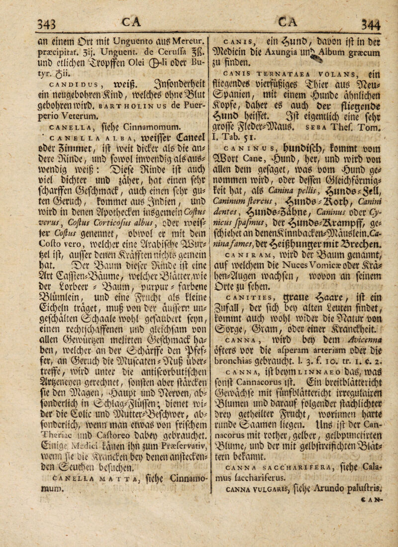 ■ ■■ ■ ■ wmt * i — in rimm .nn .. 1 ■——■—— — ■ ■ ■■■■ fltl einem Ott mit Unguento aus Mercur. prsecipitat. 3·[. Unguent, de Ceruffa jß. uni) etlichen tropfen Olei φΐί ober Bu- tjr. $ii. candidus, weif?, Qnfonberbeit ein neugebobren <i\tnb, welches ol)ne3S(ut gebol)tet1 Wttb, Bartholinus de Puer¬ perio Veterum. ca Nell a, fieße Cinnamomum. canella alba, weiffet Catteel ober Sirnmet, ijt wett biefer als bie an# beteövtnbe, unb fowoltnwenbigalsaus# wenbtg weif: Siefe Svinbe tjl aud) | oicl bieftev unb jabet, bat einen febr j fd)arffcn ©cfd)macf, auch einen fel)t gu# | ten ©erud), Eomntet aus 3nbten, unb wirb in betten 2(potbecEen insgemein Cofius \ verus, Coflus Corticofus albus, ober weif#, tet Coßus genennet, obwel er mit bem! Cofto vero, we(d)er eine 3itabsfd)e 3Bur# bei tjl, auffer betten ^rafften nichts gemein bat. Ser Q3aum biefer SRirtbe ift eine 2(rt €ajften*i©dume, Welcher QMdtter,wie ber = fotbeer # 3öaum, purpur# farbene Q3lumlein,c unb eine §tud)t als Eletne ©tebefn traget, mufoonber duften un# gefehlten ©cfaale wol)i gefaubert fepn, einen red)tjd)affenen unb gleicbfam twn allen Oewürtjen meiirten @3efd)macE ba# ben, welcher an ber 0d)ärjfe ben Jfef# fer, an (Serttd) bie Stufcaten # fftuf über# treffe, wirb unter bie antifeorbutifeben Sltfjenetjcn gerechnet, fonften aber jtarcEen fie ben ‘Stagen, -foaupt unb Wiewen, ab# fonberiid) in 0d)lag#5lit|fen; bienet wt# ber bie €oltc unb StutterABefdtwer, ab# fonberiid), wenn man etwas v>on frifebem Theriac mit) Caitoreo habet) gebrauchet, ©inige, Medici fdtten tl)U JUUt Prafervativ, wenn Je bie ifrancEen bet) betten anjtecfen# ben (Seuchen befudjen. Canella matta, iic()C Cinnamo¬ mum. c anis, ein <5>unb, baobn ift in ber ‘Siebtem bie Axungia untLAlbum grsecum ju ftnben. ** CANIS TERNATAEA VOLANS, ettt ftiegenbeS oietfüfigeS 'Sbicr aus 3Reu# Spanien, mit einem dömtbc ähnlichen Äopfe, habet es aud) Der fltegetiöe 4>unö beiffet. 3|i eigentlich eine fel)t grofe glebeiv'Staus. seba Thef. Tom. I. Tab. 51. caninii s, bunbifcb, Eommt oom <2Bort Cane, Jounb, ber, unb wirb non allen bem gefaget, was oom 4i)unb ge# nommen wirb, ober beffen ©ietebformig# fett bat, als Canina pellis, iJ>un6e#S«Ö, Caninum ftercus, -έ,Ιΐηδβ #2totl), Canini dentes, <^Ullbt’#5dbne, Caninus ober Cy¬ nicus f^afmus, ber 4)Unt>6#Ärampff, ge# febiebet an betienÄinnbacfen#3)iduSlein.Ci- nina fames, ber 4>ttf fmnger mit Steche«. canuam, wirb ber33aumgenannt, auf meldfem bie Nuces Vomicae ober .‘ftra# ben#2iugett waebfen, wouon an feinem Orte ju feben. canities, graue <5>aare, tfl ein Zufall, ber ftdj bet) aiten £euten ftnbet, Eommt aud) wol)l wiber bie fftatut oott 0orge, ©tarn, ober einer iv'raiicEbeit. canna , Wtt’b bet) bem Avicenna ofterS »or bie afperam arteriam ober bie bronchias gebraud)t. 1. 3. f. IO. tr. i. c. 2. canna, iffbepntunnaeo bas, was fon|l Cannacorus tji. ©ttl brcitbidttnicbt ©ewdcbfe mit funfbldttericbt trreguiatrm Blumen unb barauf folgenber )Ead)ttd)ter bret) geteilter 3rud)t, wortnnen barte runbe ©aamen liegen. tlnS ift ber Can¬ nacorus mit rotl)cr,gelber, gelbpunctirten 3B(ume, unb ber mit geibftreijtcbten iQ3ldt# tern befannt. CANNA S Α CC H ARI FERA, ftel)e Cala- mus iacchariferus. canna vulgaris, ftebe Arundo paluftris; « an-