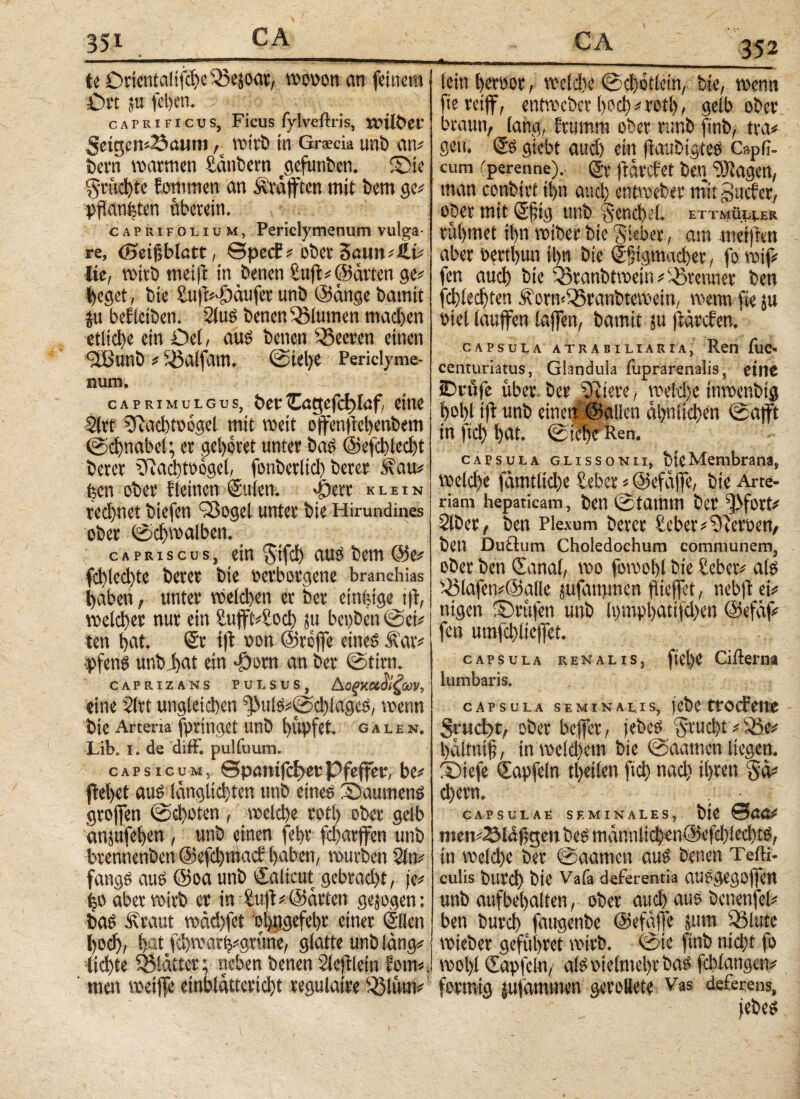 te Orientalifcfee ‘'-SejociV/ wovon an feinem Oft p fel)eti. caprificus, Ficus fylveftris, tuilbec Setgen#23aimi, wirb in Grscia unb an# bem waemen taubem rgefunben. ©ie geulte Eommen an Geäfften mit bem ge# pflanfeten überein. caprifolium, Periclymenum vulga¬ re, ©eiffblött, 0pecE# ober 3ötm#ßi# Jie, wirb nt ei ft in benen huft# (Satten ge# feeget, bie hufr#Öätifcv unb (Sange baintt ju bef leiben. SluS benen Blumen machen etliche ein Del, aus benen Beeten einen <Xßunb # ^öalfam. ©iefee Periclyme¬ num. caprimulgus, beeCagefcfelaf eine Siet Siiachtoogel mit weit offentfefeenbem ©cfenabel; ee gehöret untee bas ©efcfelecfet beeee SRacfetvogel, fonbetltcfe beeee .kau# feen ober fleinen (Stilen, φατ klein rechnet biefen Q3ogel untee bie Hirundines obee (Schwalben. c a priscus, ein gtfefe aus bem @e# fefeieefete beeee bie verborgene branchias haben, untee Welcl)en ee bee einfeige tft, welcher nur ein hufft#hocfe ju bepben ©ei# ten feilt* ©t t|b von ©reffe eineg Äav# pfens unb j)at ein *£>oen an bee ©tien. caprizans pulsus, Δ οξκκοίζων, eine Siet ungleichen f|MilS#©d)lagcg, wenn bie Arteria fptinget Unb hupfet. GALEN. Lib. i. de diff. pulfuum. # - Capsicum, ΘραηίΓφίΐ Pfeffer, be# ftefeet aus länglichten unb eines ©aumens geojfen ©efeoten , welche eotfe obee gelb anjufefeen , unb einen fefet fefearffen unb btennenben ©efcfemac? feaben, würben Sin# fangs aus @oa unb Calicut gebracht, |e# feo aber wirb ee in huft# ©arten gejogen; bas Äcaut wad)fet ofeugefebr einet ©len feoefe, fegt fcl)Wörfe#gtüne, glatte unb läng# licfete föläiter ;■ neben benen Slejtlein Eom#. ' men weijfe emblattericfet eegulatee $3lüm# 352 lein feeeeoe, welche ©cfeotlcin, bie, wenn fieeeiff, entwebeefeoefe#eotfe, gelb obee beaun, lang, feumm obee ranb ftnb, tea# gen. Cs gkbt and) ein flaubigteS C»pfi- cum (perenne). Ce ftaeefet ben SOIagen, man conbiet ifen auefe entwebee mit Sucher, oper mit Cfig unb gencfeel. ETTMÜL^ER eufemet ifen wibee bie giebet, am metjlm abee veetfeun ifen bie Cjjtgmacfeet, fo wif# fen auefe bie Q3tanbtwein # ©kennet ben fcfelecfeten Äoen<55eanbtewein, wenn fie p viel lauffen laffen, bamit ui jläecfen.' capsula atrabiLiaria; Ren fuc* centuriatus, Glandula fuprarenalis, eine tDrüfe übet, bee Ditere, weiefee inwenbtg feofel tft unb einen ©allen ähnlichen ©afft in ftefe feat. ©iefee Ren. capsula GLissoNii, bieMembrana, weid)e färntlid)e hebet < ©efäfje, bie Arte¬ riam hepaticam, ben ©tamm bee f)3fort# Slbee, ben Plexum beeee hebet #fliceoen, ben Duftutn Choledochum communem, obee ben Canal, wo fowofel bie hebet# als ©lafen#©alle pfanpuen ftieffet, nebft ei# nigen ©rufen unb Ipmpfeatifcfeett ©efaf# fen umfcfelteffet. CAPSULA REGALIS, ftefee Cillerna lumbaris. capsula seminalis, iebefrocFeite grucl)t, ober bejfer, jebeS gvuefet # Cie# fealtnif;, tn weld)em bie ©aamen liegen, ©tefe Capfein tfeeilen ftefe nad) ihren Sa# efeeen. ©' CAPSULAE SEMINALES, blC 0ÖÖ# men#SHfjgen bes mannlicfeenOefcfeiecfetS, in weid)e bee ©aamen aus benen Teiti- culis blttcfe bie Vafa deferentia auSgegoffett unb aufbefeaiten, ober auefe aus benenfei# ben burefe fangenbe ©efäfle pm ©lute wiebee gefüferet wirb, ©ie ftnb nicht fo wofei Capfein, als vielmehr bas fchlangen# förmig pfammen geeollete Vas deferens,