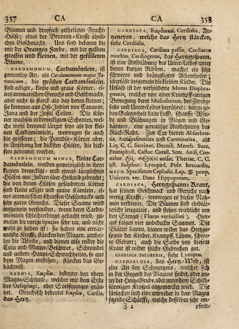 357 SMumen unb brcpfnd) getheileten $rucf)i# •Öüifc; eines bet: Brunnen # & reffe cihnlt# cl)cu Oefdtntacfs. Uns fmt> bcEannt bte mit bev ©rangen Sarbe, mit bet gelben gtojfen mtö deinen, mit bet gefülleten <M«me. i CARD AMOMUM, Carbamomlein, tfr iWeijetlet) 2ltt, cils Cardamomum majus Ja- vanicum, bte gv<5flen Caröantomiein, ftnb ecEigte, Eieine unb graue Corner, et# nee atomatifchen OerudtS unb OefdfmacES, aber nid)t fo fiarcf als bet) betten Eieinen; fte Eommen aus £)j}#3nbien von Cananot, 3aoa unb bet guftil Setlon. S)ie &ot# «er madtfen in brepecEtgtett 0φοοίβη, wel# che wohl bret)ntal langer fet)tt als ber Eiet# nen Sarbantomiein, weswegen fte and) bie gt ojferen; bte parabis # Körner aber, in 2lnfel)img ber bicffien hülfen, bie btcE# flett genennet werben. Cardamomum minus, Eieine Car# bamontlem, werben gemeimglid) in il>ren fleinen brepecEigt# unb etwas lctngltd)ten hülfen aus geübten über Jöollanb gebracht; bie non betten hülfen gefauberten Sortier ftnb Eieine ecEigte unb graue Äomicin, ei# neS arotnattfd)en fd)arjfen @efd)tnacES unb fel>r guten @etttd)S. ©tefer @aame wirb insgemein üerftattben, wenn berer Carba# ntömletn fd)ied)terbtngS gcbad)t wirb, μι# malen bie »orige Species feht rar, unb nid)t tt>ol)l μι l)aben tjt: fte haben eine ervoär# menbe .strafft, jlarcEenbensDtagen, jertbei# len bie 9iBtnbe, unb bienen alfo wiber bte Colic unb 9dlutter#^efd)wer, 0d}winbel unb anbere •Öaupt#0d)wad)()eiteu, fo aus bem OJlagen entfielen, ftarcfen bas Oe# bacbtniji. gardia, Καζό'ία, bebeufet ben obern ‘5)lagen#0ci)lunb, weichet mit bem ©nbe beS Oefophagi, ober 0peifeganges grein# b«. Ortedtifd) bebrütet Cardia, ί>αα ^ev5, ' t _CA_$58 cardiaca, Kctgciicoix, Cordiaiia, 21uv twneyen, meiere bae &tvts flarcEen, ftel)C Cordiaiia. cardiaca. Cardiacapaflr®, Cardiacus morbus, Cardiogmus, baS ^ensgefpann, iji eine Slufblabung bes Unterleibes unter benen Eurfecn Stubben, mad)ei ein feljr ferneres unb beängfligtes 2lt!)eml>olen; überfallt insgemein bie EieinenÄinber. ©te Urfad) i)E ber perhinberte Motus Diaphra¬ gmatis, weldjet »on einerÄrampffVaritgen Bewegung berer Mufculorum, bes Bwerg# felis unb Unter#Seibes herruhref: hierju ge# ben (Selegenl)eit EaiteSujft, fdearffe 'Ißin# be unb Ö3läl)ungen in Klagen unb Oe# barmen, eine gewaltige Slusbehnung be# 9u:cf#SiabS. gut €ttr bienen Abforben· tia, AntUpafmodica unb Carminati va, altf Liq. C. C. fuccinat. Decoft. Menth. Succ. Penraphyll, Caftor. Corall. Sem. Anifi, Cin¬ nabar. gii, -PiQXri anifat. Theriac, C. C. uft. Sulphur. Lycopod. Pulr. betoardic«. mich. SpecificumCephalic.Lap. S prtep. Unicom, ver. Dens Hippopotam. cardiaca, ^ertsgefpamt # Äratttf (>at feinem OefchmacE unb Oeruche ηαφ wenig Ärafft, weswegen eS biefen 9iajh# men perbiente. Sie iSlumen ftnb cinblat# terid)t trregulair, unb flehen wirbltdjt um ben 0tengel ( Flores verticillati). >^)ier#' auf folgen Pier unbebeefie 0aamen. !Bte glatter bapon, bienen wiber bas -öerfege^ fpann ber Äinber, Ärampjf, Sahnte, fcjhme# re Oeburt; auch bie 0albe pon btefem f raut tfl wiber folche Oebrechen gut. CARDIACA PALUSTRIS, ftefye ).vcopus. cARDiALoiA, baS tjl eine 2lrt bes 0d)roerhens, weld)er ftdh in ber Oegettb bes Wagens ftnbet, ober un# ter ber '£)er.h#@.rube, ober unter bem 0d>ilb# förmigen Ärpfpel angemerefet Wirb. $)« ilrfachenpttb eine entweber in bem^lage® ft|enbe 0charfe, welφe beffelben fe|>r em# 3 z pftnb#