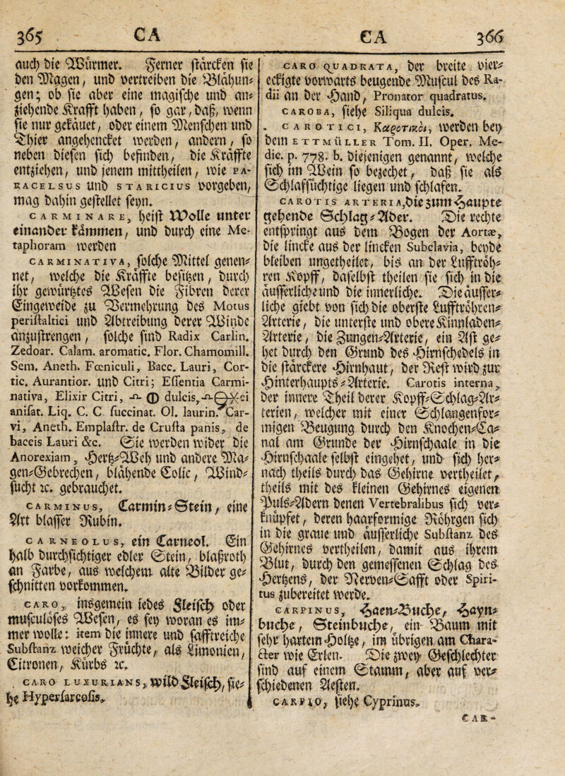 auch bie 'ABürmer. ferner frdrctcn ft? ben Etagen, unb »ertreiben bie Sßldhun# gen; ob fte aber eine magifd)e unb an* jiehenbe itvafft haben, fo gar, baff, wenn fte nur gefaltet, ober einem 'iOtenfchen unb 'ibier angehenefet werben, anbern, fo neben btefen ftei) befinben, bie ^raffte entjieben, unb jenem mtttheiiett, wie pa- racelsus unb staricius vergeben, mag bahin geftellet fetm. CARMINARE^ XVolk nntet tinanbtv fämmm f un& t>wct> eine Me¬ taphoram VOCVÖcn CARMINAT IVA j jofcf)C net/ mid)t t>ie ^raffte beftfeen, inxdj i()t geana^tc^ ^Befert bte Sihmi betet* Singeaeibe ju iSei*mel)Vung be^ Motus periftaitici mt> Sibtvetbung betet iißinbe ClHJtlfttengen , folc^e finb Radix Cariin. Zedoar. Calam. aromatic. Flor. Chamomill. Sem, Aneth. Fccniculi, Bacc. Lauri , Cor- tic, Aurantior. ttnb Citri; Efientia Carrai- nativa, Elixir Citri, -η- φ dulcis,. anifat, Liq. C. C fuccinat. 01. lanrin. Car- vi, Aneth* Emplaftr. de Crufta panis, de baceis Lauri &c. @tC IDCtben tüibct bie Anorexiam ^^£Βθ!) Uttb atöm getv@ebreci)en, bldl)eube Coife, CÜJfnte fucl)t u\ gebrauchet* C A R Μ I N U S, Catmm«etefn, eine 5(rt biajfer 9vubm, ca kneölus, ein Carneol. ©n halb burchfichtiger ebler ©tein, blajjrotb an darbe, aus weichem aitedBilber ge# fchnitten «orfommen. csso, inegemein iebed Sleifcl) ober mufculofed iXBefcri, es fei) woran ed im# mer wolle; «em bie innere unb fdfftvetche SubftanB weicher fruchtef ald Simonien, Citronen, Äürbs ic. caro evxBRiAKs^tmöbSfeifi^/fie# be Hyperiarcofis, caro quadrata, ber breite vier# eefigte borwartö beugenbe fJSufcui bed Ra¬ dii an ber -f)aub, Pronator quadratus. caroba, flehe Siliqua dulcis. - carotici, ΚαξοτΜοι, werben bet> bem et TM ii lier Tom. II. Oper. Me¬ die. p. 778. b. biejentgen genannt, weiche fiel) rtn ^Bein fo bejechetf ba§ fte ald ©chiaffud)tige liegen unb fchiafen. CA ROT IS A R -r E R i A,£>ie 3Um djöUpte gehmbe ©d)lag#2(ber. 3Me rechte entfpringt aus bem biogen ber Aortae, bte itnefe aue ber iinefen Subclavia, bewbe bleiben ungetheiiet, big an ber Sttfftroi)# ren Äopjf, bafelbji tfjeiien fte fiel) jn bte dufferlidjeunb bte innerliche. !Bieduffer* liehe grebf non fiel) bte oberffe Sufftrohren#· Sfrterte, bie ttnterffe unb obere üvtnniaben# Arterie, bte 3ungcn#2(rierie, ein 5ift ge# l)et büret) ben @rtmb bed «öirnfehebeid in bte ffdrefere Hirnhaut, ber9ceji wirbjuc $interhattptg#Girierte. Carotis interna, ber innere Orbteii berer 3\opff#©chlag#2iv# irrten, weicher mit einer ©ehioagenfor# tnigen Beugung burch ben finoci)en#€a# nai am @runbe ber doirnfehaate in bie Öivnfchaaie f;ibft etngehet, unb- fiel) her# nad) theiid bttrd) bad (iiei)irne veriheiietf theiid mit bes fieinen (Sehtrneg eigenen: g)uig#5(bevn benen Vertebralibus fid) rer# fnupfet, beren haarformige fRohrgen fleh tn bte graue unb dufterßehe Subflanx bed ©ehirneg bertheüen, batntt aus ihrem SBiut, burch ben gemeffenen ©chiag tcö gerbend, ber 5ieroen#©aft ober Spiri¬ tus jiibereitet werbe. carpinus, £>acni25ud)e, £>aym bucf)e, ©teinbuche, ein- Sßaum mit fehr hartem Oet^e, im übrigen am Cfiara- der wie ©den. SDie pev> ©efchlechter finb auf einem ©tamtn, aber auf «er# fchtebenen Sieben. CAKiuo, (teh? Cyprinus. C AE*