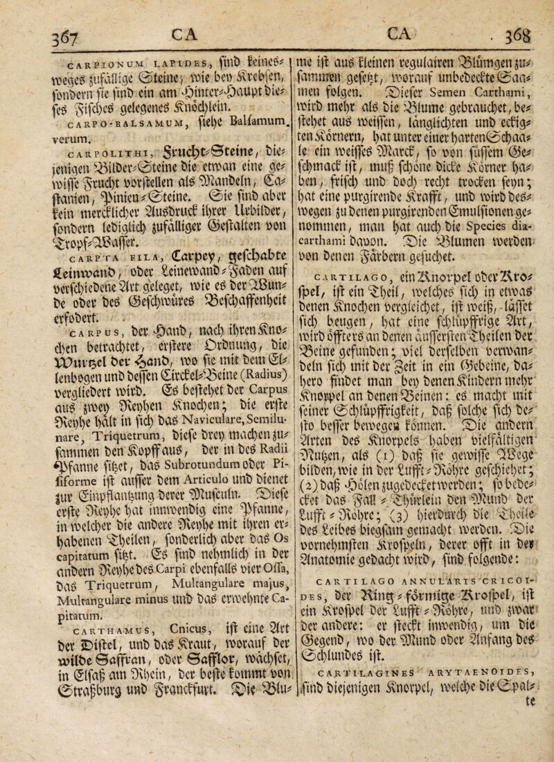 CARPIONUM LAPIDES, fÜlb EeWeS# 1 voeijee zufällige ©teine, rote bei) Ärebfcn, fonWt' fte finb ein am Hinterhaupt bte# feS Stfcl)eS gelegenem Atmdflein. carpo-balSamum, ftei)e Ballamum. verum. cARPOLiTHi, ßrucf)t#etetne, feie« icnigen 58ÜÖ«t#©teiM bie etman eine ge# anffe §tud)t oorjtellen als ‘•Dtanbeln, £a# ftanien, hinten # ©teine. ©te fitib aber fein metcfiidjer 2lusbrucf ihrer llrbtlber, fottbern (ebiglid) zufälliger ©eftalten sott ©topf#AB affer. carpta fila, Carpep, gefcbabte fteinwanb, ober £einemanb # gaben auf oerfcbiebetie 2lrt geieget, wie es berAßun# be ober beb (Sefd)mitreS 33efd)affenheti crfobert. _ carpus, ber Hcmb, nad) ihren äh o# d)en bettad)tet, erftere Örbnung, bie XOuv%tl bei· ^>a»t>, wo fie mit bem Sl# lenbogen unb beffett ©vcfet#föetne (Radius) pergliebert wirb. @0 befielet ber Carpus aus jmei) Stephen Änod)en; bie elfte ■9vei)l)e hält in ftd) bas Naviculare, Semilu¬ nare, Triquetrum, bicfc blCt) 11iad)ett JU# famnten ben £opff aus, ber in bcs Radii Pfanne ftfjct, baS Subrotundum ober Pi- fiforme ijt auffer bem Articulo unb bienet |ur ©upflanfeung berer ‘•Otufcutn. ©tefe erfte Svcphe bat innmenbtg eine Pfanne, in me Id) er bie anbere Svephe mit ihren er# Ebenen Reifen, fonberlid) aber bas Os capitatum fifet. SS finb nehmlid) in ber einbern jRephcbes Carpi ebenfalls pierOffa, baö Triquetrum, Mukangulare majus, Multangulare minus tUlb baS eViVChttte Ca- pitätum. carth amus , Cniajs, tft eine 21 rt ber iDiftcl, unbbas^raut, worauf ber wilbe ©affran, ober ©afflor, mad)fet, in Slfaf; am Schein, ber bejte hemmt eon ©trajiburg unb graneffurt. ©te 3Slu# me ift aus tUeiucn regulatren fßlümgen ju# fammen gefetft, worauf unbebeefte ©aa# men folgen. Siefer Semen Carthami, wirb mel)i als bie 23lume gebrauchet,be# flehet aus wetjfen, Icmglidjten unb ecftg# ten Römern, hat unter einer harten©d)aa# le ein wetjfeS WiatsS, fo pon fttffem @e# fehmaef ift, ttutf fd)ette biefe Atorner ha# ben, frtfd) unb bod) red)t troefen fepn; hat eine purgtrenbe Airafft, unb wirb beS# wegen zu betten purgirettbett ©mulftonen ge# nommen, man ijat auch bie Species dia- carthami baoon. ©ic ^Blumen werben Pon betten garbern gefuchet. cartilago, ein ZAttovpe! ober Zuo# fpel, ijt ein h^heit, we(d)eS ftd) in etwas benen Knochen oergieichet, ift met§,-iajfet fich beugen, Bat eine fd)(üpffrige 2lrt, wirb öffterS an benen atifferjten'ifhetien ber teilte gefunben; otel berfelben Perwan# beln ftd) mit ber geit tn ein (Gebeine, ba# hero ftnbet man bet) benen Einbern mehr Knorpel att benen feinen: es macht mit feiner ©d)lupffrigEeit, baj? fold)e ftd) be# jto beffer bewege« fomten. ©te anbern 2(rten beS Ättorpels hu^rn Pielfaltigen Truhen, als (i) bg§ fte gemijfc 3Bege biiben, wie in bet Bufft #Swhrc gefdjiehet; (2) baj? Holen zugebeefet werben; fobebe beS BetbeS btegfam gemad)t werben, ©is pornehmften Atrofpeln, berer offt tn ber Sfnatomte gebacht wirb, finb folgenbe: CARTILAGO AN NU LAR I S C RICO I- des, ber Ring#förmigeZvrofpel, ijt ein Ävofpel ber £ufft # Svohre, unb zwar ber anbere: er fteeft tnwenbtg, um bie ©egenb, wo ber fOtunb ober Slnfang beS ©d)lunbes tft. CARTILAGINES ARYTAENOIDES, fitib btejentgen Knorpel, welche bie ©pal