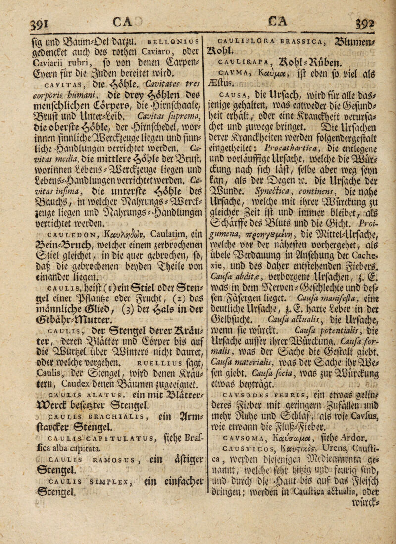 fig unb33aum#Delbatju. »euonids gebender α«φ beS tetbcn Caviaro, ober Caviarii rubri, fo oon bene« €atpen# ©kto für bte 3tit>cn bereitet wirb. cavitas, bie <5,0blc. Cavitates tres corporis humani, bie bl'ey <5>0bklt ÖC0 menfcblicßen Covpero, bte >pirnfd)aci(e, S5tUft Utlb Unterleib. Cavitas fuprema, Pie ober fle <5><$bk, feer >£>irnfcbebel, »or# innen finnhcbeCtBerdfeuge liegen unb finn# tid)e pxanbtungen r>crrtd)tct »erben. Ca¬ vitas media, tue mittlere <oohle ber 35ru|t, »ortnnen Gebens #ilßercfaeuge liegen «nb £ebenS#<£)anbhingenoemchtet»crbcn. Ca¬ vitas infima, öte tttttcvfic -5,<5ple bei Sßauchs, in welcher SUaljtungS/'äBercf# jeuge liegen unb SfyrhrungS # dganblungcn »errichtet »erben. cauledon, Καυλ-ή^ύον, Caulatim, ein 23etn?23i'ucß, »eld)cr einem jerbrod)enen (stiel gleid)et, in bie quer gebroden, fo, ba§ bie gebrochenen beiden ^i)eile »on einanber liegen. caulis, bcift(i) ein Stiel ober Steit# gcl einer sj>flani?c ober §rttd)t, (2) bas mAnnlid» (Slieö, (3) ber 4>ale in bet <0ebßbvitn»ttev*. caulis, ber Stengel betet· 2U*ätt# tet, bered Blätter un6 (Eerper bis auf bie (2ßitrbel über Stßtnters nicht bautet, ober »eiche Oergehen, ruellius fagt, Gaulis, ber (Stengel, wirb benen Äräu# tern, Caudex benen Socutmen jugeeignet. caulis alatus, ein mit 23lAttev# XVetcb befetjtev Stengel. fAULIS BRACHIALIS, ein 2lvm* flötcfet Stengel. cavliS capitulatus, ftei)€ Braf- Cca alba capitata. caulis ramosus, ein Aftiger Stengel. caulis simplex, ein einfacher Stengel, cauliflora brassica, 7Sfmmw Aohl. CAULIRAPA, 2\θ£>υ5\»Η»η. cavma, Καύμα, jft eben fo btel als ./Eftus. causa, bie llvfacf), »irb für alle bas* jenige gehalten, »as entweber bie ©efunb# heit erhalt, ober eine SUandheit »erurfa# chet unb juwege bringet, ©ie Urfadjen betet Krankheiten »erben folgenbergejlaft eingetheilet: Vrocathmka, bie entlegene unb »orläujfigc Urfache, »eld)e bie 3ΐηα·# düng nach ftd) laft, felhe aber »eg fegn fan, als ber ©egen ic. bie Urfad)e bet dßunbe. SyneBica, continens, bie nal)C Urfache, »eiche mit Ihrer ‘Sßürdung ju gleicher Seit ift unb immer bietbet, als (Schärfe bes $3luts unb bte (Sicht. Proi- gumena, 7ίξοψ/8μίνη, bie ‘•DlittehUrfadje, »eld)e oor ber nähefen »orhergehet, als ubele Verbauung in 2lnfel)ung ber Cache« xie, unb bes hoher entfiehenben §ieberS. Caufa abdiu, »etborgene Urfad)en, 3, (2. »aS in bem Hfter»en#(35efd)lechie unb bef# fen §äfergen heget. Caujh manfefta, eine beutiid)e Urfache, 3. <2. harte £eber in ber @elbfud)t. ^ Caufa aBualis, bte Urfache, »enn fte »fireft. Caufa potemiaUs, bie Urfache aujfer ihrer 2Bürdung. Caufa for¬ malis, »as ber (Sache bie ©eftalt gtebt. Caufa materialis, »aS ber @ad)C t(>r TÜ5e^ fen gtebt. Caufa fecia, »as juv ‘ilSurcvung etwas bepträgt. CAVSODES FEBRIS, ein etwas gehn# bereS §teber mit geringem gufällen utib mehr Övttbe unb (Schlaf, als »te Cavius, wie etwann bie $lufj#$ieber. c a v s ο m a , Kχύσωμοί, ftcl)C Ardor. causticos, Μαντικοί, Urens, Cau/ti- ca, »erben biejentgen 93icbieamenta ge# nannt, »eld)e fehl’ htbig u:jb feurig fttib, unb fcureb bie <£)auf bis auf bas ^leifd) bringen; »erben in Cauhica aUualia, ober
