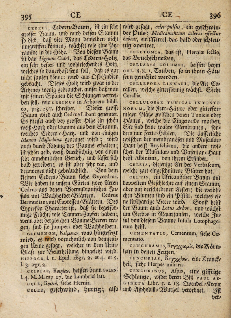 cedrus, £cbern#23auni, tfleinfe|r gtoflet fBamn, unb wirb beflen ©tamm fobtcf, öa§ Pier Sftann bcnfetben nid)t umgreifen fbnnett, wctd)fet wie eine 'JM)# tamibe in bie φόί>ο. 9Bon btefem33aum i|t bad Lignum Cedri, bClÖ Cebeut^^tOlB/ ein fc^r pefeed unb wohlrtedjenbcö £οίή, welches fo bauerbaft fepn feil, baf ed gar nicht faulen f onne: wirb and Dfl#3nbicn gebrad)t, ©tefed dboil? wirb par in bev Slr&ene») wenig gebraud)et, aujfer ba§ man mit feinen ©pänen bte ©erlangen perttei# ben feil, Wie ursinus in Arboreto bibli- co, pag. 297. fchretbet. ©tefer greife Q$aum wirb auch Cedru»Libani genennet. Sd fltejfet and) bet) gtoflet ddifee ein (dien weif ddavfp ober Gummi audbem©tawm, welches Sehern #döati5, unb pon einigen Manna Maftkhina genennet wirb ; wirb aud) burd) Sufcung bed 35aumd erhalten; tfl fd)on gelb, weif, butchftd)tig, pon einem fet>r annel)mlid)en ©etudf, unb taflet ftd) balb jerretben; cd ijt aber feflr rar, unb betowegennicht gebräuchlich. S3on bem lleinen Sehern #$8autn flehe ©xycedrus. ir tjaben in unfern ©arten pet) Sieten 'Cedrus aud beneu Q5ormubtantfd)cn 3n# fulu mit (ißad)l)0 lbet#58lattern. Cedrus Bermudiana mit Sppteflen#üS tattern. ©ed Sppreflen Sflaracter tfl, bafl fte fegelför* mige $r»d)te wie iannen^Sapfen haben; wenn aber bcrgletd)en ^äumeiÖeeren tta# gen, ftnb fte Juniperi ober <vlßad)()olbern. c e i m e N ο n, Κείμενον, WU6 bitigefetjt wirb, ed wirb vornehmlich non bemjent* gen Urine gefagt, welcher in bem Urin# ©lafe jur Sßeurtheüung bingefebt wirb. HippocR. 1. i. Epid. i£gr, 2. et4. et f. 1. 3. aegr.2. ceiriae, Ketqieu, fletflcn bet)tngalen. 1,4. M.M.eap. 17. bte Lumbrici lati. CELe, Κοίλη, flefle Hernia. celer, gefc^winb, hurtigv, alfo wirb gefagt, «der pulfus, ein gefdfwin# ber Pule; Me die am eht um celeres effeci us habens, ein Wittel, bae balb ober fehlen# mg operiret. celετομιλ, bad t|t, Hernia: feaio, bad 23rtid)fd)netbctt. CELLARES COLUMBI, hetflen bepm col. 8* 8. r. Cauben, fo in ihren fern gemdflet werben. CELLEPORA LINNAEI, t)jC 2(lt Sfr* rallen, rneldje gitterformig wäd)fl. ©ielje Corallia. CELLULOSAE TUNICAE INTEST I- n 0 f u m , bte Setu-^htte ober gttterfor# migen QMahe pifd)en benen Tunicis ober •Öauten, welche bie Singeweibe machen, ©t'e ftnb feine wahre Membranen, jon# bern nur §ett# fohlen. ©te ctujferltd)e pifchen her tnetnbranofen unb ^Kufcular# döaut hetft Ruyfchiana, bie anbere pt# fd)en ber SRufcular# unb SBafcular>Tjaut hetfl Albiniana, pon ihrem Srflnber. celsia, biejenige 2(rt bed Verbafcum, welche jart eingefd)nittcne glatter hat. celtis, ein $lfrtcantfd)er $3atttn mit boppeltem @efd)(ecl)te auf einem ©tamm, aber auf perfchtebenen Sleflen; bte weibit# d)en Blumen ftnb ein ^iflin, welche« et# ne firfchartige sS3ccrc wirbt ©onft betfl ber 33aum auch Lotus Arbor, unb wächff um ©erbod in iOlauritanien, welche 3n# ful Pon btefem Q3aume Infula Lotophago¬ rum hetfl, ■ , . cEMENTATio, Cementum, ftei)C Cx·- mentatio. cenchramis,ΚεγχςχμΙς, bieÄOtn# lein in benen Sctgcn. ce n chrias, Kfyyglcte, eine Ärancf# Witf ftct)C Herpes miliaris. cenchrinus, Afpis, eine gtfftige Schlange, wiberbereu y3tj? eaul ae- gineta Libr. c. 18. .Ö.PenbeGÄraut unb 2l|phobill#apur(5cl perorbnet, 3fl per#