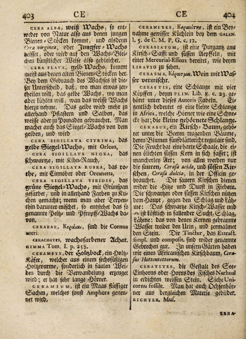 J-ΤΠΙΙΙΊΓ-r ΤΙΓΤ—ΜιΤί -T I II I lmm mm . ^Ι^τπ~ΤΓΤηΤτιτMBWfM cera alba, weiß ΪΡαφο, fo ent# webet wn hiatur alfo aus t>encn jungen i&tcnen # ©iocfcn fommt, uni» atsbcnn Cera virginea, ot>CC JltUgfeU # ΧΡαφα helfet / ober votvb auf bcn QBad^lSlet# eben iunflid)cr IBeife aifo gebleicht. cera flava, gelb ΪΧ>αφα, fomtrtt roeif aus benen alten i£ienen#©tecfen l>er- SSei) bem ©ebtaud) beö <2Bad)feö tf bie# fev Unterfd)etb, ba§, wo man etwas $er# tbeilen will, bas gelbe d8ad)S, wo man aber füttert will, wan bas weife 2Bad)S bietju nehme. ©as gelbe wirb mei>v ja aHetbanb ffiaflem unb ©alben, bas weife aber ju^omaben gebrauchet. 9Jian macbet and) bas©iegel#2BacbS non beut gelben, unb wirb CERA SIGILLATA CITRINA, bdS gelbe ΘίegelAft?aφa, mit Orkan, CERA SIGILLATA NIGRA, bUS fet)ixmfBe, mit i\il)n#3vaud), CERA SIGILLATA RUBRA, bttS PO# tbe, mit Cittttobet Obev Orcanetta, CE RA SIGILLATA VIRIDIS, bUS grüne Siegel #ΧΧ>αφ6, mit ©runfpan gcfarbet, unb inallevl>anb gatben ju iiu# eben gemacht; wenn man aber Kerpen# tl)tn baruntec mifcbet, fo entliefet bas fo genannte f>el|# unb >))fropf/lBad)S ba# »on. ceraeAe, Kεξΰιχι, finb bte Cornua »teri. cerachates, ρραφ^αΦβηβη 21φαί. simma Tom. I. p. 358. ceramb v.\,ber v^oltjbocb, ein »jjolf Safer, welcher aus einem fcdtSfifigen fjoiij wurme, fouberltd) in faulen 'ißei# len butd> bte fSetwanbelung erzeuget rb; er b e e r a m i u m , if ein “cSHaaS fufiger ©adien, welches fonf Amphora genen# net witb. CERANI1ES, K εξΧνίτ*!? , if eintet)# nähme gemtfer Äucblein bei) bem galsn. 1. 5. de C. Μ. P. G. c. 12. cerasiatum, jf eine ^urganh ans Sitfd)#©aftunb fufcn Slepfeln, mit einer Mercurial-Eflenx bereitet, wie beptn libavio $u feben. CERA SM A, κίξοισμΜ,ΧΌάχι imtWaj# fer vermifcf>t. ^ cerastis, eine ©dfattge mit nier Hopfen , bepmpLiN. Lib. g. c. 23. ge# boret unter biefeS Autoris gabeln. ©# gentlid) bebeutet es eine fletne ©cblange in Africa, welche ferner wie eine ©ebne# de bat;bte Cleine gel><5rnete θφΐίπ^α. c e r a s u s, ein ΖΑίΐ'Γφ f Saunt,, gel)o# ret unter bie Leeren tragenben iimutne, beren Blumen funfblättericbtregulair ftnb. ©te grud)tl)at eine batte ©cbaale, bte et# nen oltdfen fifen Sern in fici) fafet; if mancherlei) Qirr; oon allen werben nur bie fauren, Cerafa acidar unb fufen 2Air# Γφοη, Cerafa dulcia, tn ber Dficin ge# braud)et. ©ie fauern Sttfd)en bienen wtber bte -pike unb ©utf in giebern. ©ie‘(d)wati5cn ober füfett Sttfcbeit nüfeen bem-paupt, gegen ben ©eblaguttbSal)# me: ©as fd)war|e Sitid)#<2Bafet unb λ if fofltd) in fallenber ©ud)t, ©d)lag, Sabme; bas non benen fernen gebrannte iißafer treibet ben Urin, unb jermalmet ben ©teitt. ©ie Tinönr, baS E-\traft, fimpi. unb compofit. finb wiber genannte ©ebreeben gut. 3n urfetn ©arten l)aben wir einen 5ifvtcanifd)en ititfd)baum, Cer*· für Hottenlotterum. ceratites, bte ©efalt bes ©ee# Sinlwrns ober Öornsbes gifdjeS N’arhual in erbid)ten weifen ©tetn. ©tcbeUni- eornu foffile. 0)latl l)at atld) Od)feul)0V# ner aus bergleid)en “Slatetie gebilber. RICHTER. MuC ££RA·