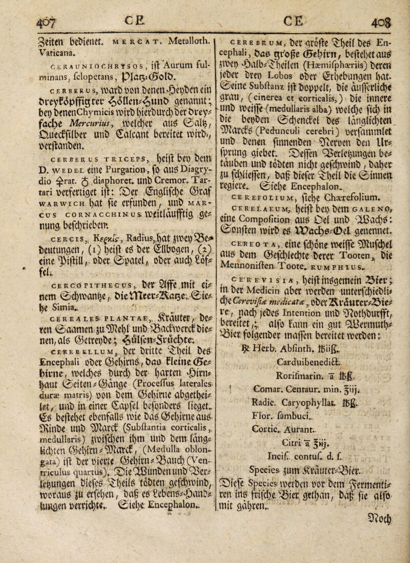 « Jv gciten bedienet, mergat. Metalloth. Vaticana. t e r a u n x 0 c h r τ s o s, ift Aurum ful¬ minans, fclopetans, pißtjiiBiOlÖ. cerberus, warb non benett-öepben ein bieybopffigcec <£><5lIen*4)Unt> genannt; bei) benenChymicis voirb l)ierbuvd)ber övey* faebe Mercurius, welcher auß ©αίΐ/ Ctuecfftlber unb €a(cant bereitet wirb»/ »erftanben. CERBERUS TRICEPS,, l)Clft bet) bCttt D. w e d el eine Purgation, fo auß Diagry- dio ^rat. diaphoret. unb Cremor. Tar¬ tari perfertiget ijt: ©er ©tgltfcfye ©raf warwich bat fte erfunben/ unb mar¬ cus CORNACCHINU&tpeitlauffttg ge* nuttg befebriebem cercis. KEgJi/ir, Radius,bat jwepQ5e** beutungen, (i) b# eß ber Ellbogen, (2) eine dMitill / ober ©patel,, ober auch £of* fei, ' ‘ cercopithecos,, ber 2(ffe mit ei* tiem ©d)wan|e„ t»ieXüta^att,ci ©te* be Simia. CEREALES. PLANTAE,, Ätatltet> bC* ren ©aamen ju.’SRebl unb Sßacfwcrcf bie* neu, als ©etrepbe; ^ÖIfett*5ruci>te; cere b ellum, ber brittc ©)cil beß Encephali ober ©ebirttö , ÖöO bleiue (Bes turne, welches burcl) ber barten Joirn* l)aut ©eiten *@ange (Proceflus laterales: dura; matris) oon bettt ©ebinte abgetbet* Sei, unb in einer Zapfet befonberß lieget, & beftebet ebenfalls wie bas ©ebinte aus Sunbe unb “3)iarcf (Subßantia corticalis „ medullaris) ptfd)ett il)m unb bem lang* liebten @e!)irn *‘tOlaref, (Medulla; oblon¬ gata) ift ber oierte ©ebirn*33aud) (Ven¬ triculus quartus), ©ie (XBunben unb 93er* tefeungen biefeß ‘©IjetlP tobten gefdptnb, worattö ju erfeben, ba§ es i'ebens*£)anJ* totgen »errichte, ©tel)e. Encephalon,. cerebrum, ber grofte ^bcilbes En¬ cephali, öae grbjje (Be!)irn, beftebet aus’ P«t> 'Öa(lW>hcilctt (Haeniifpha;riis) betCtt jeber bret) Lobos ob« Stbebungen bat- ©eine Subflan?. ift hoppelt, bie cuiffcrlid)« grau, (cinerea et corticalis,) bie innere -unb VOeiffe (medullaris alba} welche ftd) in bie bepben ©cbencfel beß lc.nglid)ten (Pedunculi cerebri) t>et|dtttttt(et unb betten ftnnenben ^fieroen ben Ur*. fprung giebet. ©effert Q3erie|ungen be* tauben unb tobten ntd)t gefcfjvcinb, habet IR icbiieffeny ba§ btefer $beil bie ©innen, regiere. ©td)e Encephalon. cereeolium, ftebe Chaerefolium. C E R EX A E OMj. [)βί(ΐ bet) bettt G A L Ε N 0, eine Compofltion aus Del unb \ißad)ß: ©Ottften wirb eß tt?ed)ei©et genennet. cereo τ α, eine fd)0newetffe 5Rufd)el auß bent ©efcbleebte berer; Tooten, bie MennOniiten Toote, rum p h tu s. ce:r e v i s i ä ,betjlinßgemein Siet· tn. ber Medicin aber werben untetfebiebü* d)C Cerevißa medicata „ ober 2\l'CtUtetv23te* re, ttad) jeheß Intention unb ^Rotbburjft, bereitet,;, alfo fann ein gut dUennutl)* ^ier folgenber tnajfen bereitet werben: Ψ Herb. Abfinth, Ißiiß.. Carduibenedift. Rörifmarin. a Ibß- • Comar. Centaur, min. jiij. Radic. Caryophyllat, ibß. Flor, fambuci.. Gortic. Äurant.. Citri a Ineif.. contuf., d; f. i * Species jum ^vauictvSBia*. Stefe species werben Dor bettt ^errnenitV ren m frifebe. iBier gefyan, fte atfo mit , ! '■)