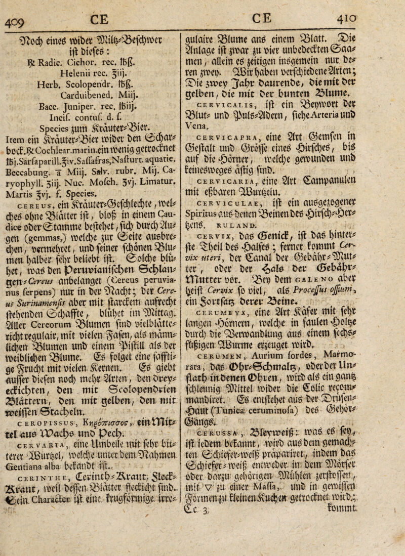 409 2Rod) eines votber ^ilfjCiSefcbwet ift biefes: Radic. Cichor. rec. föß. Helenii rec. §iij. Herb. Scolopendr. ffiß. Carduibened. Miij. Bacc. Juniper. rec. ifeiij. Incif. contuf. d. f. Species pm SvtaUtet^-Bter.^ item ein Ärautefe-Bier wibet ben fedpv boci.Be Cochlear.marin.ein wenig getroefnet it>j.Särfaparill.Jiv.Saffafras,Nafturt.aquatic. Beccabung. ä Miij. Salv. rubr. Mij. Ca- ryophyll. giij. Nue. Mofch. 3vj· Limatur. Martis jvj. f. Species. c e k e us, etn i\tauier<©efcl)ied)te, wef d)e» ot>nc Stattet ift, biofj in einem Cau¬ dice oberfetamme befielet, ftcb burd) 2lm gen (gemmas,) welche pt fecit e auobre* d)en, vermehret, unb feinet fdfnen men balber fein· beliebt tft- feolcbe bim bet, was ben Peimnanifcben θφίαη* gen Gereut anbelanget (Cereus peruvia- nus ferpens) mit in bet 2f.td)t; bet Cere¬ us Surinamenfis aber mit ftattfem aufrecht (bel)cnben ©d).affte, blubet im Mittag. 2111er Cereorum Blumen ftnb vielblätte* riebt regufatr, mit rielenf^afen, als mann* lieben Blumen unb einem -fiftill als ber weiblichen diurne. SS folget eine faffti# §e Srud)t mit vielen, fernen. 1 ©S siebt auffet biefen nod) mebt2lttcn, benövey*! ecEkftett, ben. mit ecoiopenöuen flattern, ben mit gelben, Öen mit; tt?etffcrt ©taebeln. c EROPissus, Κν,ξόπισσΰΣ', etlt'Tiiti tel «ita ϊΡαφν unö Ρνφ. cervaria, eine Umbelle mit fein bit¬ terer fButfeci, weld)e unter bem 2Ral)men. Gentiana alba betäubt iji., . c e ui n t h e , Ccnnti;* Ävernt, Slccf5 Kvattt, roeil beffw SBIatter. fiecEiebr ftnb.. Cetn. charatfef ift eine, frugforwige. irre*·. gulatre 33(ume ans einem (Blatt. (Die Einlage ift jwar p vier unbebed'tetifeaa# men, allein es zeitigen insgemein nur be* ren jwet). ©3ir haben verfd)iebene Sitten; ©te jvocy jabv öauvenöe, ötemttöet gelben, öte mit öev bunten Zinnie. cervicalis, tft ein 5Sei)W0rt bet 53lut* unb ^uls?2lbern, fiebe Arteria unö Vena. cERvicAPRA, eine 2ltt ©emfen in ©ejtalt unb ©reife eines 'f)irfd)eS, bis auf bfe Vtcrnct, tv e Id; e gewunben unb feinesweges aftig ftnb. _ cervicaria, eine 2ltt ©ampauuiett mit efjbaren (fBuvheiu. cerviculae, tft etn ausgewogener Spirnus aus öewen SBetnenbeS ^ttfcifdder^ bens. r u l a n d. CERVIX, bas (Sentcf, ift bas hinter* fte i$bcil bes -ftalfes; ferner fommt Gr- vix uteri, ber Canal ber ©cbdbmtBiut* ter, ober ber ^ale öev <0eb<Sbm iTIutter vor. 93ev> bem emso aber beif Cervix fo Viel, als Procejfus offiuni, etn Swtföt; öerev 23ettte. cerumb Yx, eine 2lrt ^äfer mit febr langen •fternern, welche in faulen >f)olt$e burd) bte QJerwanblung aus einem fed)S* fitfigen SBurare erzeuget wirb, cerumen,. Aurium iordes, Marmo¬ rata , baS (ΙΜρνθφηιαίν;, oberber Um flatb in betten ©ften, wirb als ein ganfs ! febieuntg Mittel tviber bte Coltc recom* manbiret. Cs. entffebet aus ber ©rufen? djaut (Tunica; ceruminofa) beS @el)Öt# ©angs^. ce r uss a ,. Sfeytuei^:: moS es fet)* tft tebem beEannt, wirb aus bemgemach* ten. fed)tefetiweif praparivet, tnbem baS 0d)iefer#wetf entweber in bem Sfcrfcr ober, barp geborigen ÜBbblen jerfloffett mit V'p einer Mafia,, unb tii gewiffen gowtenpfieinen^ucbeK getroefnei. wirb.;. Ce: 3j fommt