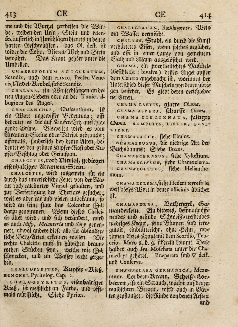 414 me unfe feie üßurhel jett|et(en feie üBin# fee K treiben feen Urin ,t fetein unfe Men- fes.aufjcvlid) inUmfd)iftgenbienet3 $u fernen garten ©efchwulfien, feaö 01. deft. tjl wifeerbie (Eoüc, Ü?teten#üBe!) unfe fetein bewahrt Saö Staut gehört unter feie Umbellen. CHAEREFOtlUM Ä C I C U L A T ü M , Scandix * ncidt) betn plinio, Fe£ien Vene- ris.nabetÄerbel/ftei) C Scandix. chalua, ein üBa j|erbia§gen an fee# nen 2iugen#£iebem ofeer an feer Tunica al¬ buginea fees flugeO. chai.cas viu s, Clialcanthum, f|J ein üBort ungewiffer 5£eÖeuiung;; offt befeeutet efe feie auf StU)fer#$rfe ausfd)La# genfee ©tune, ioisweiicn wirb eo 00m 2(trament#feteine ober ÜSiteiot gebraust; offttnals, fonberiich bei) fecnen Sitten, be# feeutet es feen grünen &upfcv#3toft ober Su# t>fer#i£efchiag ober ©rünfyan. chalcites, rotfe Vitriol, gebtegen eifenhaitiger 2itrammt#®tem. chalcitis, wirb insgemein für ein feurd) feas unterirfetfche Seuec »on feer 3ui# tut retl) calcinirtee Vitriol gehalten, unfe jur iBerfertigung beO ^heriaefe gefud)et; weil es aber rar unfe bieten unbekannt, fb wirb an feine flatt feaö Colcothar φ-ϋ fearju genommen. ÜBenn feiefes Chaki» ris älter wirb, unfe fid) öeränfeert, wirb eO attd) Miß), Mclanteria utib Sorji geilen# net ; cbwol anfeere feiefe alle für abfonfeer# liehe gßcrg#flvten erfennen wollen. Sie reifte chakhis nuif in hubfehen braun# rothen totttefen feim, welche wie fehmeefen, unfe im Gaffer leicht jerge^ hen. CHALICRATON, KcfhkgOiTCV , ÜBeirt mit ÜB aller oermifefek cha l y ss, ©tahh ein feurch hie Sunfi oerhatteteO Sifen, wenn folcheb geglühet, unfe offt in einer fange oon gemeinem @aiij unfe villaun auogefofd)et wirb. chama, ein jwei)thetlid)teö ‘tOiufchel^ @efd)tecfet (bivalve) feefjen finget auffer feem Centro angebracht ifi, worinnen feeur Unterfd)iefe fetefer ff'Itifcheln oon feenen libri#· gen bejiehet @0 giebt feeren oerfd)tebe^ ne Sitten. ε h aha e a e vtsy glatte Chama* CHAMA aspera, fd)avffe €hama. C H A M A C I R G I N N Λ T A , faltig t£ €kama+ r u mbhius,, lister,, uual- t I e r r. G HAM A I A GTE, ftCl)0 EbuIuS» g h a mae b u xu s, bie nichtige Sfct be£ 33ucl)0bautri^: ©ielje Ehxhs. G h A M Ä E C E R ASU £ r p|})C Xyloftimi. e h a m a e c i s s w s, fici)C ChanifPclema. g h a m a e-c i- s t u s v ftct)C Helianrh£- mura.· ift c η a M*a e ce eM A,fvcl)C Hedera terreflrrft, ϊφ ilBoitiiT fcenenoffieinis ubitdiee GHAMAE DR Y S ,, JOOXX)ttiQt\/ <DCt? manbwidn. Sin bitte^e^ bemnad) off^ mnfe# unö gelinge @d)Voei§^ treibent)e# niebrige^ ^autr feine^immn fint) \m* gulait, einWattend^t, oi>ne ^eim7 m? rinnen Äeaut mit öem Scordio3 Ten- ; crio, Maro ttjfc gv ubetein tommt ^aibee and) Iva Mofehata unter tue Cha- msdrys gel)0tet Fra?parata fint) V deft. Unb Conferva.. CHAT COP Y R ITES, ÄUpfee * '&ÜL· henckel Fyritolog. Cap. 2. eh a ic op y r 1 t e s, etfen^nltiger Kiefy jfl meifiic^t an Satbe, unb offft malö wutpclft ©iel)e fpm. & h a m ae l a e a ö er m a eJ i C A y Meze- reum, (βφφίί&ν? ein @tmnc|:, η>άφ^ aufbetw ^albidjten bergen r \νϊΦ αηφ in @ar^ ten>OTfian|eti bieOvtnbe m benen Stegen: