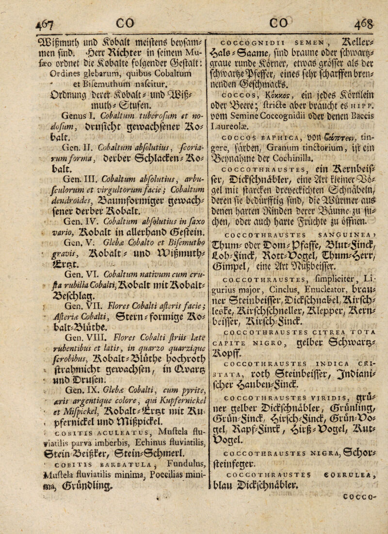 aBsjjmufi) unb ivobalt mciftenö bepfatm men ftnb, TfW)tee in feinem Mu- feo orbnet Die Äobalte foigenber ©cftalt: Ordines glebarum, quibus Cobaltum  et Buemuthum nafcitur. Örbmtng fcevet Äobait * uni) mut b* (Stufen* Genus I. Cobaltum tubero fum st no¬ do fum, &vuitci)t geivaciffener halt. Gen. II, Cobaltum ab(blutius, fcoria- rum forma, öeubei: ©d?lad:en^ Äo* COCCOGNIDII SEMEN, 2\cl!eiV ^αίο^θααηιο, finb braune ober fcfcvoarl* graue runbe ferner, etwas groffer afö ber f^it>ar|e Pfeffer, eineö fefyr fdjatffenbren* nenben @efd)macf£. coccos, Κοκκοιτ, ein jebe$ Ä'otnfein ober ^3eeve; ftrifte aber braucht e^ h i p p. oom Semine Coccognidii ober benen Baccis Laureolae. coccos b AP hi ca, OOU Cdmetv, tin¬ gere, färben/ Granum tinftorium, ift CIU Q3et)nai>me ber Cochinilla. bölt* Gen. III. Cobaltum abfolutius, arbu- feulorum et virgultorum facie; Cobaltum dendroidesy 25aumfovnrigev getvad^ (euer bevber Äobait; Gen. IV. Cobaltum abfolutius in faxo vario, Äobalt in aUetrfyanö (Seffern. Gen, V; Gieba Cobalto et Bifemutko gravis, Äobait * unb Wifimutty i£ret* Gen. VI. Cobaltum nativum cum cru- fia rubilh Cobalti, Ziobalt mit Z\obalt- 25efcl?lag. Gen. VII. Flores Cobalti ajleris facie ; • Afteria Cobalti, ©tevn^ förmige ÄO* balt^Slutbe* Gen. VIII. Flores Cobalti flriis late rubentibus et latis, i« quarzo quarzique firobibus, Kobalt* 2$lutl?e Ι^οφνοφ k (lrabmid)t gew>ad)fen, in <Tb?ai4i$ * imb ©rufen. Gen. IX· Gieba Cobalti, r&w pyrite, ■ ^r/V argentique colore, Kupfernickel • ** Mifpickel, Kobalt et mit Ktt* , pfetmcfel unö H7i$pt(fel ; coiiiTis aculeatusy Muflela flu- riatilis parva imberbis, Echinus fluviatilis, ©lein Seipet> ©tciiL0c^merI. * c ob it is barbatula j Fundulus, Muftek fluviatilis minimay Poccilias mini- ©vunbiingt coccothraustes, ein Kentbeiff fer, ©icffc^nabfeiv eine 5ivt f feiner 936* sei mit ffarefen bra)ecbid)ten @c|nabe(n, berenfie bebürfftig finb, bte 9Bürmer au& benen garten öunben berer ^aume p fit* d)en, ober aud) barte gxüc!)fe p offnen. COCCOTHRAUSTES SANGUINEA) Cinum ober 2D6m* Pfaffe, ZSlut^tnd?, Hob^inct, Rott*Üogel, O}nnv£>tvv, (Simpel, eine 2fri beiffiT. coccothraustes, fimpliciter, Li.· gurius major, Cincius, PJnucleator, bl'öUi net* 0tetnbeiffee, IDicffcbncbel, Ättfci)* leeFe, Äivfd>fc^neller, Klepper, ZAenv beiffev, Ζνίΐ'Γφ^ύκί. coccothraustes citrea tota capite nigro, gelber Θφινανΐ5* ZAopff. coccothraustes indica cri¬ stata, rotl) Steinbeißer, jiibianb fc^>ec $>aube\vSindi. COCCOTHRAUSTES VIRIDIS, gi’U* ner gelbet iDicbfcfmabler, dmmltng, (Seun^Smd, 4)it*fcf)#Smcf, önumUo* gei, ZxopfiSmd , ·4>ύ'&# X^o0«l/ Äut* PogeL COCCOTHRAUSTES NIGRA, θφον# (leinfegcu*. COCCOTHRAUSTES COERULEA> bl«u 2>ίΦΓφη4ίΊ#. *. c o c c o