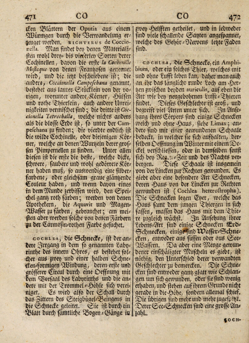 eben Söldnern fccv Oputia aus einem OBurmgen burd) bie SBerwanbelung er# jeugetwerben, richterus deCoccio- neiia. SDian fi’nbet bet) benen ‘’Dbaterialt# {len wohl brep« bis oteferlep ©orten berer €od)tnellen, baoon tue er fte la Cochenille Meßeque 0011 benen granfeofen genemiet wirb, unb bie t<|t bcfdiriebene ijt; bie nilbeve, Coccionella Campefchana genannt, beliebet aus tautet- ©tücfiein oon bet »o# eigen, tooruntet anbere Svbtner, hülfen unb rotbe ©priem, αηφ anbete Unter# nigfeiten oermifebet ftnbbie britteiftCoi·- cionella letrechalla, VOClctjß nichts OtlbetS als bie bloffe <$tbe tft, fo unter bet Cam- pefchana juftnben; bie oterbte enbltd) ijt bie wilbe docbinellc, ober biejenigen Ä’ov# net, weldje an benen SSBurheln betergrof# fen SJMmpetnellen su ftnben. Unter allen biefen ijt bie et|ie bie bejte, welche biefe, fdjwere, faubere unb root)t gebettete ffor# net haben nuijj, fo auswenbig eine ftiber# fatbene, ober gteiebfam graue gtanfeenbe €outeuv l)aben,, unb wenn baoon eines in bcmrDtunbe jerbiffen wirb, ben ©pet# d)el ganh totl) färben; werben oonbenen 2Spotl)eietn, bte Aquavit unb “Stagen# affet ju färben, gebrauchet; am met# fien aber werben feld)c oon benen Färbern ju ber €atmofin#roil)en garbe gefuebet. cochlea, bie ©dmecEe, iji heran# bere Hergang in bem fo genannten üabp# rintbe bes Innern Obres, es beliebet fof# iber aus pep unb einer t>atben ©ebne# tfen#fortnigen PBinbung, beten erfie unb cröfleter ©rcul bureb eine Oejfnung mit bem 'Sßerfaat bes £abptint|S unb bie an# bere mit ber Trommel #·ΡέΙ)ίί ftd), oeret# ntget. Ss wirb alfo. ber ©cijall bureb bas gittern bes ©teighttgei#S5eingens in bie ©ebneefe geleitet, ©te ijt bureb ein ^3latt bureb fänuliebe 53ogen # @änge tu pe»> «pelfften getbeilet, unb in iebweber ftnb oiele feballenbe ©apten angefpannet, weiße-bes @et)ör#PteroenS lebte gaben ftnb. cochlea, bie ©efmeefe, ein Amphi- bium, ober ein fold)es ©)ier, weiches mit unb ebne Sufft leben f an, bähet man aueb an tl)t bas länglid)t rttnbe £od) am ‘-per# pen ptfdjen bepben auriculis, auf eben Die 3lrir wie bep neugebobrnen fujft# ©)teten ftnbet. ©tefeS @efd)fed>ie iji gro§, unb begreift oiel Sitten unter ftd). 3n Slnfe# bang ihres (fetpets ftnb einige ©ebneefen weict) unb ebne «paus, fiebe Limax j an# bere ftnb mit einer gemtmbenen ©ebaale ■ bebeeft, in welcher fte ftcb aufbaiten, ber# felben Oeffnung tm 'Sßinter mit einem ©e# drei oerfeblieffen, ober in bemfelben fon|i ftd) bep Pvegar #=geit unb bes Piad)ts per# bergen, ©tefe ©ebaale iji insgemein oon ber ttucicn jur 9iecbten gewunben. (SS giebt aber eine befonbere Slrt ©ebneeben, beren Söaus pon ber Sincben jur Peecbten gewunben iji (Cochlea heteroftropha). ©ie ©dineeben legen ©)er, weidje bas •paus famt bem jungen ^bürgen in ftd) faffen, majjen bas >pauS mit bem “i bte# re jugletd) wäcbft. 3« Slnfebung ihrer £ebens#2(rt ftnb einige ©ebneeben t£ib# ©cimecbett, etnige^inb lPaffer#©cßne# eben, entweber aus fitjfen ober aus ©ee# PBajjern. ©a aber eine Stetige gewun« bener einfcbäligter <i9iufd)etn es giebt, t|t nothtg·, ben Unterfebteb berer oerwanbten @efcbled)ter ju bemereben. ©te ©ebne# eben ftnb entweber ganfe glatt wie ©ebtan# gen um ftcb gewunben, ober fte ftnb wenig erhaben, unb fieben auf ihrem ©rttnbe nicht gerabe tn btC'pobe, fonbern allemal febief. ©ie übrigen ftnb mehr unb triebt jugefpibt. ©erer ©ee#©eb,necben ftnb eine groffe Sin# i jal)l,. f o e η-