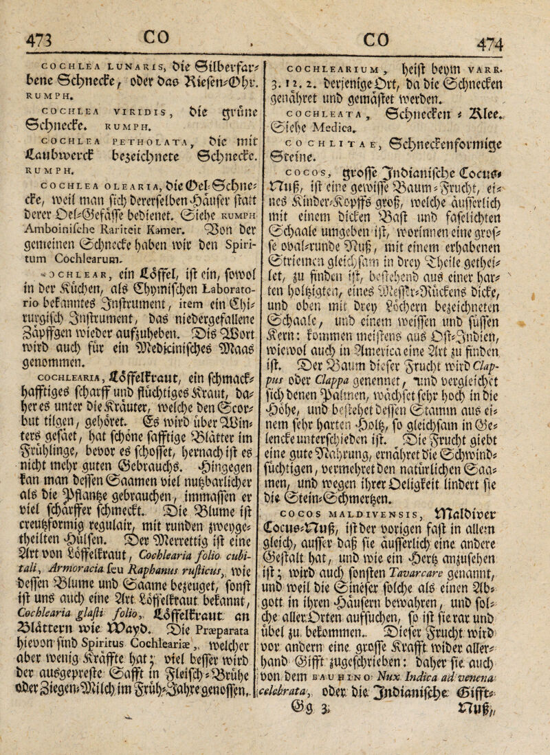 474 COCHLEA LUNARIS, C>tV ©tlbci'füfi bene Setmeefe, ober öao 7iiefens<Dfyi·. RUMPS, COCHLEA VIRIDIS, t>t£ ttVIlilC ©ci)nccfe» RUM 1>H. COCHLEA PETHOLA TA , ΪΗ0 ttlit HütUnverä: ke$etd)iiete ©ctmectc. 6BMPB, COCHLEA OLEARIA,t>te(Dc(©C^ttC* ehe, weit man jtd} berevfeibert -i^dufcv frait bevor Deh@efäffe behtenef. (Siebe kumph Amboinifehe Rariteit Karner. Q3on bCV gemeinen @'d)necfe haben mir ben Spiri¬ tum Cochlearum. COCHLEARIUM, l)0tfl bO^VH VARK. 3. 2. bevjentgeOrt, t>a bte (Schnecken genähret unb gemäfiet voerben. jocbleata, ©d>ne<fen * 2Mee. (Siehe Medica. co c h l 1 t a e , ©dmecfenfovmige cocos, gvoffe Jnbiönifdje Coato* Huf, ift eine gereifte Sßaum *Frucht, eU ncö Äinbeivilopp groft, meid)e äufterüd) ttiit einem bieten i$aft unb fafeltchien @chaa(e umgeben ift, mormnen eine grof* fe ooakrunbe 5Rufj, mit einem erhabenen [ (Striemen gieichfam in brep ^i>cüe gethei ocHiEAR, ein Hoffet, ift ein, forooi (et, fu ftnben tfi, beftehenb fluö einer har# m ber .fueben, aiö ©}t)mif;i)en Laborato- ten ftoifeigte® eineö ^efiSÄcftri« biefe, no befannteö 3n)ttument, item ein ©m unb oben mit Drei) Lochern bejeichneten rurgifd) ^nflrument, baö niebergefaüene (Schaaie, unb einem metfen unb füfte« Sapffgen voteber auffuheben._ ',Siö vXßovt Äerit: fommen meiffeno auö CfkSubien, roirb aiid> für ein iOiebicintfcbeo Ϊ0ϊαα£ roicit>oi aucf> in Stmevica eine 2(rt $u ftnben. genommen. ^ ift. ©er 55aum biefer gtud)i mrb ciap- cochleariä ? ÄoffeICt‘aut, ein fd)tncicp^ pus oOct Clappa genennet, itnb oergleidvet bafftiges fcf)arff unb flüchtiges £raut, ba* ftchbenen Taimen, machlei übt hoch in tue beregnter Dte&rauter, mefd>eben©cot; £obe, unb befielet beffen ©tamm aut ei* bat tilgen, gehöret. & wirb überein# nem fet>r barten *|)ot^, fo gldd)fam iu&e* terf gefaet, bat febone fafftige Blatter im lencfeunterfd)teben iff ©iegrucht siebt ^rublinge, beoor es fd>offet, Ijmafyift et \ eine gute Nahrung, ernal)retb*ie©cbminbi md)t mel)r gutenJSebraud)^ hingegen fücbtigen, t>enmd)ref ben natürlichen ©aa* tan man beffen©aamen biei nubbatlicher men, unb wegen ihrer Oeligfeit linbert fte ate bte y>flanbe gebrauchen, immaffen er bte ©teim©cbmer£em riel fcharffer fehmeeft.. ©te Q3lume ift j cocos maldivensis, iTIalbirer creufeformig regulair, mit runben mw* \€ocne^u% iflber Porigen fall: in allem tbeilten puffern ©er ^errettig ift eine gleich, aujfer ba£ fte aufferlid) eine anbere 4rtA>on ioffeitraut, Cochlearia folio cubi- @effalt l>at, unb wie ein $er^ anjufeben id!r ^n°racia.feu Raphanus rufiicus}) VOie ift\ mirb üud) fonften Tavarcare genannt, be)]en -ölume unb ©aame bezeuget, fonfi unb weil bte ©inefer fo(d)e afö einen 2lb^ tft urt^ auch eine 2(rt Soffelfraut betannt, I sott in ihren Raufern bewahren, unb fob Cochkana glaftt foko, CoffelEraut an \ d)e allerOrten auffuch^n, fo ift. fterar unb flatum me Wayp.. ©ie Praeparata übel ju( betommen., ©iefer §rucht voirfe bjeoon ftnb Spiritus Cochieariae ,, meld)er vor anbcrn eine groffe Krafft miber allere aber mentg Äraffte bat ? mel beffer mirb j l>anb @ifft lugefchrieben: baber fie. aud) ber au^geprefte ©afft in 5leifeb?33rübe j oon bem bau hino.· Rux indica ad venenm oßcif3i«ö«»*^£8itcfetm ofeen hie. Inötaniffbe: ®ί<&.
