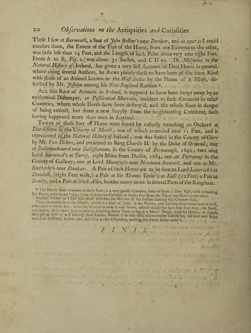 «>* .« * ao Obfervations *n the Antiquities and Curiofities Thefc I faw at Barmeath, a Seat of Bellew's near Dunfyar, and as near as I could meafure them, the Extent of the Tips of the Horns, from one Extreme to the other, was little lefs than 14 Feet, and the Length of each Palm alone very near eight Feet, From A to B, Fig. 2/was about 32 Inches, and C D 20. Dr. Molyneux in the ^Natural .Hifl ory of* Ireland, has given a very full Account of Deer.FIorns in general, where citing feveral Authors, he fhews plainly thefe to have been of the fame Kind with thofe of an Animal known in the Weft Ijidies by the Name of a Moofe, de¬ ferred by Mr. JofJelyn among his New England Rarities- *. All this Race of Animals in Ireland, is fuppos’d to have been fwept away by an epidemical Diftemper, or Fejhlential Murrain, incident to fuch Creatures in other Countries, where whole Herds have been deftroy’d, and the whole Race in danger of being extindf, but from a new Supply from the neighbouring Continent, fuch having happened more than once in Lapland. i hree of thefe Sort of Horns were found by cafually trenching an Orchard at Dardiflown in the County of Meath ; one of which extended near 11 Feet, and is iep!efented inthe Natural Hi/lory of Ireland ; one was found in the County of Clare by • Van F)elure, and prefented to King Charles II. by the Duke of Ormond’, one at xjally mackwar d near Ballyjhannon, in the County of Fermanagh, 1691 j two nea? Loid Lai neval s at Burvy, eight Miles from Dublin, 1684, one .at Fortumny in the County of Gallway; one at Lord Mountjoy’s near Newtown Stewart, and one at Mr. Soutl\ rby s near Dunlear. A Pair of fuch Horns are to be feen'at. Lord Limerick's at Dundalk, (eight Feet wide,) a Pair at Sir Fhomas Baylor's at Kells (12 Feet) a Pair at- hew ley, and a Pair at Stock Alien, be (ides many more in feveral Parts-of the Kingdom. r •* it'1C ^°?:f Pecr- common in thefe Fart% is a very goodly Creature, Tome of them 12 Feet high, with exceedin'* faJr Horns, with broad Palms, home of them two Fathoms or twelve Feet from the Tip of one Horn to the other. ° AancKt Ci Author vas I find him cited) describes the Manner of the Indians hunting this Creature thus, J hey commonly hunt the.Moots, which is a kind of Deer, in the Winter, and run him down fometimes in half o id vvhi.e a vvhole Day, when tne Ground is cover’d with Snow, which ufually lies here four Feet deep ; the Beall, Y ) llLa' f’ even- Step as he runs, breaking down '1 rees as big as a Man’s Thigh, with his Horns, at length they get up with it, and darting their Lances, wound it fo that the Creature walks-heavily on, till tired and fpent vvnh j_,ois or fc.ood, it finks arid fills like a ruin’d Building, making the Earth lhake under it. , F 1 N I ,E