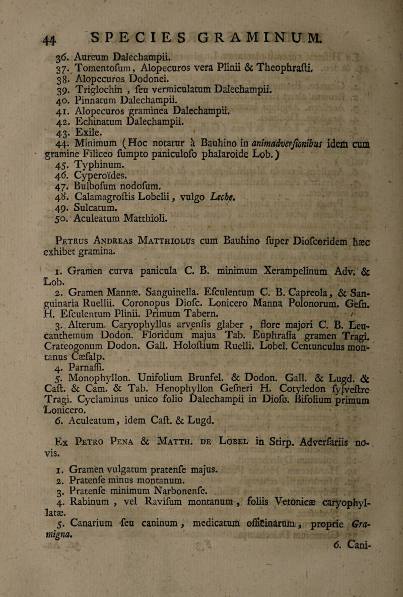 36. Aureum Dalechampii. 37. Tomentofum, Alopecuros vera Plinii & Theophrafti# 38. Alopecuros Dodonei. 39. Triglochin , feu vermiculatum Dalechampii. 40. Pinnatum Dalechampii. 41. Alopecuros graminea Dalechampii. 42. Echinatum Dalechampii. 43. Exile. 44. Minimum (Hoc notatur a Bauhino in animadverjionibus idem cum * gramine Filiceo fumpto paniculofo phalaroide Lob.) 45. Typhinum. 46. Cyperoides. 47. Bulbofum nodofum. 48. Calamagroftis Lobelii, vulgo Lechc, 49. Sulcatum. 50. Aculeatum Matthioli. Petrus Andreas Matthiolus cum Bauhino fuper Diofcoridem htec exhibet gramina. 1. Gramen curva panicula C. B. minimum Xerampelinum Adv. & Lob. 2. Gramen Mannae. Sanguinella. Efculentum C. B. Capreola, & San¬ guinaria Ruellii. Coronopus Diofc. Lonicero Manna Polonorum. Gefn. H. Efculentum Plinii. Primum Tabern. 3. Alterum. Caryophyllus arvenfis glaber , flore majori C. B. Leu- canthemum Dodon. Floridum majus Tab. Euphrafia gramen Tragi. Crateogonum Dodon. Gall. Holoftium Ruelli. Lobel. Centunculus mon¬ tanus Csefalp. 4. Parnaffi. 5. Monophyllon. Unifolium Brunfel. & Dodon. Gall. & Lugd. & Caft. & Cam. & Tab. Henophyllon Gefneri H. Cotyledon fylveftre Tragi. Cyclaminus unico folio Dalechampii in DiofG. Bifolium primum 'Lonicero. <5. Aculeatum, idem Caft. & Lugd. Ex Petro Pena & Matth. de Lobel in Stirp. Adverfariis no¬ vis. 1. Gramen vulgatum pratenfe majus. 2. Pratenfe minus montanum. 3. Pratenfe minimum Narbonenfe. 4. Rabinum , vel Ravifum montanum , foliis Vetonicae caryophyl- latae. . . 5. Canarium feu caninum, medicatum officinarum , proprie Gra- migna. 6. Cani-