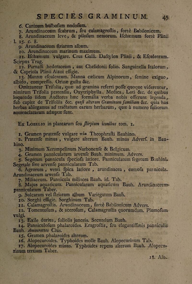 45: 6. Caninum bulbofum nodofum. 7. Arundinaceum fcabrum, feu calamagroftis, forte Babilonicum, 8. Arundinaceum leve, & pilofum nemorum. Ifchaemum forte Plinii 1. 25. c. 8. ’• ?. 9. Arundinaceum ftriatum album. 10. Arundinaceum marinum maximum. 11. Ifchaemum vulgare. Crus Galli. Da&ylon Plinii, & Efculentum, Scirpus Trag. 12. Parnaffi hederaceum , aut Chelidonii folio. Sanguinella Italorum, & Capriola Plinii Aizoi effigie. 13. Mannae efculentum. Manna caelicum Alpinorum, femine exiguo, albido, compreffio. Orizae guftu &c. Omittuntur Trifolia, quae ad gramina referri poffe quoque viderentur, nimirum Trifolia pratenfia, Oxytripbylla, Medica, Loti &c. de quibus loquendo iidem Audlores haec formalia verba nobis offerunt legenda, fub capite de Trifoliis &c. quafi alteram Graminum familiam &c. quia has herbas ablegamus ad tradlatum earum herbarum, quae a numero foliorum nomenclaturam adaeptae funt. Ex Lobelio in plantarum feu Jlirpium iconibus tom. 1. 1. Gramen pratenfe vulgare tto* Theophrafti Rauhino. 2. Pratenfe minus , vulgare alterum Bauh. minus Adverf. in Bau- hino. 3. Minimum Xerampelinum Narbonenfe & Belgicum. 4. Gramen panniculatum arvenfe Bauh. minimum. Advers. 5. Segetum pannicula fpeciofa latiore. Panniculatum fegetum BauhinL Segetale five arvenfe panniculatum Tab. 6. Agrorum , venti fpica latiore , arundinacea , comofa parnicula» Arundinaceum arvenfe Tab. 7. Miliaceum. Pannicula miliacea Bauh. id. Tab. 8. Majus aquaticum. Panniculatum aquaticum Bauh. Arundinaceum^- panniculatum Taber. 9. Sulcatum velftriatum album Variegatum Bauh. 10. Sorghi effigie. Sorghinum Tab. 11. Calamagroftis. Arundinaceum, forte Babilonicum Advers. 12. Tomentofum, & acerofum, Calamagroftis quorumdam. Plumofum vulgi. 13. Exile durius, foliolis junceis. Secundum Bauffi 14. Panniculofum phalaroides. Eragroftis, feu elegantiffimis panniculis Bauh. /.imourettes Cius. 15. Gramen phalaroides alterum, 16. Alopecuroides. Typhoides molle Bauh. Alopecurinum Tab. 17. Alopecuroides minus. Typhoides repens alteram Bauh. Alopecu- sinum tertium Taber. 18. Alo-