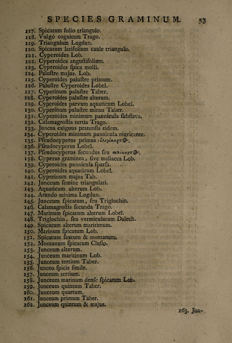 117. 118. 119. 120. 121. 122. 123. 124. 125. 126. 127. 128. 129. 13°. 131. 132. *33- *34- 135* 136. I37* 138. 139. 140. 141. 142. 143- 144. 145- 14$. 147- 148. 149. 150. 151. 352. *5 3- 154. 155* 15& 157- 158. IS9- 160. 161. 162. Spicatum folio triangulo. Vulgo cognitum Trago. Triangulum Lugdun. Spicatum latifolium caule triangulo. Cyperoides Lob. Cyperoides anguftifoliam. Cyperoides fpica molli. Paluftre majus. Lob. Cyperoides paluftre primum. Paluftre Cyperoides Lobel.. Cyperinum paluftre Taber. Cyperoides paluftre alterum. Cyperoides parvum aquaticum LobeL Cyperinum paluftre minus Taber. Cyperoides minimum pannicula fubfiava. Calamagroftis tertia Trago. Juncus exiguus pratenfis eidem. Cyperoides minimum pannicula nigricante. Pfeudocyperus primus Pfeudocyperus Lobel. . Pfeudocyperus fecundus feu 57rAwc«p7r@^ . Cyperus graminea, live maliacea Lob. Cyperoides pannicula fparfa. Cyperoides aquaticum Lobel. Cyperinum majus Tab. Junceum femine triangulari. Aquaticum alterum Lob^ Arundo minima Lugdun. Junceum fpicatum, feu Triglochin. Calamagroftis fecunda Trago. Marinum fpicatum alterum Lobel. Triglochin, feu vermiculatum Dalech, Spicatum alterum maritimum. Marinum fpicatum Lob. Spicatum fextum & montanum* Montanum fpicatum Clu/ip. unceum alterum, unceum maritinum Lob. unceum tertium Taber. Junceo fpicis ftmile. Junceum tertium. Junceum marinum denfe fpicatum Lob*. Junceum quintum Taber. ‘unceum quartum, unceum primum Taber. unceum quintum & majus. ! i. 163. Jim- /