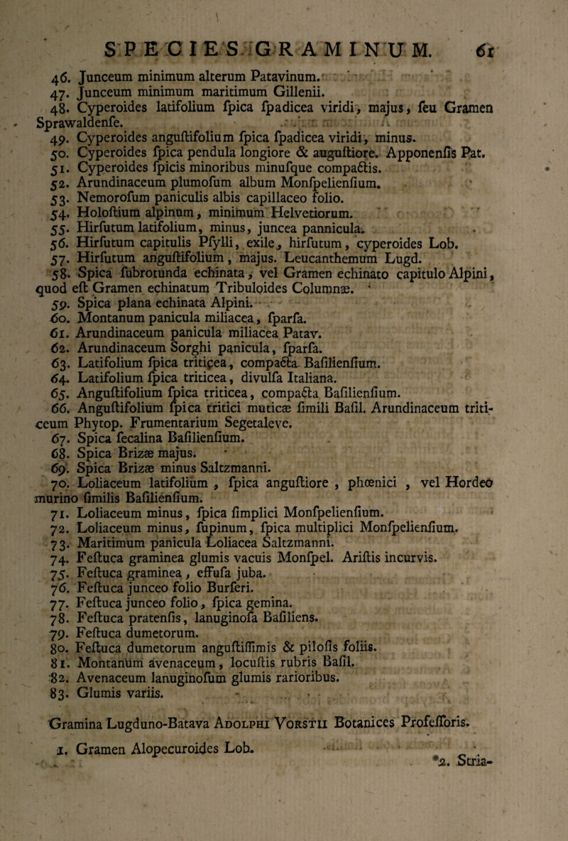 4 46. Junceum minimum alterum Patavinum.- 47. Junceum minimum maritimum Gillenii. 48. Cyperoides latifolium fpica fpadicea viridi, majus, feu Gramen Sprawaldenfe. . > „ .-.Vr. n: 49. Cyperoides anguftifolium fpica fpadicea viridi , minus. 50. Cyperoides fpica pendula longiore & auguftiore. Apponenfis Pat, 51. Cyperoides fpicis minoribus minufque compa&is. 52. Arundinaceum plumofum album Monfpelienfium. 53. Nemorofum paniculis albis capillaceo folio. 54. Holoftium alpinum, minimum Helvetiorum. 55. Hirfutum latifolium, minus, juncea pannicula^ 56. Hirfutum capitulis Plylli, exile, hirfutum, cyperoides Lob. 57. Hirfutum anguftifolium, majus. Leucanthemum Lugd. 58. Spica fubrotunda echinata, vel Gramen echinato capitulo Alpini, quod eft Gramen echinatum Tribuloides Columnae. * 59. Spica plana echinata Alpini. 60. Montanum panicula miliacea, fparfa. 61. Arundinaceum panicula miliacea Patav. 62. Arundinaceum Sorghi panicula, fparfa. 63. Latifolium fpica triticea , compa&a Bafilienfium. 64. Latifolium fpica triticea, divulfa Italiana. 65. Anguftifolium fpica triticea, compa&a Bafilienfium. 66. Anguftifolium fpica tritici muticae fimili Bafil. Arundinaceum triti¬ ceum Phytop. Frumentarium Segetaleve. 67. Spica fecalina Bafilienfium. 68. Spica Brizse majus. 69. Spica Brizae minus Saltzmanni. 70. Loliaceum latifolium , fpica anguftiore , phoenici , vel HordeO murino fimilis Bafilienfium. 71. Loliaceum minus, fpica fimplici Monfpelienfium. 72. Loliaceum minus, fupinum, fpica multiplici Monfpelienfium. 73. Maritimum panicula Loliacea Saltzmanni. 74. Feftuca graminea glumis vacuis Monipel. Ariflis incurvis. 75. Feftuca graminea , effufa juba. 76. Feftuca junceo folio Burferi. 77. Feftuca junceo folio , fpica gemina. 78. Feftuca pratenfis, lanuginofa Bafiliens. 79. Feftuca dumetorum. 80. Feftuca dumetorum anguftifiimis & pilofis foliis. 81. Montanum avenaceum, locuftis rubris Bafil. 82. Avenaceum lanuginofum glumis rarioribus. 83. Glumis variis. - ..•••• 4 i v. 4 Gramina Lugduno-Batava Adolphi Vorstii Botanices ProfelToris. ii. Gramen Alopecuroides Lob. * _ \ -'.1 *. Stria-