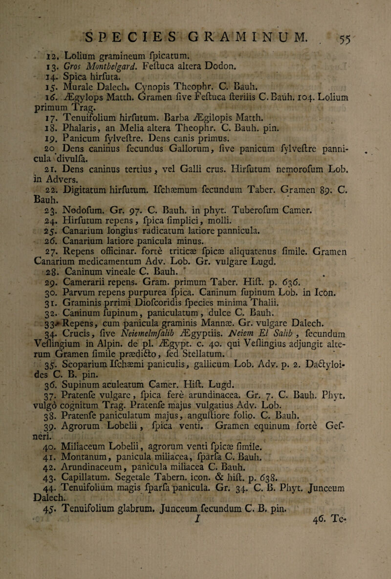 12. Lolium gramineum fpicatum. 13. Cros Montbelgard. Feftuca altera Dodon. 14. Spica hirfuta. 15. Murale Dalech. Cynopis Theophr. C. Bauh. id. iEgylops Matth. Gramen live Feftuca fteriiis C. Bauh. 104. Lolium primum Trag. 17. Tenuifolium hirfutum. Barba ABgilopis Matth. 18. Phalaris, an Melia altera Theophr. C. Bauh. pin. 19. Panicum fylveftre. Dens canis primus. 20. Dens caninus fecundus Gallorum, five panicum fylveftre panni- cula divulfa. 21. Dens caninus tertius , vel Galli crus. Hirfutum nemorofum Lob. in Advers. 22. Digitatum hirfutum. Ifchaemum fecundum Taber. Gramen 89. C. Bauh. 23. Nodofum. Gr. 97. C. Bauh. in phyt. Tuberofum Camer. 24. Hirfutum repens , fpica fimplici, molli. 25. Canarium longius radicatum latiore pannicula. 26. Canarium latiore panicula minus. 27. Repens officinar. forte tritica^ fpicae aliquatenus fimile. Gramen Canarium medicamentum Adv. Lob. Gr. vulgare Lugd. 28. Caninum vineale C. Bauh. 29. Camerarii repens. Gram. primum Taber. Hift. p. 636. 30. Parvum repens purpurea fpica. Caninum fupinum Lob. in Icon. 31. Graminis prrimi Diofcoridis fpecies minima Thalii. 32. Caninum fupinum, paniculatum, dulce C. Bauh. 33. * Repens, cum panicula graminis Mannae. Gr. vulgare Dalech. 34. Crucis, five Neiemelmfalib iEgyptiis. Neiem EI Sahb , fecundum Veflingium in Alpin. de pl. iEgypt. c. 40. qui Veflingius adjungit alte¬ rum Gramen fimile praedi&o, fed Stellatum. 35. Scoparium Ifchsemi paniculis, gallicum Lob. Adv. p. 2. Dactylob des C. B. pin. 36. Supinum aculeatum Camer. Hift. Lugd. 37. Pratenfe vulgare, fpica fere arundinacea. Gr. 7. C. Bauh. Phyt. vulgo cognitum Trag. Pratenfe majus vulgatius Adv. Lob. 38. Pratenfe paniculatum majus, anguftiore folio. C. Bauh. 39. Agrorum Lobelii, fpica venti. Gramen equinum forte Gef- neri. 40. Miliaceum Lobelii, agrorum venti fpicae fimile. 41. Montanum, panicula miliacea, fparfa C. Bauh. 42. Arundinaceum, panicula miliacea C. Bauh. 43. Capillatum. Segetale Tabern. icon. & hift. p. 638. 44. Tenuifolium magis fparfa panicula. Gr. 34. C. B. Phyt. Junceum Dalech. 45. Tenuifolium glabrum. Junceum fecundum C. B. pin. I 4 d. Tc-