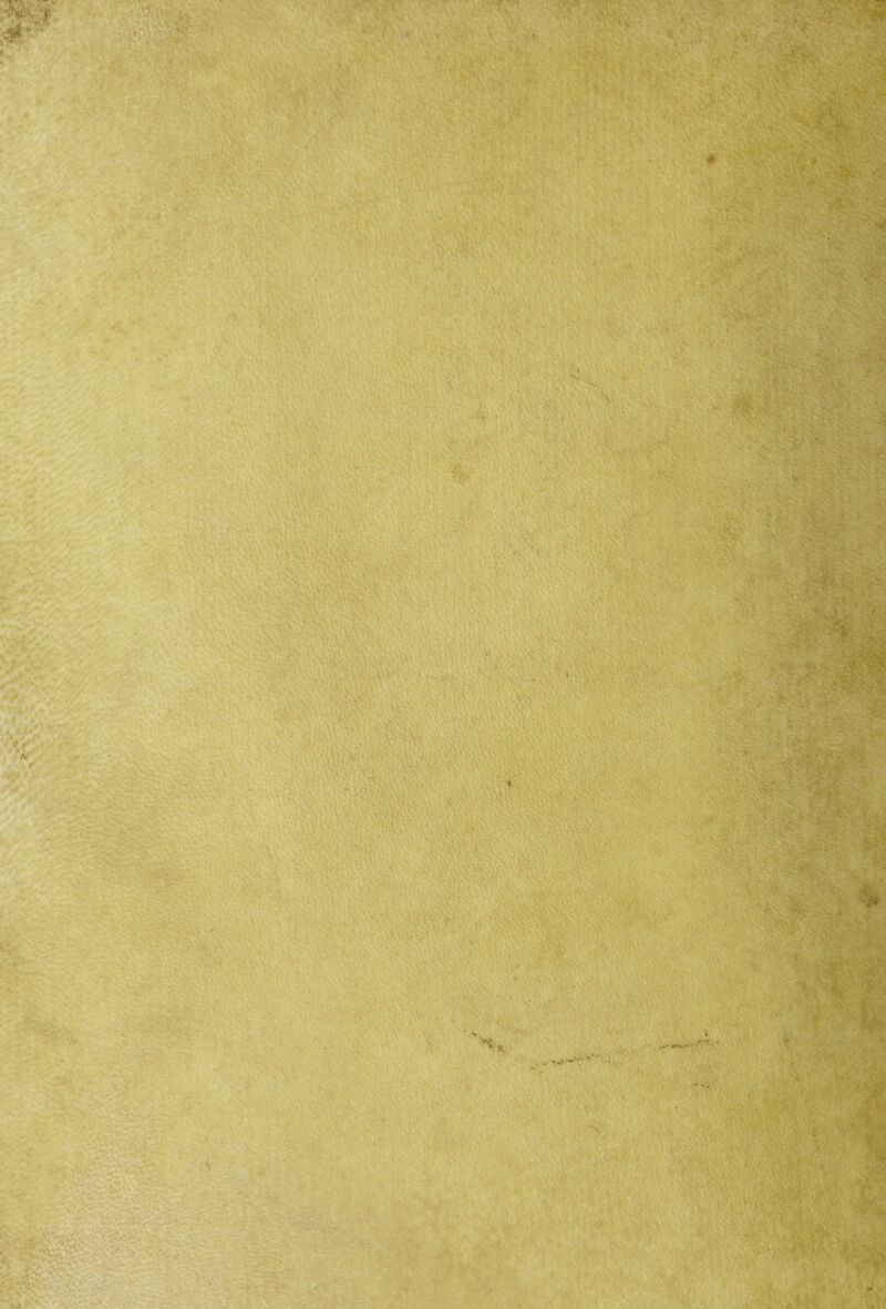 • • . Mr ' . av. V ■ 5, • ' ,iV k vV.vVAv* vt*Vv\? \*V v *. * t vvÀi/Avi • -v. ' . .K HV « <j ' }J» • ì*\M '•■ .tjt -■ ' ' \ \ .* ; ^ *V • V4.V;- •• -ì, • ... y. £y: >■ Vivi'-'>1 I ■ » • • .•**% ' ' . ■ Ky ’ I»*? v.\. ; i»