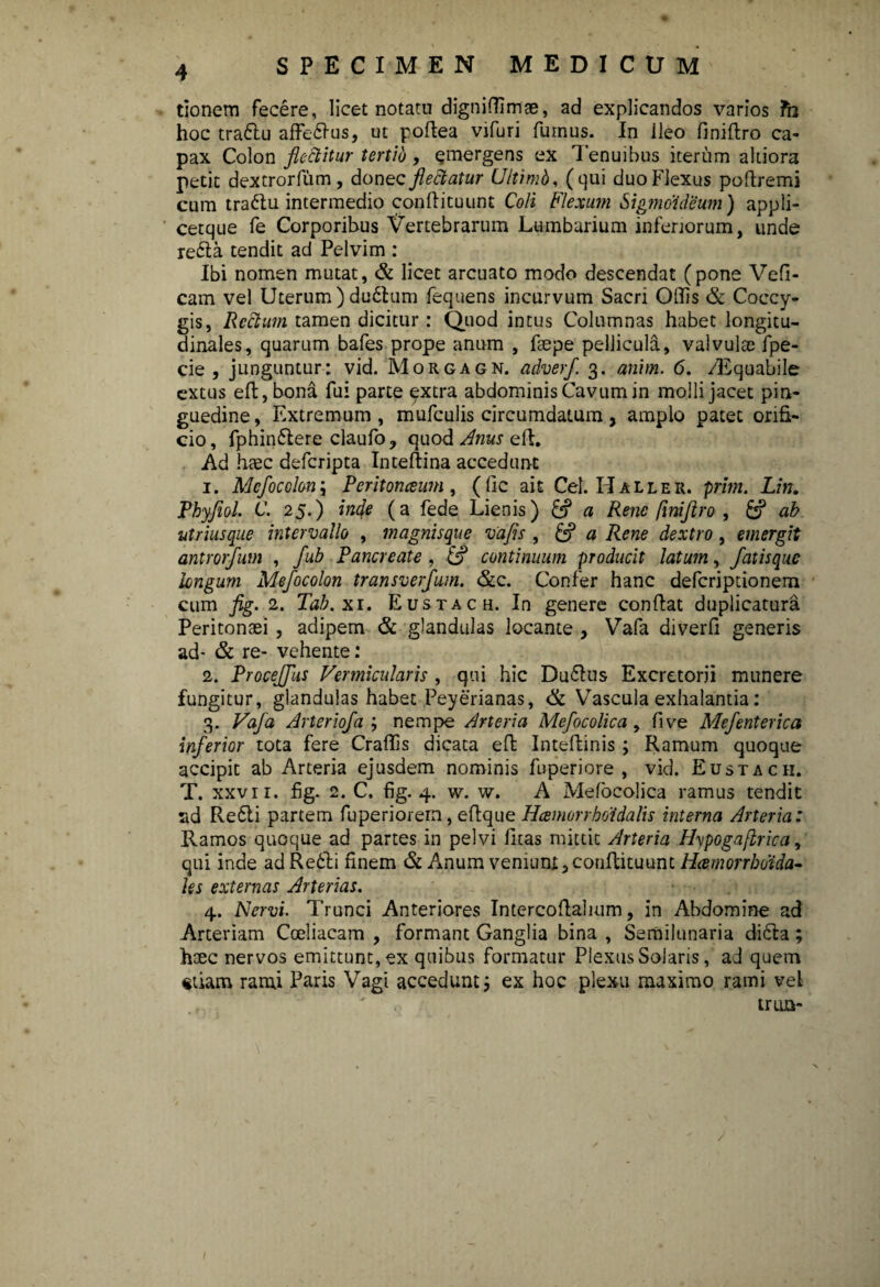 tionem fecere, licet notatu digniffimae, ad explicandos varios ?h hoc traflu affedlus, ut pofiea vifuri furnus. In ileo finiftro ca¬ pax Colon flectitur tertio, qmergens ex Tenuibus iterum ahiora petit dextrorfum, donec flectatur U/timb, (qui duo Flexus poftremi cum tradlu intermedio conftituunt Coli Flexum Sigmoideum) appli- cetque fe Corporibus Vertebrarum Lumbarium inferiorum, unde redla tendit ad Pelvim : Ibi nomen mutat, & licet arcuato modo descendat (pone Vefi- cam vel Uterum)dudlum fequens incurvum Sacri Offis & Coccy¬ gis, Rectum tamen dicitur : Quod intus Columnas habet longitu¬ dinales, quarum bafes prope anum , faepe pellicula, valvulae fpe- cie , junguntur: vid. Morgagn. adverf. 3. anim. 6. /liquabile extus eft,bona fui parte extra abdominis Cavum in molli jacet pin¬ guedine, Extremum, mufculis circumdatum, amplo patet orifi¬ cio, fphindlere claufo, quod Anus eft. Ad haec deferipta Inteftina accedunt 1. Mcfocolon\ Peritonceum, (fic ait Cei. Halleii. prini. Lin. Pbyflol. C. 25.) infle (a fede Lienis) & a Rene finiftro , fc? ab utriusque intervallo , magnisque vafis , & a Rene dextro, emergit antrorfum , fub Pancreate , & continuum producit latum, fatisque longum Mefocolon transverfum. &c. Confer hanc deferiptionem cum fig. 2. Tab.xi. Eustach. In genere confiat duplicatura Peritonaei, adipem & glandulas locante , Vafa diverfi generis ad- & re- vehente: 2. Proceffus Vermicularis , qui hic Dudlus Excretorii munere fungitur, glandulas habet Peyerianas, & Vascula exhalantia: 3. Vafa Arteriofa ; nempe Arteria Mefocolica , five Mefenterica inferior tota fere Craffis dicata efi Inteftinis ; Ramum quoque accipit ab Arteria ejusdem nominis fuperiore , vid. Eustach. T. xxvri. fig. 2. C. fig. 4. w. w. A Mefocolica ramus tendit ad Redii partem fuperiorein, efique HcemorrboidaUs interna Arteria: Ramos quoque ad partes in pelvi litas mittit Arteria Hypogaftrica, qui inde ad Redii finem & Anum veniunt,conftituunt Hamorrbdida- les externas Arterias. 4. Nervi. Trunci Anteriores Intercofiahum, in Abdomine ad Arteriam Coeliacam , formant Ganglia bina , Semilunaria didla; hsec nervos emittunt, ex quibus formatur Plexus Solaris, ad quem etiam rami Paris Vagi accedunt i ex hoc plexu maximo rami vel , * v . trua-
