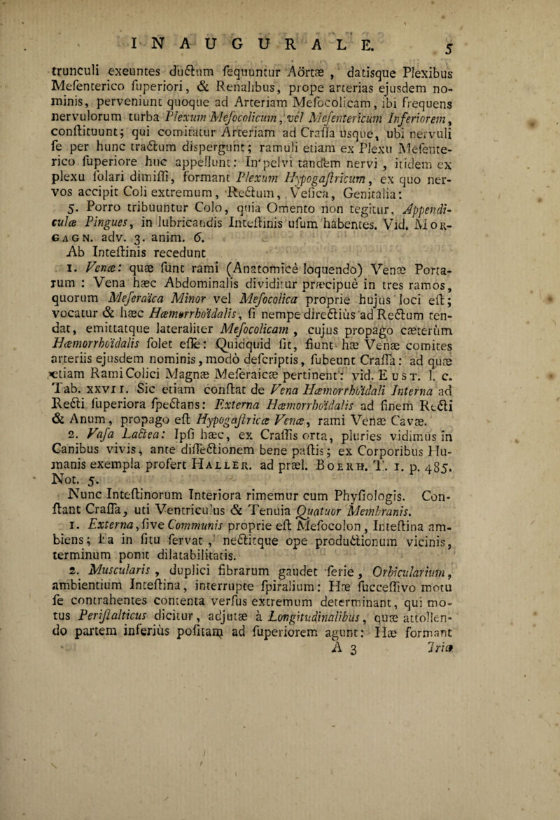 trunculi exeuntes dudlnm fequuntur Aortae , datisque Plexibus Mefenterico fuperiori, & Renalibus, prope arterias ejusdem no¬ minis, perveniunt quoque ad Arteriam Mefocolicam, ibi frequens nervulorum turba Plexum Mefocolicum ,‘vcl Mefentericuin Inferiorem, conftituunt; qui comitatur Arteriam ad Crafia usque» ubi nervuli fe per hunc tradlum dispergunt; ramuli etiam ex Plexli Mefente¬ rico fuperiore huc appellunt: In' pelvi tand‘em nervi, itidem ex plexu lolari dimifti, formant Plexum IJypogaftricum, ex quo ner¬ vos accipit Coli extremum, Redlum,. Vefica, Genitalia: 5. Porro tribuuntur Colo, quia Omento non tegitur, Jppendi- culce Pingues, in lubricandis Inteilinis ufum habentes. Vid, Moit- gagn. adv. 3. anim. 6, Ab Inteilinis recedunt 1. Fenee: quae funt rami (Anatomice loquendo) Venae Porta¬ rum : Vena haec Abdominalis dividitur praecipue in tres ramos, quorum Meferaica Minor vel Mefocoiica proprie hujus loci eft; vocatur & haec Hcemarrhoidalis, fi nempe diredlius ad Redlum ten¬ dat, emittatque lateraliter Mefocolicam , cujus propago caetemm Bcernor rhdidalis folet efle: -Quidquid fit, fiunt hae Venae comites arteriis ejusdem nominis,modo deferiptis, fubeunt Crafia: ad qute retiam Rami Colici Magnae Meferaicae pertinent: vid. Eust. 1. c. Tab. xxvii. Sic etiam confiat de PTena B cernor rhoulali Interna ad Redii fuperiora fpedlans: Externa Bceinorrhoidalis ad finem Redii & Anum, propago efi Hypogaftricce Vence, rami Venae Cavae. 2. Vafa Lattea: Ipfi haec, ex Crafiis orta, pluries vidimus in Canibus vivis, ante difiedlionem bene pafiis; ex Corporibus Hu¬ manis exempla profert Hallek. ad praei. Boekh. T. i. p. 485. Not. 5. Nunc Intefiinorum Interiora rimemur cum Phyfiologis. Con¬ fiant Crafia, uti Ventriculus & Tenuia Quatuor Membranis. 1. Externa, fi ve Communis proprie eft Mefocoion , Inteftina am¬ biens; Ea in fitu fervat , nedlitque ope produdlionum vicinis, terminum ponit dilatabilitatis. 2. Muscularis , duplici fibrarum gaudet fierie, Orbicularium, ambientium Inteftina, interrupte fpiralium: Hae fucceflivo motu fe contrahentes contenta verfus extremum determinant, qui mo¬ tus Periftalticus dicitur, adjutae a Longitudinalibus, qute attollen¬ do partem inferius pofitarq ad fuperiorem agunt: Ilae formant A 3 Iricf 1 /
