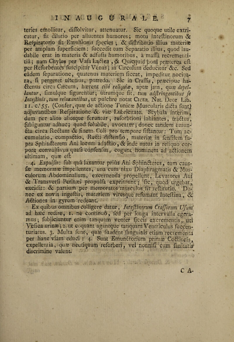 teries emollitur, diflolvitur, attenuatur. Sic quoque utile extri¬ catur, fit dilutio per alluentes humores; motu Inteflinorum & Relpiratorio fit Emultlonis fpecies ; & diftributio illius materia per amplam fuperfieiem: fuccedit tum Separatio illius, quod lau¬ dabile erat in materia & adfufis humoribus, a mafla recrementi- tia; nam Chylus per VafaLaftea , & Quicquid boni praeterea efl per Reforbentes fuscipitur Venas; in Circulum deducitur &c. Sed eadem feparatione, quatenus materiem ficcat, impeditur nocitu¬ ra, fi pergeret ulterius, putredo. Sic in Craffis, praecipue ha- ttenus circa Ccecum, haerent cibi reliquia, aptae jam, quae depel¬ lantur , fimulque figurentur; utrumque fit, tum ad/lringentibus fe Inteftinis, tum relaxantibus, ut pulchre notat Cicer. Nat. beor Lib. 11. c.‘55. (Confer, quae de adlione Tunicae Muscularis difta funtj adjuvantibus Refpiratione & vies Lubricitate. Sbybala interim, dum per alios aliosque feruntur, reforbtioni inhiantes, traftus, fubiguntur adhuc; quod folubile, avocatur; donec tandem eniun- 6ta circa Reftum & finem Coli pro tempore fiftantur: Tum ac¬ cumulatio, compa6lio, Rsfti diftenfio, materiae in fenfilem fu- pra Sphinfterem Ani locum ada6lio,& inde natus in reliquo cor¬ pore convulllvus quali confenfus, cogunt’hominem ad a&ionem ultimam, quae efl 4. Expulfio: fub qua laxantur prius Ani Sphincleres, tum caus- fae memoratae impellentes, una cum nixu Diaphragmatis & Mus¬ culorum Abdominalium, excernenda propellunt, Levatores Ani & T ransverfi Perinaei propulfa exprimunt; Tic, quod- urgebat, excidit: & partium per memoratos musculos fit reffitutio. Do¬ nec ex novis ingeflis , materiem viresque refumant Inteflina, & A&iones in gyrum redeant. -- 1 — Ex quibus omnibus Colligere datur, Inteflinorurn Cr a {forum Ufuni ad haec redire, 1. ne continub, fed per longa intervalla egera¬ mus; fubji-ciuntur enim tanquam venter ficcis excrementis,. uti Vefica urinae; 2. ut coquant agantque tanquam Ventriculus fueeen- turiatus. 3. Multa funt, quae filadent fariguinis etiam recrementa per hanc viam educi : 4. Sunt EmunCtorium primae Co&ionis, expellentia, quae neutiquam reforberi, vel nonnifTcum fanitatir discrimine valent.