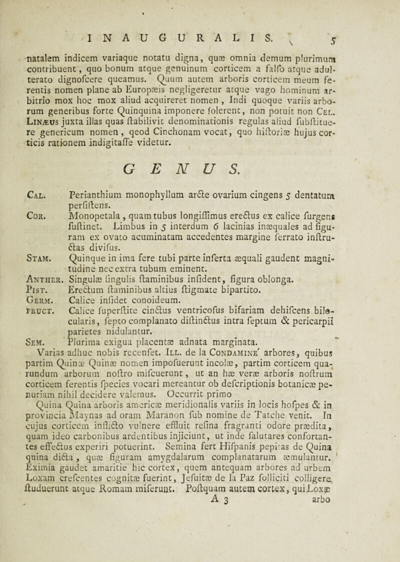 t INAUGURALIS, x 5 natalem indicem variaque notatu digna, quae omnia demum plurimum contribuent, quo bonum atque genuinum corticem a falfo atque adul¬ terato dignofcere queamus. Quum autem arboris corticem meum fe¬ rentis nomen plane ab Europaeis negligeretur atque vago hominum ar¬ bitrio mox hoc mox aliud acquireret nomen , Indi quoque variis arbo¬ rum generibus forte Quinquina imponere folerenc, non potuit non Cel. Lindus juxta illas quas dabilivit denominationis regulas aliud fubftitue¬ re genericum nomen, qeod Cinchonam vocat, quo hidoriae hujus cor¬ ticis rationem indigitade videtur. GENUS. Cal. Perianthium monophyllum ar<5le ovarium cingens 5 dentatum perfidens. Cor. Monopetala , quam tubus longifiimus ere&us ex calice furg.ens fufiinet. Limbus in 5 interdum 6 lacinias inaequales ad figu¬ ram ex ovato acuminatam accedentes margine ferrato indru- 61as divifus. Stam. Quinque in ima fere tubi parte inferta aequali gaudent magni¬ tudine nec extra tubum eminent. Anther. Singulae lingulis daminibus infident, figura oblonga. Pist. Ereblum daminibus altius digmate bipartito. Germ. Calice infidet conoideum. fruct. Calice fuperdite cin6lus ventricofus bifariam dehifcens bile- cularis, fepto complanato didin£tus intra feptum & pericarpii parietes nidulantur. Sem. Plurima exigua placentae adnata marginata. Varias adhuc nobis recenfet. III. de la Condamine' arbores, quibus partim Quinae Quinae nomen impofuerunt incolae, partim corticem qua- rundurn arborum nodro mifcuerunt, ut an hae verae arboris nodrum corticem ferentis fpecies vocari mereantur ob defcriptionis botanicae pe¬ nuriam nihil decidere valemus. Occurrit primo Quina Quina arboris americae meridionalis variis in locis hofpes & in provincia Maynas ad oram Maranon fub nomine de Tatche venit. In cujus corticem ind;61o vulnere effluit refina fragranti odore praedita, quam ideo carbonibus ardentibus injiciunt, ut inde falutares confortan¬ tes efFe6lus experiri potuerint. Semina fert Hifpanis pephas de Quina quina didla , quae figuram amygdalarum complanatarum aemulantur. Eximia gaudet amaritie hic cortex, quem antequam arbores ad urbem Loxam crefcentes cognitae fuerint, Jefuitae de la Paz folliciti colligere duduerunt atque Romam miferimt. Podquam autem cortex, quiLoxae