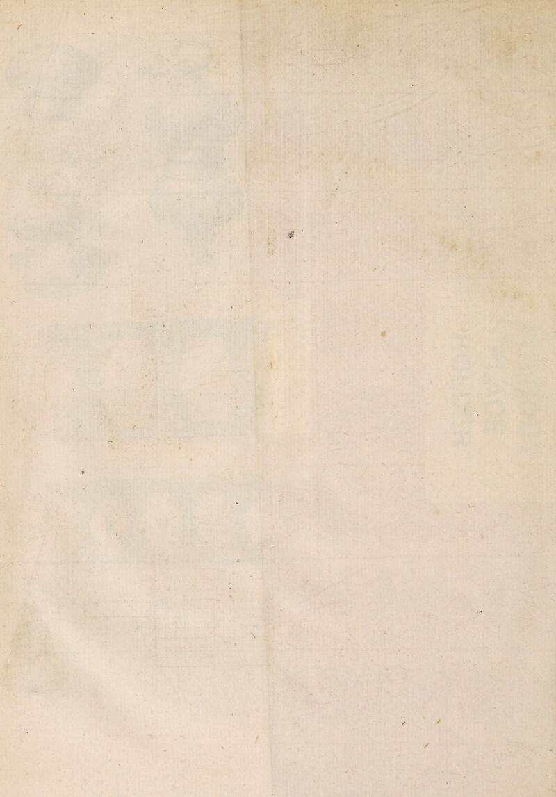 / 'V Nj*v. \ • ' i •. * /