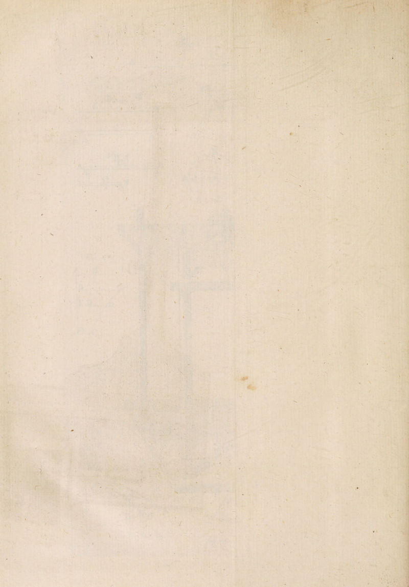 ■ \ : r . \ .. \ i X /  x-