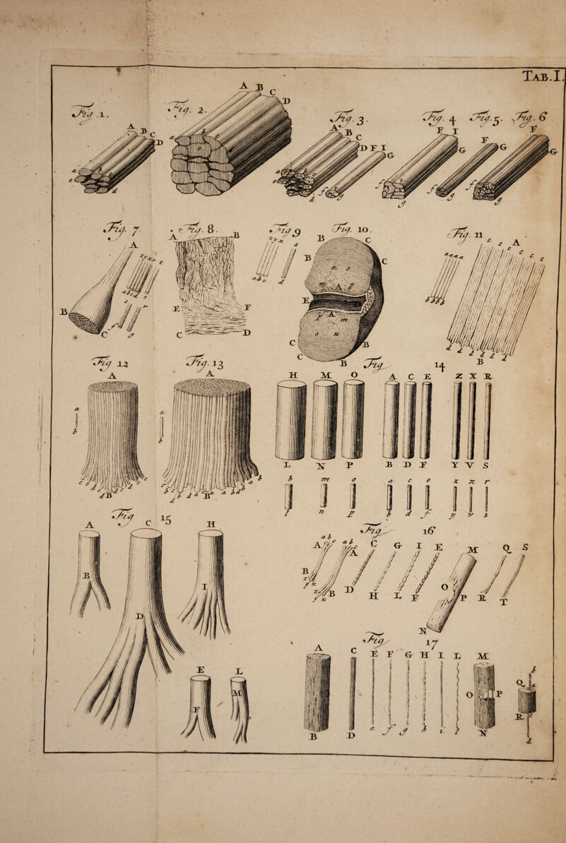 •t;- U V £ . i. /