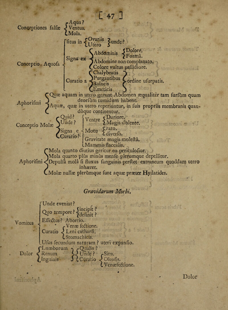 /•Aqua ? Conceptiones falfae ^ Ventus. i Mola. [ 47 ] Conceptio Aquofa Tltus in {utero5 }unde? Signa ex Abdominis Abdomine non complanato. Colore vultus pallidiore. CChalybeatis S Curatio a ^>ordine ufurpatis. ^Emeticis j Quae aquam in utero gerunt Abdomen aequaliter tam furlum quam deorfum tumidum habent. . ' Aquae, quse in utero reperiuntur, in fuis propriis membranis quan¬ doque continentur. Qyid? Ventre 5Duriore- jUnde? * i Magis dolente. ••• - ; r - ; ISigna e <i Motu ■> ?r°V • P J <- divciio» ra 1 ' | Gravitate magis molefta. L Manam is flaccidis. ‘Mola quanto diutius geritur eo periculoflor. jMola quarto plus minus menfe plerumque depellitur. Aphorifmi <^Depulfa mola fl fluxus (anguinis perflet extraneum quoddam utero inhaeret. , Molae nullae plerumque funt aquae praeter Hydatides. Aphorifmi Conceptio Molae Gravidarum Morbi, Vomitus rUnde eveniat? Quo tempore Efledlus? Abortio. Venae fe&ione. Curatio Leni catharfi. {.Stomachicis: lUfus fecundum naturam ? uteri expanfio. rLumborum q /.Qualis ? Dolor c Renum O Unde ? /.Situ. ^Inguinis-- J {, Curatio ) Oleo fis. {.yensfedtione. Dolor