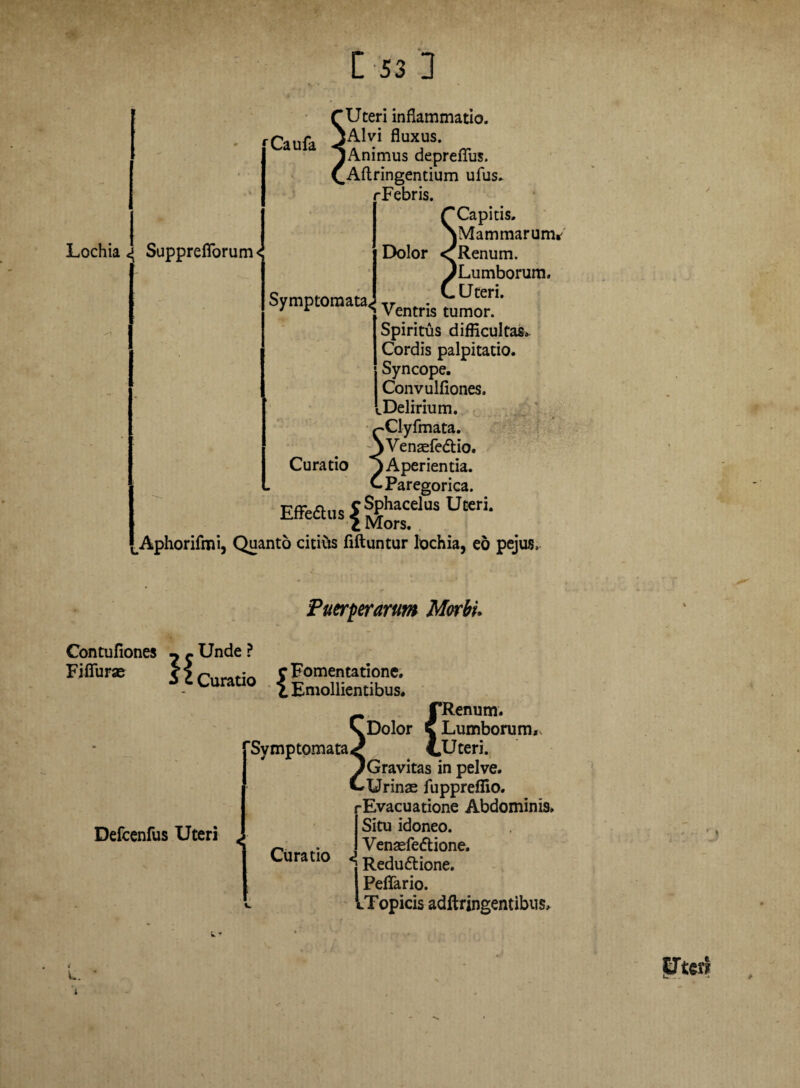 rCaufa Lochia <5 Suppreflorum< Uteri inflammatio. Alvi fluxus. Animus depreflus. Aftringentium ufus. rFebris. C Capitis. NMammarunv Dolor <r Renum. ^Lumborum, Symptomata^ ^ter** 1 r \ Ventris tumor. Spiritus difficultas-. Cordis palpitatio. Syncope. Convulfiones. .Delirium. Clyfmata. Venasfe&io. Curatio Aperientia. Paregorica. EffeaUSf^“sUteri‘ ^Aphorifmi, Quanto citius fiftuntur lochia, eo pejus, Puerperarum Morbi. Contufiones 7 c Unde ? Fifiuras Curatio J Fomentatione. \ Emollientibus. f*Renum. Dolor C Lumborum. ‘Symptomata^ CUteri. Gravitas in pelve. Urinas lupprefiio. rEvacuatione Abdominis. I Situ idoneo. ^ . i Vensefeftione. Curatio <> Reduftione. I Peffario. VTopicis adftringentibus. Defcenfus Uteri i UterJ