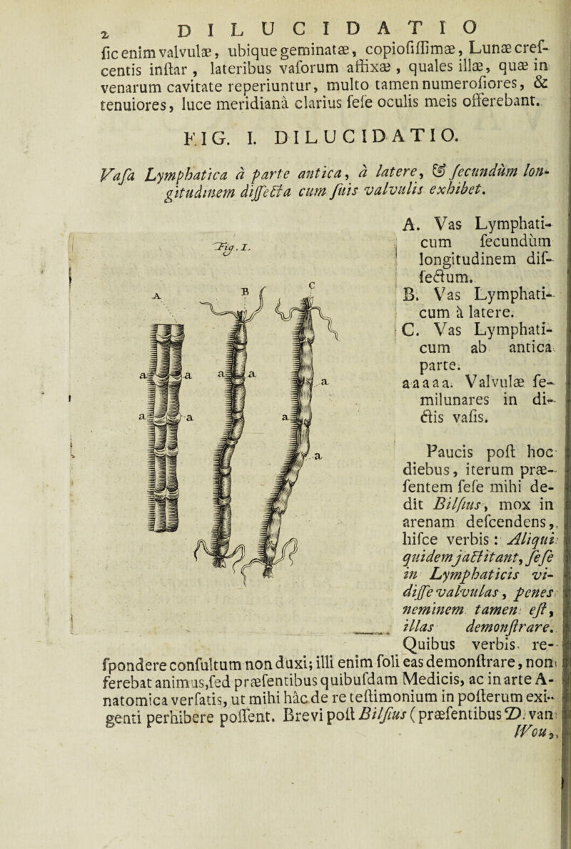 fic enim valvulae, ubique geminatae, copiofiffimae. Lunaecref- centis inftar , lateribus vaforum affixae , quales illae, quae in venarum cavitate reperiuntur, multo tamen numerofiores, & tenuiores j luce meridiana clarius fele oculis meis offerebant. KIG. I. DILUCIDATIO. Vafa Lymphatica a farte antica, a latere, & fecundum lon¬ gitudinem dijftPta cum fis valvulis exhibet. A. Vas Lymphati-- j cum fecundum 1 longitudinem dif- fedum. B. Vas Lymphati-- i cum it latere. C. Vas Lymphati¬ cum ab antica parte; aaaaa. Valvulae fe- milunares in di¬ dis valis. Paucis poli hoc diebus, iterum prae- fentem fefe mihi de¬ dit Bilfius, mox in arenam defcendens,, liifce verbis: Aliqui' quidemjaff itant, fefe in Lymphaticis vi- dijfe valvulas, penes neminem tamen eft, ___ illas demonftrare. Quibus verbis- re- fpondere confultum non duxi; illi enim foli eas demonftrare, noni ferebat anirnus,fed prtefentibus quibuldam Medicis, ac in arte A- natomica verfatis, ut mihi hac de re teftimonium in pofterum exi¬ genti perhibere poffent. Brevi poft Bilf.us (praebentibus 2). van I IVou