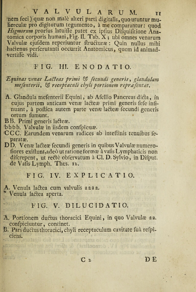 VALVULARUM. ir nem feci) quae non male alteri parti digitalis, quo utuntur mu¬ lierculae pro digitorum tegumento, it me comparantur: quod Higmortim prorius latuiile patet ex iplius Diiquifitione Ana¬ tomica corporis humani,Fig. II. Tab. X ; ubi omnes venarum Valvulae ejufdem reperiuntur ftrudurae: Quin nullus mihi hadenus perfcrutanti occurrit Anatomicus, quem id animad- vertifle vidi. F I G. III. ENODATIO. t Equinas venas Laffeas primi & fecundi generis, glandulam mefenterii, & receptaculi chyli portionem reprffentat. A. Glandula mefenterii Equini, ab Afellio Pancreas dida, in cujus partem anticam venae ladeae primi generis fefe infi- nuant, i poitica autem parte venae ladeae fecundi generis ortum fumunt. BB. Primi generis ladeae. bbbb. Valvula; in iisdem confpicuae. CCC. Earundem venarum radices ab inteflinis tenuibus fe- paratae. DD. Venae ladeae fecundi generis in quibus Valvulae numero- fiores exHtunt,adeo ut ratione formae a vaiis Lymphaticis non difcrepent, ut rede obfervatum a Cl. D. Sylvio , in Dilput. de Vafis Lymph. Thes. ix. FIG. IV. EXPLICATIO. A. Venula ladea cum valvulis aaaa. * Venula ladea aperta. * . . FIG. V. D I L U C I D A T I O. A. Portionem dudus thoracici Equini, in quo Valvulae a a. confpiciuntur, continet. B. Pars dudus thoracici, chyli receptaculum cavitate fu a refpi- ciens.