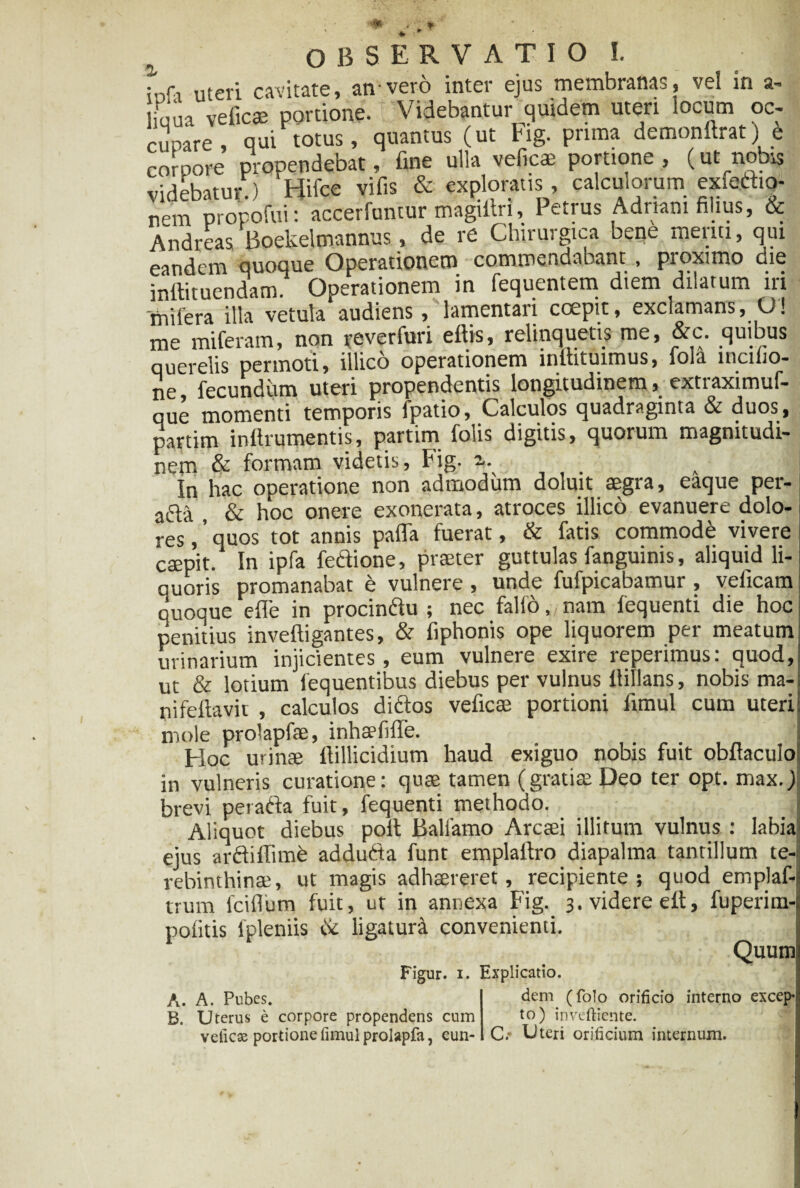 :nr, uteri cavitate, an-vero inter ejus membranas, vel in a- iaua veficae portione. Videbantur quidem uteri locum oc¬ cupare , qui totus, quantus (ut Fig. prima demonilrat) e corpore propendebat, fine ulla veficae portione, (ut nobis vidphatur.) Hilce vifis & exploratis, calculorum exiettio- nem propofui: accerfuntur magifiri, Petrus Adriani filius, & Andreas Boekelmannus, de re Chirurgica bene menti, qui eandem quoque Operationem commendabant , proximo die infiituendam. Operationem in fequentem diem dilatum iri mifera illa vetula audiens, lamentari ccepit, exclamans, O! me miferam, non peverfuri eftis, relinquetis me, &c. quibus querelis permoti, illico operationem infiituimus, fola lncilio- ne, fecundum uteri propendentis longitudinem, extraximuf- que momenti temporis fpatio, Calculos quadraginta & duos, partim inilrumentis, partim foiis digitis, quoium magnitudi¬ nem & formam videtis, Fig- 2,. In hac operatione non admodum doluit aegra, eaque per- adia & hoc onere exonerata, atroces illico evanuere dolo¬ res , ’ quos tot annis paffa fuerat, & fatis commode vivere caepit. In ipfa feftione, praeter guttulas fanguims, aliquid li¬ quoris promanabat e vulnere , unde fufpicabamur , veticam quoque efle in procindlu ; nec fallo „ nam fequenti die hoc penitius inveftigantes, & fiphonis ope liquorem per meatum urinarium injicientes, eum vulnere exire reperimus: quod, ut & lotium fequentibus diebus per vulnus ltillans, nobis ma¬ ni fellavit , calculos didlos veficae portioni limul cum uteri mole prolapfae, inhaefilTe. Hoc urinae fiillicidium haud exiguo nobis fuit obftaculo in vulneris curatione: quae tamen (gratiae Deo ter opt. max.) brevi peradla fuit, fequenti methodo. Aliquot diebus poli Balfamo Arcaei illitum vulnus : labia ejus ardliffimfe addudia funt emplafiro diapalma tantillum te¬ rebinthinae, ut magis adhaereret, recipiente; quod emplaf- trum fcillum fuit, ut in annexa Fig. 3. videre elt, fuperim- politis fpleniis & ligatura convenienti. Quum A. A. Pubes. B. Uterus e corpore propendens cum veficae portione fimui prolapfa, eun- Figur. 1. Explicatio. dem (folo orificio interno excep* to) inveftiente. O Uteri orificium internum.