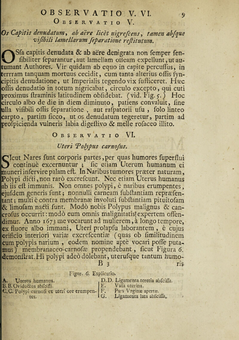9 Observatio V. Os Capitis denudatum, ab aere licet nigrefcens, tamen abjque vijibili lamellarum feparatione rejiitutum. OSfa capitis denudata & ab aere denigrata non femper fen- fibiliter feparantur,aut lamellam olieam expellunt, ut au¬ tumant Authores. Vir quidam ab equo in capite percuffiis, in terrram tanquam mortuus cecidit, cum tanta alterius ollis fyn- cipitis denudatione, ut Imperialis tegendo vix fufficeret. Hsec olfis denudatio in totum nigricabat, circulo excepto, qui cuti proximus Itraminis latitudinem oblidebat, (vid. Fig. y.) Hoc circulo albo de die in diem diminuto, patiens convaluit, fine ulla vifibili olfis feparatione , aut rafpatorii ulu , lolo linteo carpto, partim licco, ut os denudatum tegeretur, partim ad prolpicienda vulneris labia digeftivo & meile rofaceo illito. Observatio VI. Uteri ‘Polypus carnojus. Cgcut Nares funt corporis partes,per quas humores fuperflui ^ continue excernuntur ; fic etiam Uterum humanum ei muneri infervire palam eft. In Naribus tumores praeter naturam, Polypi difti,non raro excrefcunt. Nec etiam Uterus humanus ab iis elt immunis. Non omnes polypi, e naribus erumpentes, ejufdem generis funt; nonnulli carneam fubttantiam repraefen- tant; multi e contra membranae involuti fubffantiam pituitofam & limofam nafti funt. Modo nobis Polypus malignus & can- crofus occurrit: modo eum omnis malignitatis! expertem offen¬ dimus. Anno 1673 me vocarunt ad mulierem, it longo tempore, ex fluore albo immani, Uteri prolapfu laborantem, e cujus orificio interiori variae excrefcentiae (quas ob fimilitudinem cum polypis narium , eodem nomine apte vocari poffe puta¬ mus ) membranaceo-cavnofe propendebant, ficut Figura 6, demonftrat.Hi polypi adeddolebant,uterufque tantum humo- ir 1 :*■ ;V - B 3 ris Figur. 6. Explicatio* A. Uterus humanus. B. B. Ovidu&us abfeiffi. €.C. Polypi carnofi ex uteri ore erumpen¬ tes. D. D. Ligamenta teretia abfeiffa. E. Vafa uterina. F. Pars Vaginae apertae. G. Ligamenta lata ablcifla*