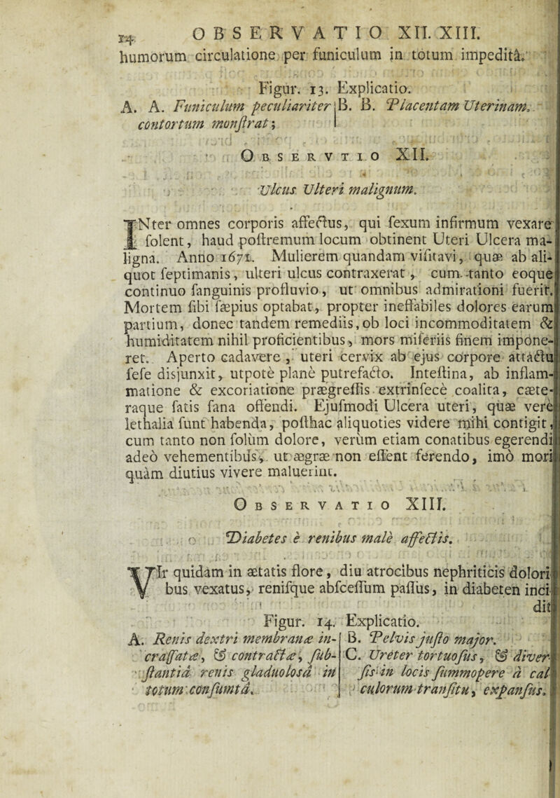 humorum circulatione per funiculum in totum impedita, Figur. 13. Explicatio. A. A. Funiculum peculiariter contortum monjlrat; B. B. P lacent arn Uterinam0 O B S E R V T I O XII » •; ? •) ' ab. * t ‘ 3 ,j' 1 *4 i *iV • Ulcus Ulteri malignum. JfNter omnes corporis affedus, qui fexum infirmum vexare folent, haud poftremum locum obtinent Uteri Ulcera ma¬ ligna. Anno 1671. Mulierem quandam viiitavi, quaa ab ali¬ quot feptimanis, ulteri ulcus contraxerat, cum.-tanto eoque continuo fanguinis profluvio, ut omnibus admirationi fuerit.' Mortem fibi faepius optabat, propter ineffabiles dolores earum! partium, donec tandem remediis,ob loci incommoditatem & humiditatem nihil proficientibus, mors miferiis finem impone¬ ret. Aperto cadavere , uteri cervix ab ejus corpore attadui lefe disjunxit, utpote plane putrefacito. Inteftina, ab inflam¬ matione & excoriatione praegreflis. extrinfece coalita, caete-j raque fatis fana offendi. Ejufmodi Ulcera uteri, quae verei lethalia funt habenda, pofthac aliquoties videre rrfihi contigit,j cum tanto non folitm dolore, verum etiam conatibus egerendi adeo vehementibus,, ut aegrae non effent ferendo, imo mori quam diutius vivere .maluerint. « * ’ A '■ V... .* ■. . -J » » \ «•“ t * * .K '-J • \ -\ «« »« i. v*. + \ \ k .k, i. Observatio XIII. -.- ; > 1 Diabetes e renibus male affetfis. (| !ii. ii.: ;i:: : - ■ - ■ ■ > - •-!> Tr quidam in aetatis flore, diu atrocibus nephriticis dolori bus vexatus, renifque abfceffum palliis, in diabeten inci diti Figur. 14. Explicatio. / » • r*v rr^ / * • ✓ A. Renis dextri membrana in- craffatts, £f> contraftse, fub- Jiant id renis gladuolosd in totum confumtd. B. Pelvis jujlo major. C. Ureter tortuofus ? & diver Jis1 in locis Jiimmopere d cal culorum tranfitu, exjanfus