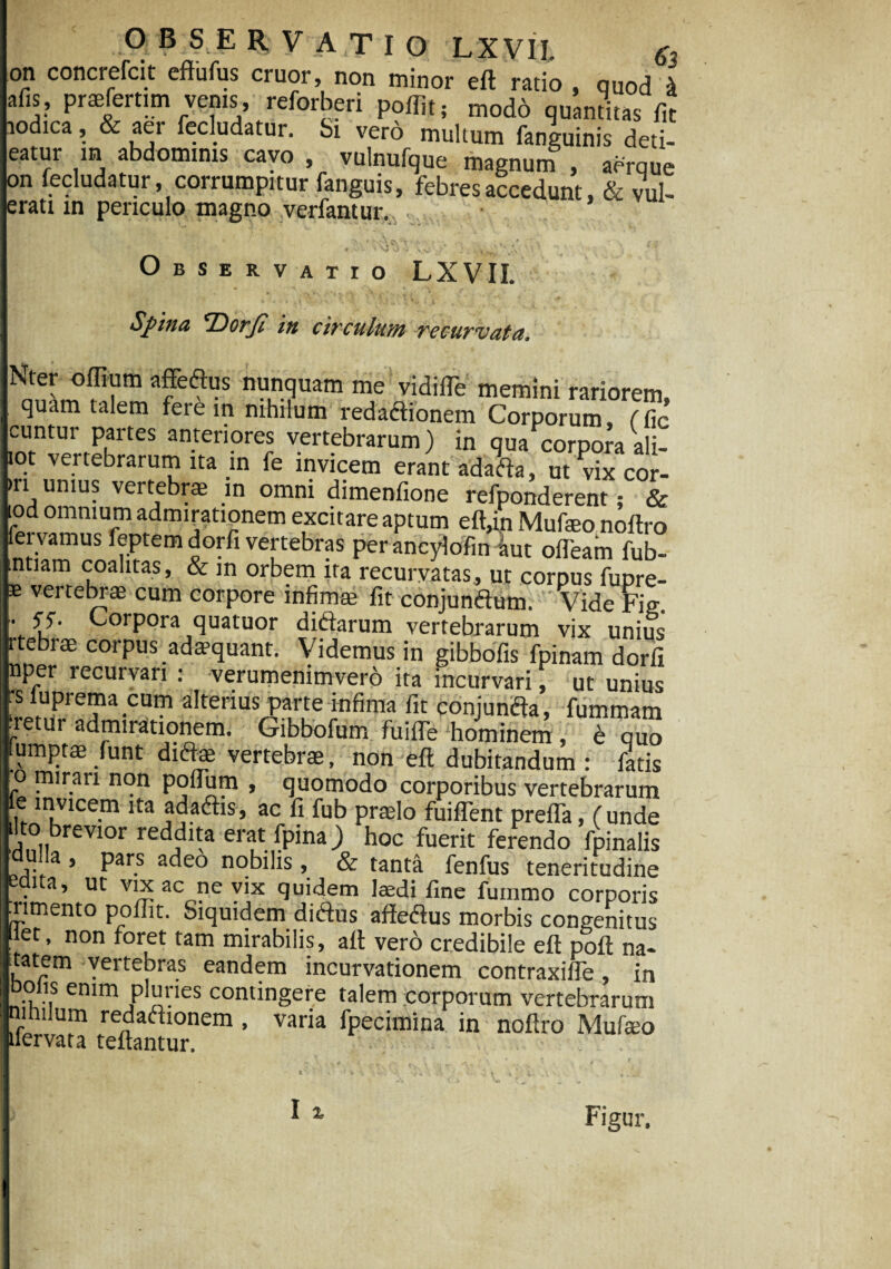 on concrefcit eftufus eruor, non minor eft rado , quod A afis, praefertim venis, reforberi poffit; modo quantitas fit lodica, & aer fecludatur. Si vero multum fanjuinis deti- eatur in abdominis cavo , vulnufque magnunf , aerque on fecludatur, corrumpitur fanguis, febres accedunt, & vul- °rati in periculo magno verfantur.. .... •» 4 ► .A pv ’• V «-, # /e p • . •, f i # f e. ± '» «' * * \l sJ > >;C ^* - . * Observatio LXVII. Spina 'Dorfi in circulum recurvata. Nter oflium affeftus nunquam me vidilTe memini rariorem, quam talem fere in nihilum redadionem Corporum, f fic cuntur partes anteriores vertebrarum) in qua corpora ali¬ to; vertebrarum ita in fe invicem erant ada^ ut Ex cor¬ ni unius vertebrae in omni dimenfione refponderent; & tod omnium admirationem excitare aptum eft,in Mufeo noftro fei vamus feptem dorfi vertebras per ancylofin aut ofteam fub- utiam coalitas, & in orbem ita recurvatas, ut corpus fupre- s vertebrae cum corpore infimae fit conjun&um. 'Vide Fis. \V>- Corpora quatuor diftarum vertebrarum vix unius rtebrae corpus adaquant. Videmus in gibbofis fpinam dorfi nper recurvari : verumenimvero ita incurvari, ut unius rsluprema cum alterius parte infima fit conjunifta, fummam tretur admirationem. Gibbofum fuifle hominem , 6 quo umptae funt di6fe vertebrae, non eft dubitandum : fatis o mirari non poftum , quomodo corporibus vertebrarum ft invice.m ita adaftis, ac fi fub praelo fuilTent prefla, (unde ito brevior reddita erat fpina ) hoc fuerit ferendo fpinalis du Ia , pars adeo nobilis , & tanta fenfus teneritudine edita, ut vix ac ne vix quidem laedi fine fuinmo corporis umento poffit. Siquidem diftus affeftus morbis congenitus iet, non foret tam mirabilis, aft vero credibile eft poft na- L —* 1 * • incurvationem contraxifte, in olis enim pluries contingere talem corporum vertebrarum nihilum redaciionem , varia fpecimina in noftro Mufeo uervata teftantur. I