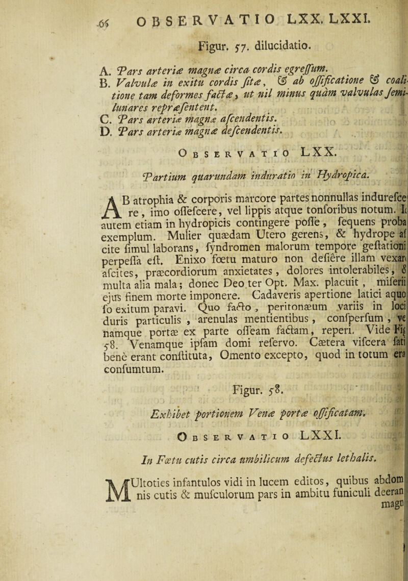 Figur. 57. dilucidatio. A. Pars arteria magna circa cordis egrejfum. B. Valvula in exitu cordis fit a, & ab ojfificatione & coali tione tam deformes fafctay ut nil minus quam valvulas Jetni- lunares reprafentent. C. Pars arteria magnae afcendentis. D. Pars arteria magna defcendentis. Observatio LXX. i % 1. il • ■ - i - • - ' ‘Partium quarundam induratio in Hydropica. ; »* V { , 9t' 'M '* r ♦ * i. -a X * ^ * * * i AB atrophia & corporis marcore partes nonnullas indurefce1 re , imo olfefcere, vel lippis atque tonforibus notum. I< autem etiam in hydropicis contingere polle , fequens proba exemplum. Mulier quaedam Utero gerens, & hydrope al cite fimul laborans, fyndromen malorum tempore geftationi perpeffa elt. Enixo foetu maturo non defiere illam vexan afcites, praecordiorum anxietates, dolores intolerabiles, $ multa alia mala; donec Deo.ter Opt. Max. placuit, miferii ejus finem morte imponere. Cadaveris apertione latici aquo fo exitum paravi. Quo farto, peritonaeum variis in loci duris particulis , arenulas mentientibus, confperfum , ve namque portae ex parte ofleam fartam, reperi. Vide Fif y8. Venamque ipfam domi refervo. Caetera vifcera fati bene erant conllituta, Omento excepto, quod in totum era confumtum. Figur. yB. ‘ * I Exhibet portionem Vena porta ojjificatam. ' | O bservatio LXXI. ■*. ‘ ii In Fatu cutis circa umbilicum defectus lethalis. * MUltoties infantulos vidi in lucem editos, quibus abdom nis cutis & mufculorum pars in ambitu funiculi deeran magn (