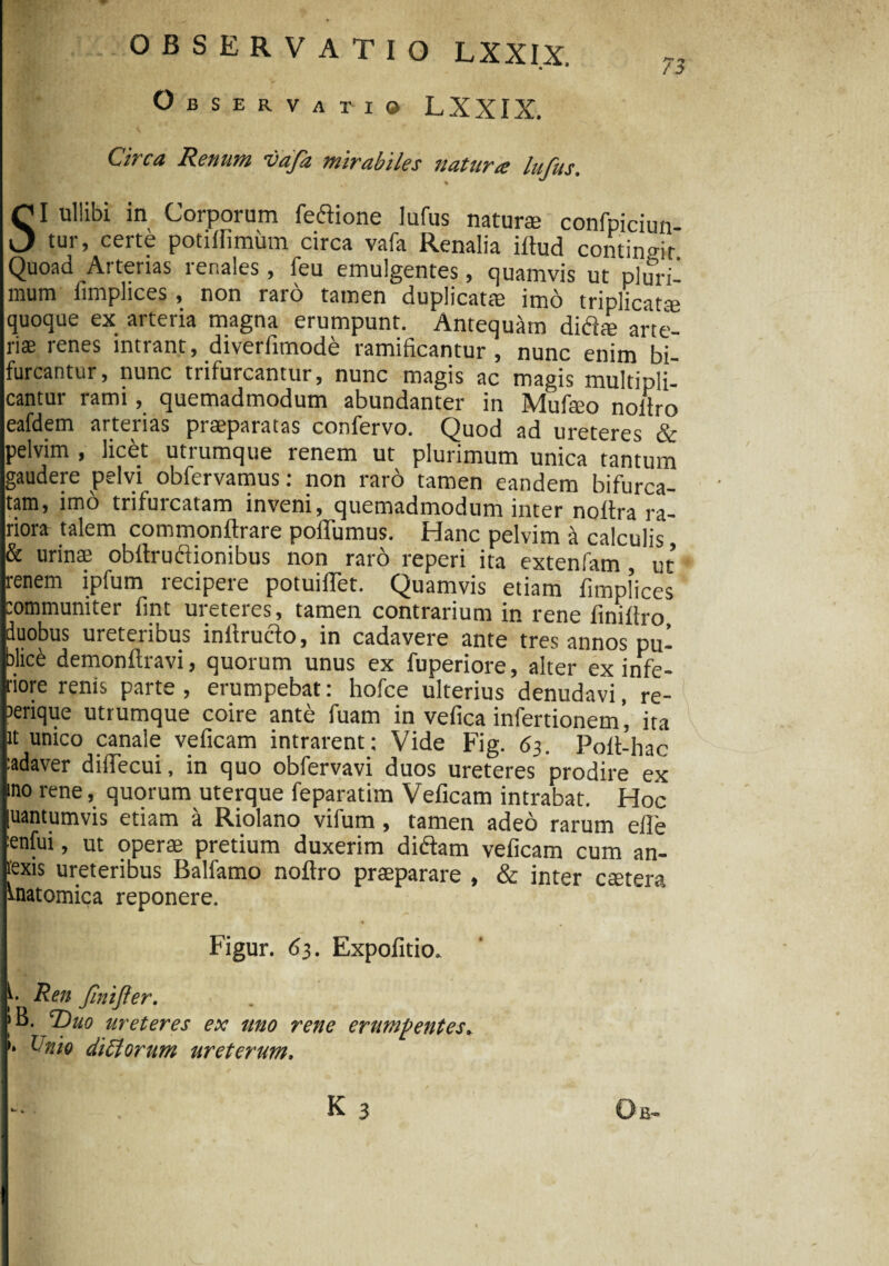 OBSERVATIO LXXIX, Observatio LXXIX. Circa Renum vafa mirabiles natura lufus, SI ullibi in Corporum feftione lufus natur® confpiciun tur, certe potilfimum circa vafa Renalia illud contingit Quoad Arterias renales, feu emulgentes, quamvis ut pluri¬ mum fimplices, non raro tamen duplicat® imo triplicat® quoque ex arteria magna erumpunt. Antequam didi® ane¬ ri® renes intrant, diverfimode ramificantur , nunc enim bi- furcantur, nunc trifurcantur, nunc magis ac magis multipli¬ cantur rami, quemadmodum abundanter in Muf®o nollro eafdem arterias pr®paratas confervo. Quod ad ureteres & pelvim , licet utrumque renem ut plurimum unica tantum gaudere pelvi obfervamus: non raro tamen eandem bifurca¬ tam, imo trifurcatam inveni, quemadmodum inter noltra ra¬ riora talem commonftrare poffumus. Hanc pelvim a calculis & urin® obltruftionibus non raro reperi ita extenfam , ut renem ipfum recipere potuiffet. Quamvis etiam fimplices communiter fint ureteres, tamen contrarium in rene finillro, duobus ureteribus inllructo, in cadavere ante tres annos pu¬ blice demonftravi, quorum unus ex fuperiore, alter ex infe¬ riore renis parte, erumpebat: hofce ulterius denudavi, re- aerique utrumque coire ante fuam in vefica infertionem’ ira it unico canale veficam intrarent: Vide Fig. 63. Polt-hac :adaver diflecui, in quo obfervavi duos ureteres prodire ex mo rene, quorum uterque feparatim Veficam intrabat. Hoc luantumvis etiam a Riolano vifum, tamen adeo rarum efle •enfui, ut oper® pretium duxerim diftam veficam cum an- texis ureteribus Balfamo nollro pr®parare , & inter c®tera Anatomica reponere. 17 [ . /•* Figur. 63. Expofitio, L Ren finijter. >B. TDuo ureteres ex uno rene erumpentes* K Unio difforum ureterum. *• * K 3